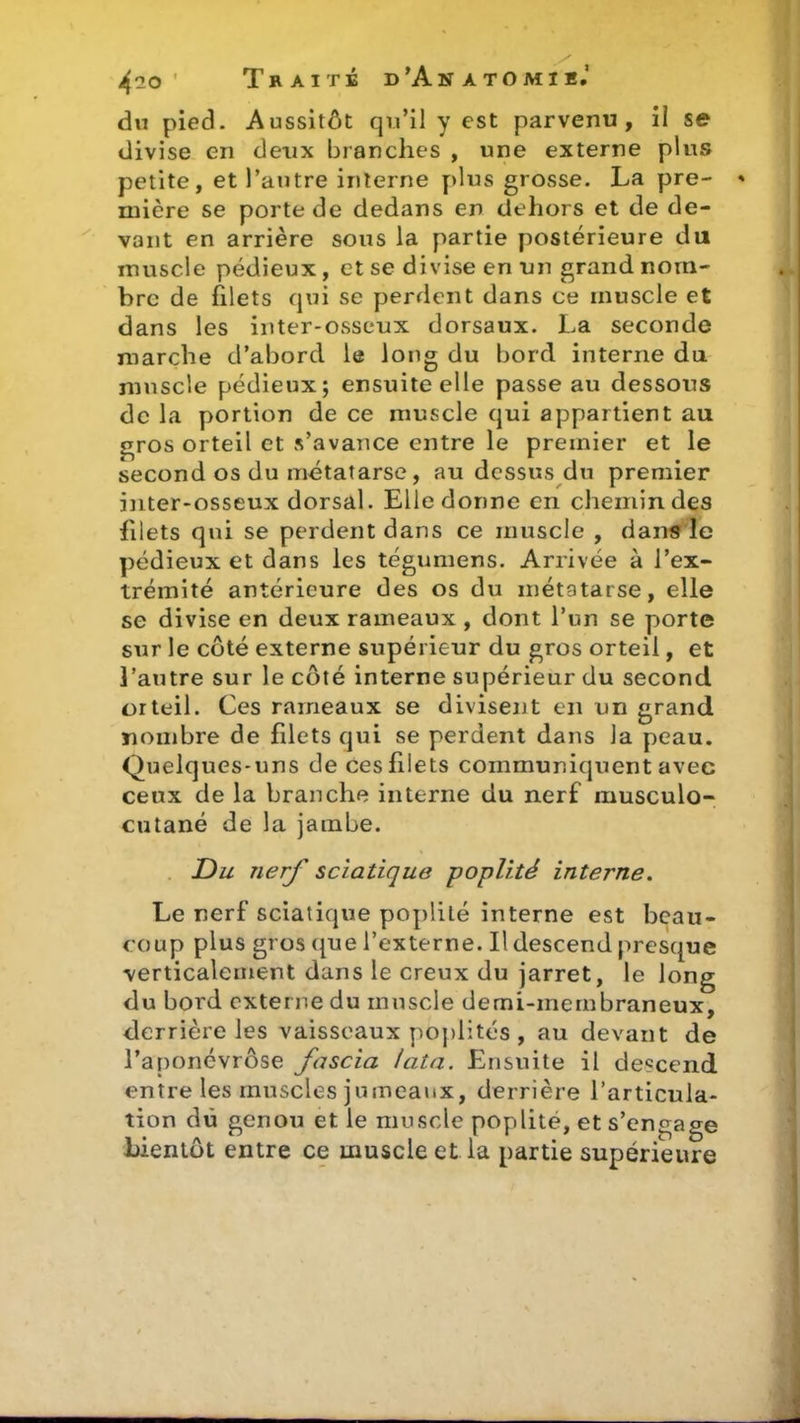 du pied. Aussitôt qu’il y est parvenu, il se divise en deux branches , une externe plus petite, et l’autre interne plus grosse. La pre- * mière se porte de dedans en dehors et de de- vant en arrière sous la partie postérieure du muscle pédieux, et se divise en un grand nom- bre de filets qui se perdent dans ce muscle et dans les inter-osseux dorsaux. La seconde marche d’abord le long du bord interne du muscle pédieux; ensuite elle passe au dessous de la portion de ce muscle qui appartient au gros orteil et s’avance entre le premier et le second os du métatarse, au dessus du premier inter-osseux dorsal. Elle donne en chemin des filets qui se perdent dans ce muscle , dans le pédieux et dans les tégumens. Arrivée à l’ex- trémité antérieure des os du métatarse, elle se divise en deux rameaux , dont l’un se porte sur le côté externe supérieur du gros orteil, et l’autre sur le côté interne supérieur du second orteil. Ces rameaux se divisent en un grand nombre de fdets qui se perdent dans la peau. Quelques-uns de ces filets communiquent avec ceux de la branche interne du nerf musculo- cutané de la jambe. Du nerf sciatique poplité interne. Le nerf sciatique poplité interne est beau- coup plus gros que l’externe. Il descend presque verticalement dans le creux du jarret, le long du bord externe du muscle demi-membraneux, derrière les vaisseaux poplités , au devant de l'aponévrose fascia lata. Ensuite il descend entre les muscles jumeaux, derrière l’articula- tion dû genou et le muscle poplité, et s’engage bientôt entre ce muscle et la partie supérieure