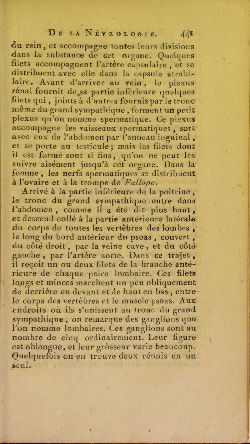 <“au rein, et accompagne toutes leurs divisions dans la substance de cet organe. Quelques filets accompagnent l’artère capsulaire , et se distribuent avec elle dans lu capsule atrabi- laire. Avant d'arriver au rein , le plexus rénal fournit de .sa partie inférieure quelques filets qui , joints à d’autres fournis par le tronc même du grand sympathique , forment un petit plexus qu’on nomme spermatique. Ce plexus accompagne les vaisseaux spermatiques , sort avec eux de l’abdomen par l’anneau inguinal, et se porte au testicule ; mais les filets dont il est formé sont si fins, qu’on ne peut les suivre aisément jusqu’à cet organe. Dans la femme , les nerfs spermatiques se distribuent à l’ovaire et à la trompe de Fallope. Arrivé à la partie inférieure de la poitrine, le tronc du grand sympathique entre dans i’abdomen , comme il a été dit plus haut, et descend collé à la partie antérieure latérale du corps de toutes les vertèbres des lombes , Je long du bord antérieur du psoas , couvert , du côté droit, par la veine cave, et du côté gauche , par l’artère aorte. Dans ce trajet , il reçoit un ou deux filets de la branche anté- rieure de chaque paire lombaire. Ces filets longs et minces marchent un peu obliquement de derrière en devant et de haut en bas , entre le corps des vertèbres et le muscle psoas. Aux endroits où ils s’unissent au tronc du grand, sympathique , on remarque des ganglions que l’on nomme lombaires. Ces ganglions sont au nombre de cinq ordinairement. Leur figure est oblongue, et leur grosseur varie beaucoup. Quelquefois on en trouve deux réunis en un écul.