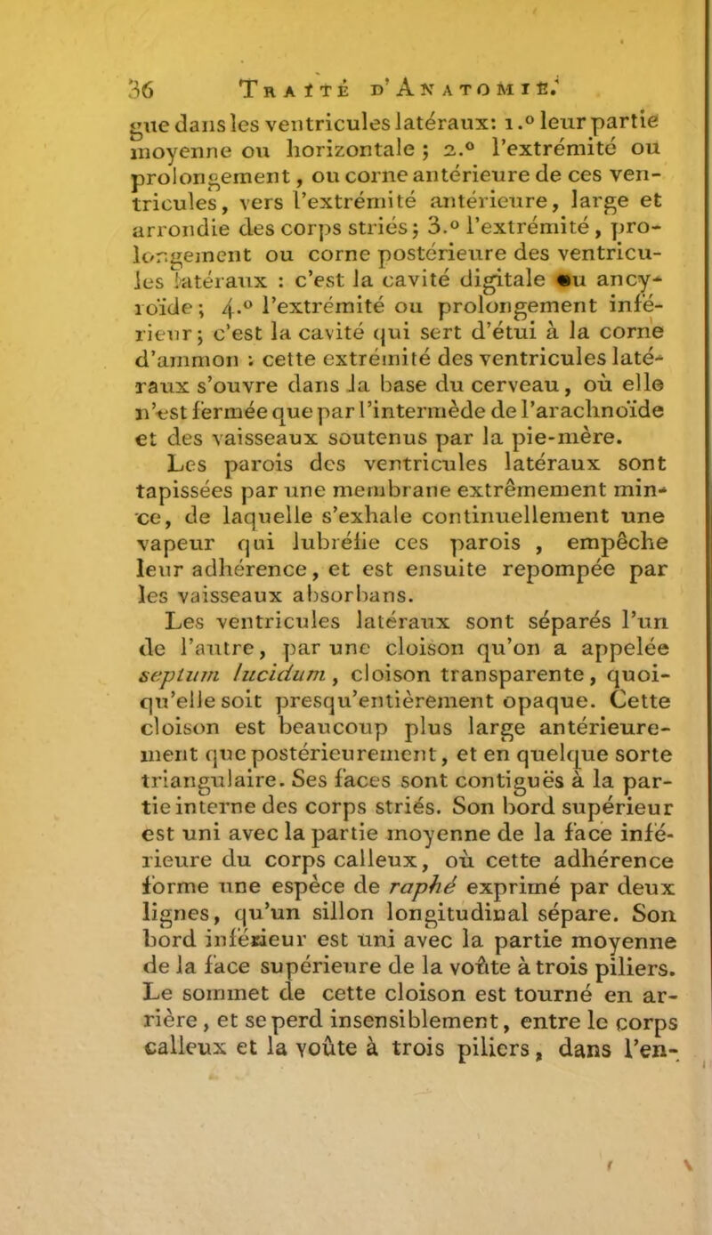 gue dans les ventricules latéraux: 1.° leur partie moyenne ou horizontale ; 2..0 l’extrémité ou prolongement, ou corne antérieure de ces ven- tricules, vers l’extrémité antérieure, large et arrondie des corps striés 5 3.° l’extrémité, pro- longement ou corne postérieure des ventricu- les latéraux : c’est la cavité digitale «ni ancy- roïde ; 4-° l’extrémité ou prolongement infé- rieur j c’est la cavité qui sert d’étui à la corne d’ammon : cette extrémité des ventricules laté- raux s’ouvre dans la base du cerveau, où elle 11’est fermée que par l’intermède de l’arachnoïde et des vaisseaux soutenus par la pie-mère. Les parois des ventricules latéraux sont tapissées par une membrane extrêmement min- ce, de laquelle s’exhale continuellement une vapeur qui lubrélie ces parois , empêche leur adhérence, et est ensuite repompée par les vaisseaux absorbans. Les ventricules latéraux sont séparés l’un de l’autre, par une cloison qu’on a appelée septum lucicium, cloison transparente, quoi- qu’ellesoit presqu’entièrement opaque. Cette cloison est beaucoup plus large antérieure- ment que postérieurement, et en quelque sorte triangulaire. Ses faces sont contiguës à la par- tie interne des corps striés. Son bord supérieur est uni avec la partie moyenne de la face infé- rieure du corps calleux, où cette adhérence forme une espèce de raphé exprimé par deux lignes, qu’un sillon longitudinal sépare. Son bord inférieur est uni avec la partie moyenne de la face supérieure de la voûte à trois piliers. Le sommet de cette cloison est tourné en ar- rière , et se perd insensiblement, entre le corps calleux et la yoûte à trois piliers, dans l’en-