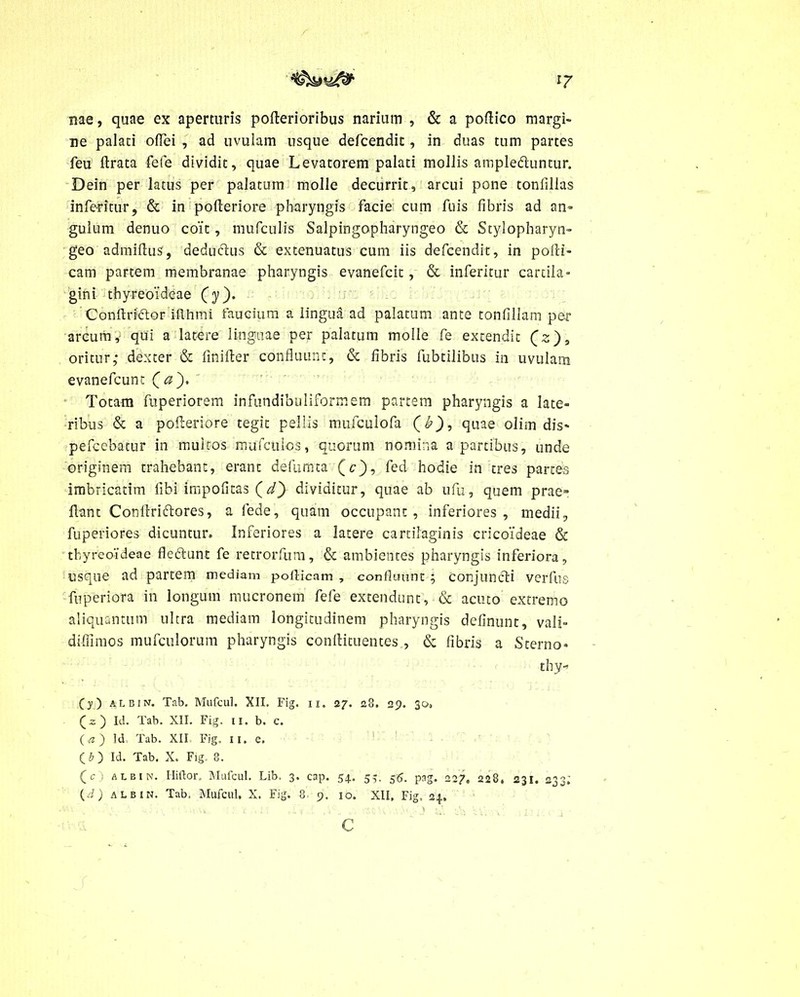 nae, quae ex aperturis pofterioribus narium , & a poftico margi- ne palati olTei , ad uvulam usque defcendit, in duas tum partes feu ftrata fele dividit, quae Levatorem palati mollis ampleduntur. Dein per latus per palatum molle decurrit, arcui pone tonlilias inferitur, & in pofteriore pharyngis facie cum fois fibris ad an- gulum denuo coit, mufculis Salpingopharyngeo & Stylopharyn- geo admiftus, deduftus & extenuatus cum iis defcendit, in pofti- cam partem membranae pharyngis evanefcit, & inferitur cartila- gini thyreoideae (y). Conftrhftor iflhmi faucium a lingua ad palatum ante tonfillam per arcumqui a latere linguae per palatum molle fe extendit (;>), oritur,’ dexter & finifter confluunt, <St fibris fubtilibus in uvulam evanefcunt (rz). Totam fuperiorem infundibuliformem partem pharyngis a late- ribus «St a pofteriore tegit pellis mufculofa (b), quae olim dis- pefcebatur in muitos mufcuios, quorum nomina a partibus, unde originem trahebant, erant defumta (c), fed hodie in tres partes imbricarim libi impofitas (d) dividitur, quae ab ufu, quem prae- flant Conliriftores, a fede, quam occupant, inferiores, medii, fuperiores dicuntur. Inferiores a latere cartilaginis cricoideae & thyreoYdeae fle&unt fe retrorfum, & ambientes pharyngis inferiora, usque ad partem mediam pofticam , confluunt; conjuncti verfus fuperiora in longum mucronem fefe extendunt, & acuto extremo aliquantum ultra mediam longitudinem pharyngis definunt, vali- diffimos mufculorum pharyngis conftituentes , & fibris a Sterno* thy- (y) albin. Tab. Mufcul. XII, Fig. 11. 27. 28. 29. 30. (a) Id. Tab. XII. Fig. II. b. c. O) Id Tab. XII Fig. ii. e. (O Id. Tab. X. Fig. 8. (£) albin. Hiftor. Mufcul. Lib. 3. cap. 54. 53. 56. pag. 227, 228. 231. 233; (d) albin. Tab, Mufcul. X. Fig. 8. 9. 10. XII, Fig. 24. C