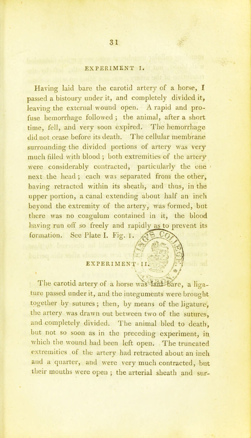 EXPERIMENT I. Having laid bare the carotid artery of a horse, I passed a bistoury under it, and completely divided it, leaving the external wound open. A rapid and pro- fuse hemorrhage followed ; the animal, after a short time, fell, and very soon expired. The hemorrhage did not cease before its death. The cellular membrane surrounding the divided portions of artery was very much filled with blood ; both extremities of the artery were considerably contracted, particularly the one 1 next the head ; each was separated from the other, having retracted within its sheath, and thus, in the upper portion, a canal extending about half an inch beyond the extremity of the artery, was formed, but there was no coagulum contained in it, the blood having run oft' so freely and rapidly as to prevent its ture passed under it, and the integuments were brought together by sutures; then, by means of the ligature, the artery was drawn out between two of the sutures, and completely divided. The animal bled to death. which the wound had been left open. The truncated extremities of the artery had retracted about an inch and a quarter, and were very much contracted, but their mouths were open ; the arterial sheath and sur- formation. See 1 The carotid artery ot a norse was iata- Dare, a liga- but not so soon as in the preceding experiment, in