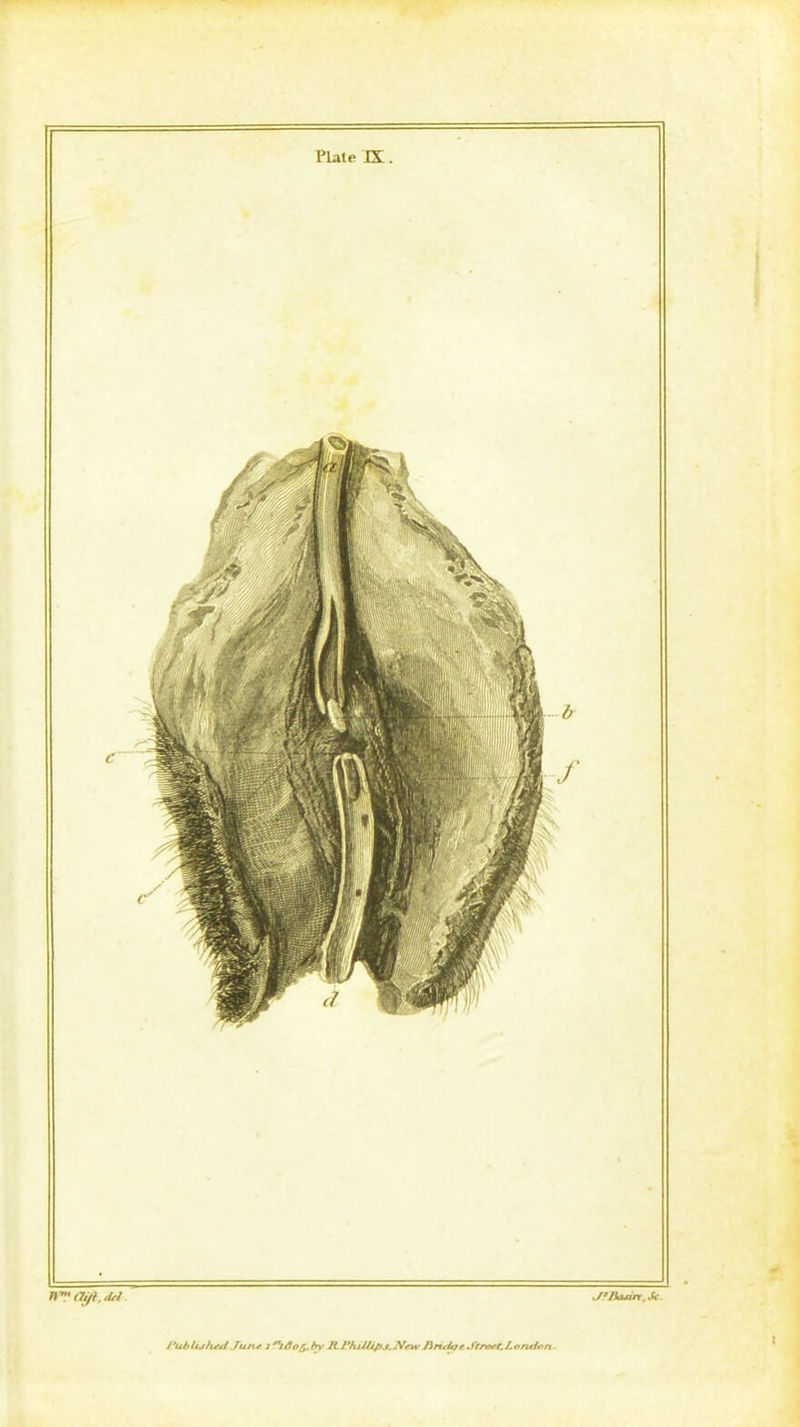 J)™ (Tift, drl JfBasin, Sc. /‘ubluhni June l x,tdo£,bv K PhillipJ.Mew Jlrttitjt J'frert. London ■ t