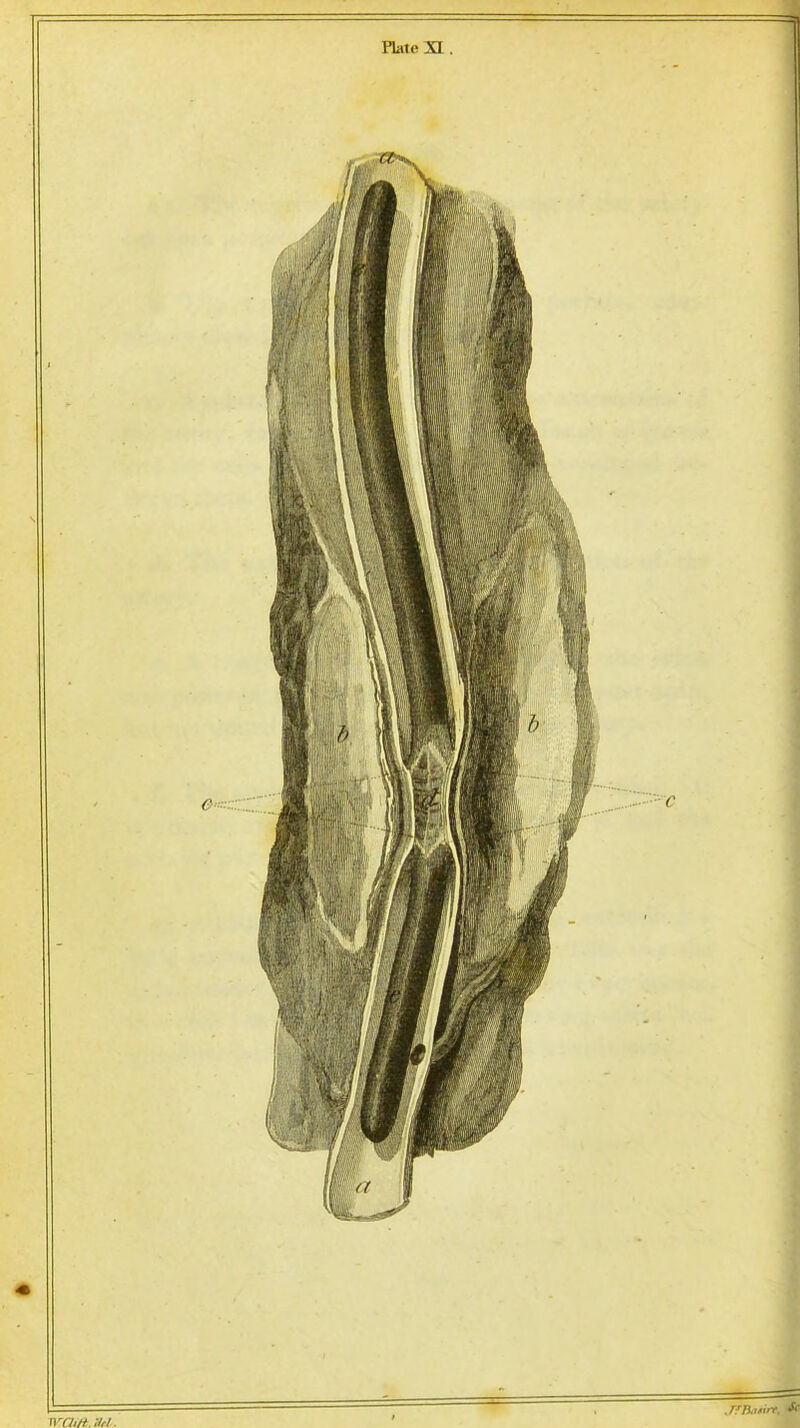 == WCtift.'M ,T?Rotirt