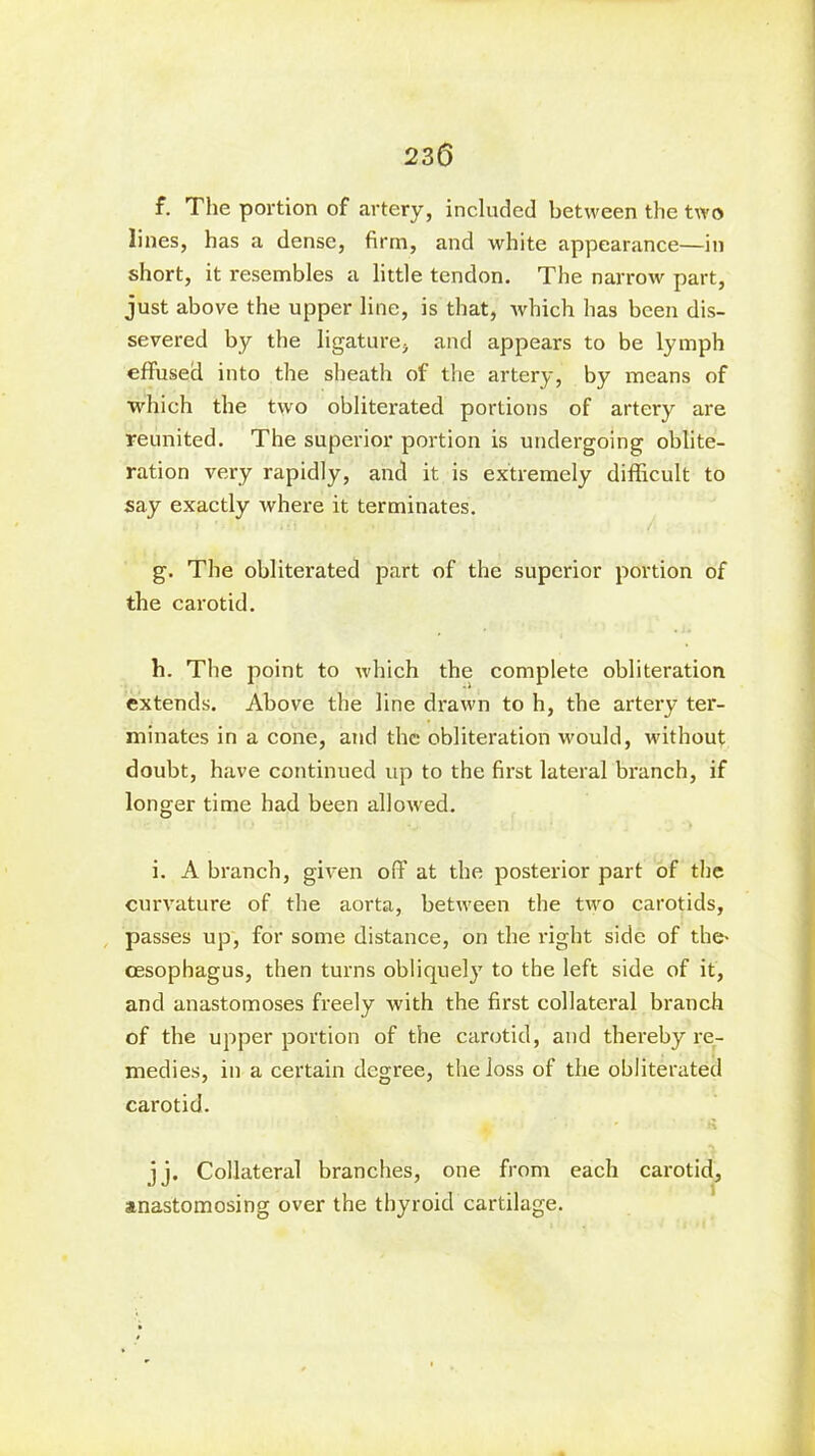 f. The portion of artery, included between the two lines, has a dense, firm, and white appearance—in short, it resembles a little tendon. The narrow part, just above the upper line, is that, which has been dis- severed by the ligature, and appears to be lymph effused into the sheath of the artery, by means of which the two obliterated portions of artery are reunited. The superior portion is undergoing oblite- ration very rapidly, and it is extremely difficult to say exactly where it terminates. g. The obliterated part of the superior portion of the carotid. h. The point to which the complete obliteration extends. Above the line drawn to h, the artery ter- minates in a cone, and the obliteration would, without doubt, have continued up to the first lateral branch, if longer time had been allowed. i. A branch, given off at the posterior part of the curvature of the aorta, between the two carotids, passes up, for some distance, on the right side of the- oesophagus, then turns obliquely to the left side of it, and anastomoses freely with the first collateral branch of the upper portion of the carotid, and thereby re- medies, in a certain degree, the loss of the obliterated carotid. jj. Collateral branches, one from each carotid, anastomosing over the thyroid cartilage.