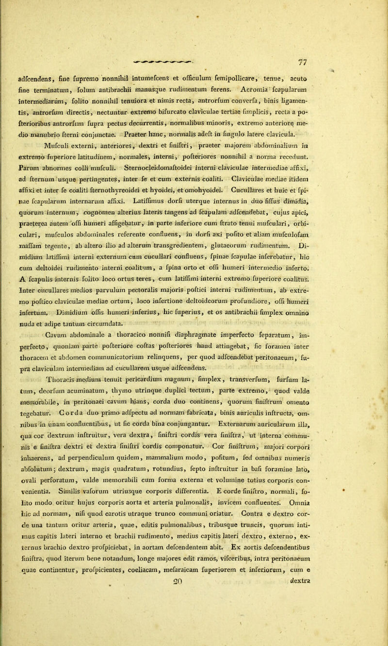 77 adfcendens, fine fupremo nonnihil intumefcens et officulum femipollicare, tenue, acuto fine terminatum, foluni antibrachii manus^ue rudimentum ferens. Acromia' fcapularum intermediarum, folito nonnihil tenuiora et nimis recta, antrorfum converfa, binis ligamen- tis, antrorfum directis, nectuntur extremo bifurcato claviculae tertiae fimplicis, recta a po- fterioribus antrorfum fupra pectus decurrentis, normalibus minoris, extremo anteriore me- dio manubrio fterni conjunctae. Praeter hanc, normalis adeft in fingulo latere clavicula. Mufculi externi, anteriores, dextri et fmiftri, praeter majorem abdominalium in extrerpo fuperiore latitudinem, normales, interni, pofteriores nonnihil a norma recedunt. Parum abnormes colli mufculi. Sternocleidomaftoidei interni claviculae intermediae affixi, ad fternum ‘usque pertingentes, inter fe et cum externis coaliti. Claviculae mediae itidem affixi et inter fe coaliti fternothyreoidei et hyoidei, et omohyoidei. Gucullares et huic et fpi- nae fcapularum internarum affixi. Latiffimus dorfi uterque internus in duo fiffus dimidia, quorum internum , cognomen alterius lateris tangens ad fcapulam adfcendebat, cujus apici, praeterea autem offi humeri affigebatur, in parte inferiore cum ftrato tenui mufculari, orbi- culari, mufculos abdominales referente confluens, in dorfi axi pofito et aliam mufculofam maffam tegente, ab altero ilio ad alterum transgredientem, glutaeorum rudimentum. Di- midium latiffimi interni externum cum cucullari confluens, fpinae fcapulae inferebatur, hic cum deltoidei rudimento interni coalitum, a fpina orto et offi humeri intermedio inferto. A fcapulis internis folito loco ortus teres, cum latiffimi interni extremo fuperiore coalitus. Inter cucullares medios parvulum pectoralis majoris poftici interni rudimentum, ab extre- mo poftico claviculae mediae ortum, loco infertione deltoideorum profundiore, offi humeri infertum. Dimidium offis humeri inferius, hic fuperius, et os antibrachii fimplex omnino nuda et adipe tantum circumdata. ' Cavum abdominale a thoracico nonnifi diaphragmate imperfecto feparatum, im- perfecto , quoniam parte pofteriore coftas pofteriores haud attingebat, fic foramen inter thoracem et abdomen communicatorium relinquens, per quod adfcendebat peritonaeum, fu- I pra claviculam intermediam ad cucullarem usque adfcendens. Thoracis medium tenuit pericardium magnum, fimplex, transverfum, furfum la- tum, deorfum acuminatum, thymo utrinque.duplici tectum, parte extremo, quod valde memorabile, in peritonaei cavum hians, corda duo continens, quorum finiftrum omento tegebatur. Corda duo primo adfpectu ad normam fabricata, binis auriculis inftructa, om- nibus in unam confluentibus, ut fic corda bina conjungantur. Externarum auricularum illa, qua cor dextrum inftruitur, vera dextra, fmiftri cordis vera finiftra,' ut interna commu- nis e finiftra dextri et dextra fmiftri cordis componatur. Cor finiftrum, majori corpori inhaerens, ad perpendiculum quidem, mammalium modo, pofitum, fed omnibus numeris abfolutum; dextrum, magis quadratum, rotundius, fepto inftruitur in bafi foramine lato, ovali perforatum, valde memorabili cum forma externa et volumine totius corporis con- venientia. Similis vaforum utriusque corporis differentia. E corde fmiftro, normali, fo- lito modo oritur hujus corporis aorta et arteria pulmonalis, invicem confluentes. Omnia iuc ad normam, nifi quod carotis utraque trunco communi oriatur. Contra e dextro cor- de una tantum oritur arteria, quae, editis pulmonalibus, tribusque truncis, quorum inti- mus capitis lateri interno et brachii rudimento, medius capitis lateri dextro, externo, ex- ternus brachio dextro profpiciebat, in aortam defcendentem abit. Ex aortis defcendentibus finiftra, quod iterum bene notandum, longe majores edit ramos, vifceribus, intra peritonaeum quae continentur, profpicientes, coeliacam, mefaraicam fuperiorem et inferiorem, cum e 30 dextra