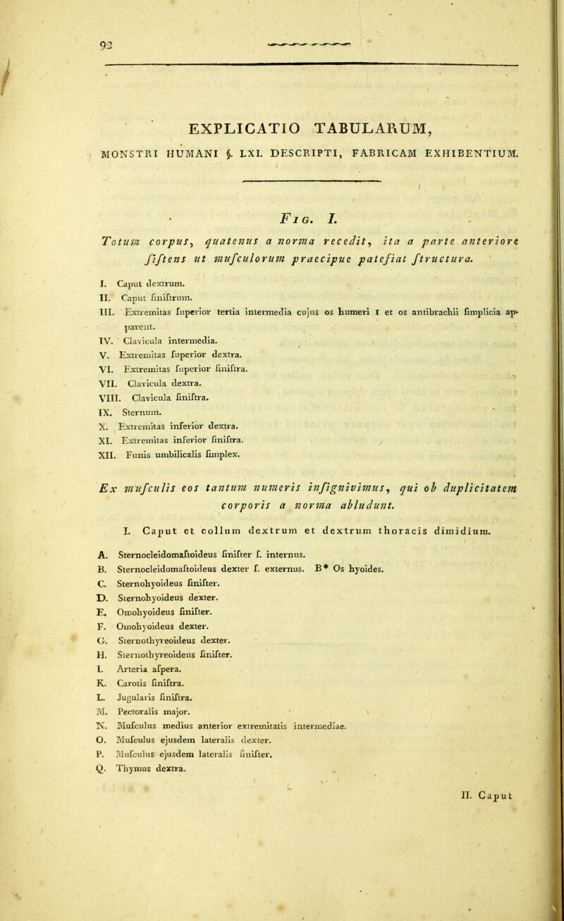 EXPLICATIO TABULARUM, MONSTRI HUMANI §. LXI. DESCRIPTI, FABRICAM EXHIBENTIUM. I I Fig. I. Totum corpus^ quatenus a norma recedit^ ita a parte anteriore Jiftens ut mufculorum praecipue patefiat ftructura. / I. Capvit dextrum. II. Caput rmiftrum. III. Extiemitas lupcrior tertia intermedia cujus os humeri I et os antibrachii fimplicia ap* parent. IV. Clavicula intermedia. V. Extiemitas fuperior dextra. VI. Extremitas fuperior finiltra. VII. Clavicula dextra. VIII. Clavicula finiTtra. IX. Sternum. X. Extremitas inferior dextra. XI. Extremitas inferior finiftra. / XII. Funis umbilicalis limplex. Ex miifculis eos tantum numeris itifignivi^nus^ qui oh duplicitatem corporis a norma ahludunt. I. Caput et collum dextrum et dextrum thoracis dimidium. A. Sternocleidomaftoideus finifter f. internus. B. Sternocleidomaftoideus dexter f. externus. B* Os hyoides, C. Sternohyoideus finifter. D. Sternohyoideus dexter. E. Omohyoideus finifter. F. Omohyoideus dexter. 0. Siernothyieoideus dexter. H. Sternothyreoideus finifter. 1. Arteria afpera. K. Carotis finiftra. L. Jugularis finiftra. M. Pectoralis major. ' v N. Mufculus medius anterior extremitatis intermediae. O. Mufculus ejusdem lateralis dexter. P. Mufculus ejusdem lateralis finifter, Q. Thymus dextra.