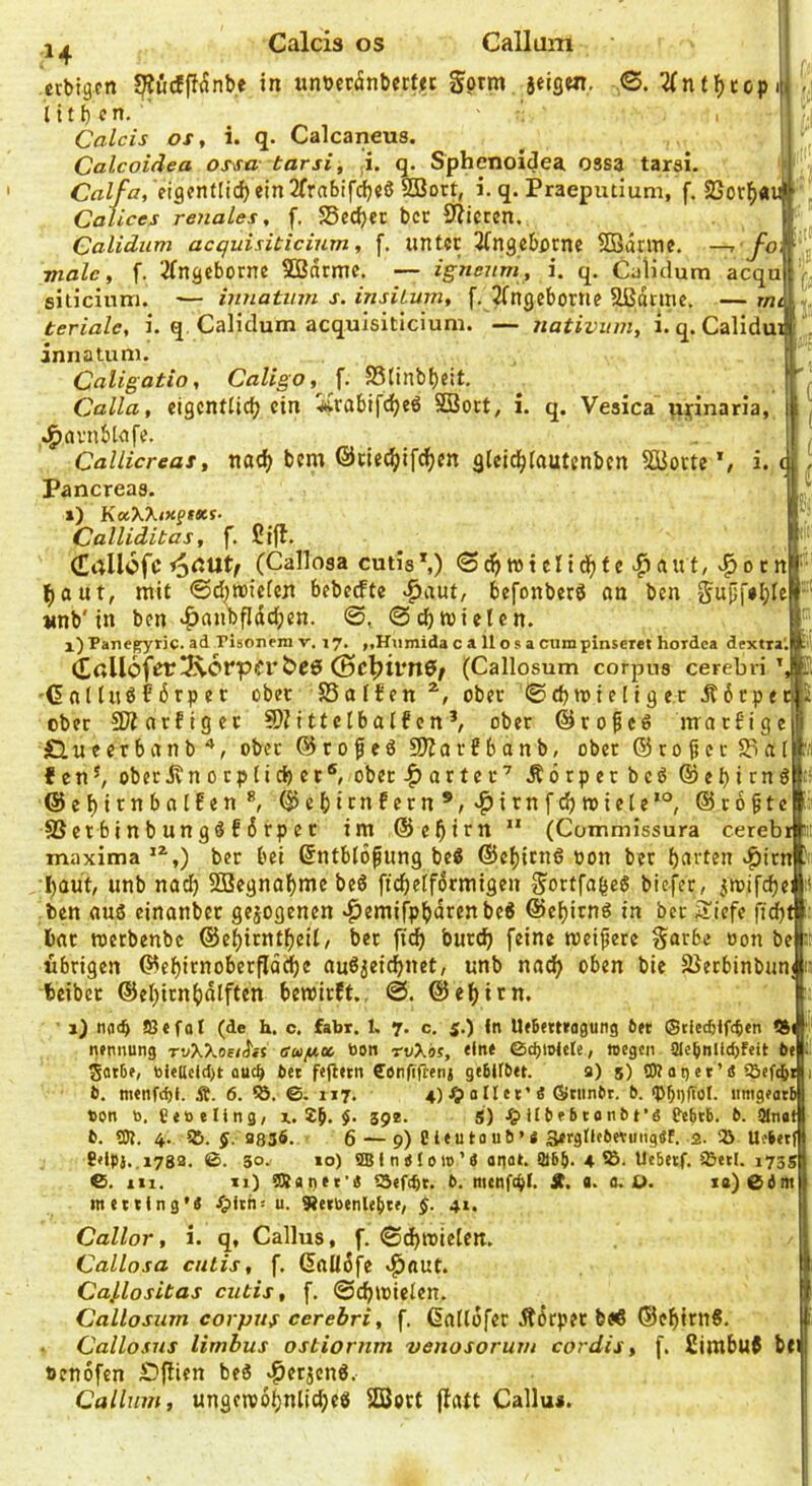 Calcis OS Call am ccbigcn in wnbccänberiitt gprm <S- 2(nf^topi[ litt) erx. ' Calcis OS, i. q. Calcaneus. Calcoidea ossa tarsi, j. q. Sphcnoidea ossa tarsi. Calfa, eidentlid)ein2[rabif(^t6 fSSott, i. q. Praeputium, f. 2Sor(>« Caiices renales, f. SSec^ec bcc Sf?iccen. Caliäum acquisiticium, f. unter 31ngebf)rnc SBdnne. fo male, f. 2fngeborne SBdrmc. — ignenm, i. q. Caliclutn acqu siticinm. — innatiim s. insilum, f. ^ngeborlie Sßdtnie. — r/i, teriale, i. q. Calidum acquisiticium. — nativum, i. q. Calidu innatum. Caligatio, Caligo, ^ S5tinbl)eit. Calla, cigcntlid; ein iCrabif(^eö SBort, i. q. Vesica vti^inaria, ..^avnblcife. Callicreat, nad> bcm ©tiec^)ifcf)cn gleid^tautenbcn SBottc *, i. Pancreaa. i) K«XXwff«es- Calliditas, f. ßifl. (Eallofc <odUt/ (Callosa cutia*,) <S^ wt elid)f e ^ rtut, o t n ^aut, mit 0d)H){cfMi bebcefte ^aut, befonbere an ben gu(if»l;le unb'in ben >^an^fl(id;en. ©. ©c^mieten. x)Panegyric. ad risonera v. 17. „Hiimida c a 11 o s a cumpinseret hoidca drxtra'.j &C0 CBc^)il‘n0/ (Callosum corpna cerebri ' 'C n l luö f ö rp e r ober SSafJen ober ©dimteliger Ä6rpe cbec 2i?arfigec 9)^^ttctba^fcn^ ober ©roficö marbige •D.ueerbanb'*, ober ©rofeö SSJZorBbanb, ober (Großer 5ia[ f cn^ ober Jtn 0 rp li cf) er®, ober iQ axttx’’ Äörperbe6 ®ef)icng ©e^trnbalBen®, (|5ci)trnfern*,'f>irnfc^toiete’°, @ro§tc ® er b i n b un g ö f 6 rp e t im ©c^im ” (Commissura cereb maxima**',) ber bei ßntblö^img be« @ef)irn6 pon ber .^irnl I)aut, unb nad) 3Begnabme beö ficbelfdrmigen SortfabeS biefer, ^loifcbe ben aus einanber gesogenen «^emifpbdrenbeS ©ebirnS in ber iiiefe fid) bar merbenbe ©ebirntbeil, ber ftcb bureb feine meipere §arbe oon be übrigen ©ebirnoberflddbe auSseiebnet, unb nach oben bie SJerbinbun beiber ©ebirnbdlften bewirft., @. ©ebirn. ' 1} n(i(^ Slefal (de h. c, fahr. 1. 7. c. $•) fi' Ue&ettragung Ott (Stieebtfe^tn nennung rvXXoeih! eufiet öon rvXos, eine ©d)iol«Ie, »egen !2le5nlid)feit bei jfltbe, bielield)t oueb bet fefietn Confiftenj geblfbet. a) 5) SP a q e t ’ e sSeftbiT b. menfdjf. Ä. 6. ©. 117. 4) 0 H et’S ©tiinbt. b. <Pb>)iiol- Hmgeato t>on b, gebeUng, x. Jb* 59*- S) Üb e b 10 nb t’ö gebtb. b. Olnatl b. SP. 4. 5ö. §. 8836. 6 — 9)Cleutaub»S äergncbevungtff. 2. 25 Uebetfl 8'lpj.,i78a. ©. 30. »o) SBI nPloio’ä anat. abj. 4 Uebetf. 5öetl. i7gs| 6. 111. 11) SPaqet'e S5ef(bt. b. menfc^I. St, a. a. ü. ia)Cdm| metting’« ^Ith« u. 9ietbenle{ite, $. 41. Callor, i. q, Gallus, f. ©df)wie[en. Callosa cutis, f. (5alidfe «^aut. Caj,lositas cutis, f. ©cbwtelen. Callosum corpus cerebri, f. Gaflüfer itdrper b«€ ©ebirttS. . Callosus limbus ostiornm venosorum cordis, f, Stmbuf be »cnofen £)fhen beS .persenö. Callum, ungew6bnlid;eS SBort ffatt Callu«.