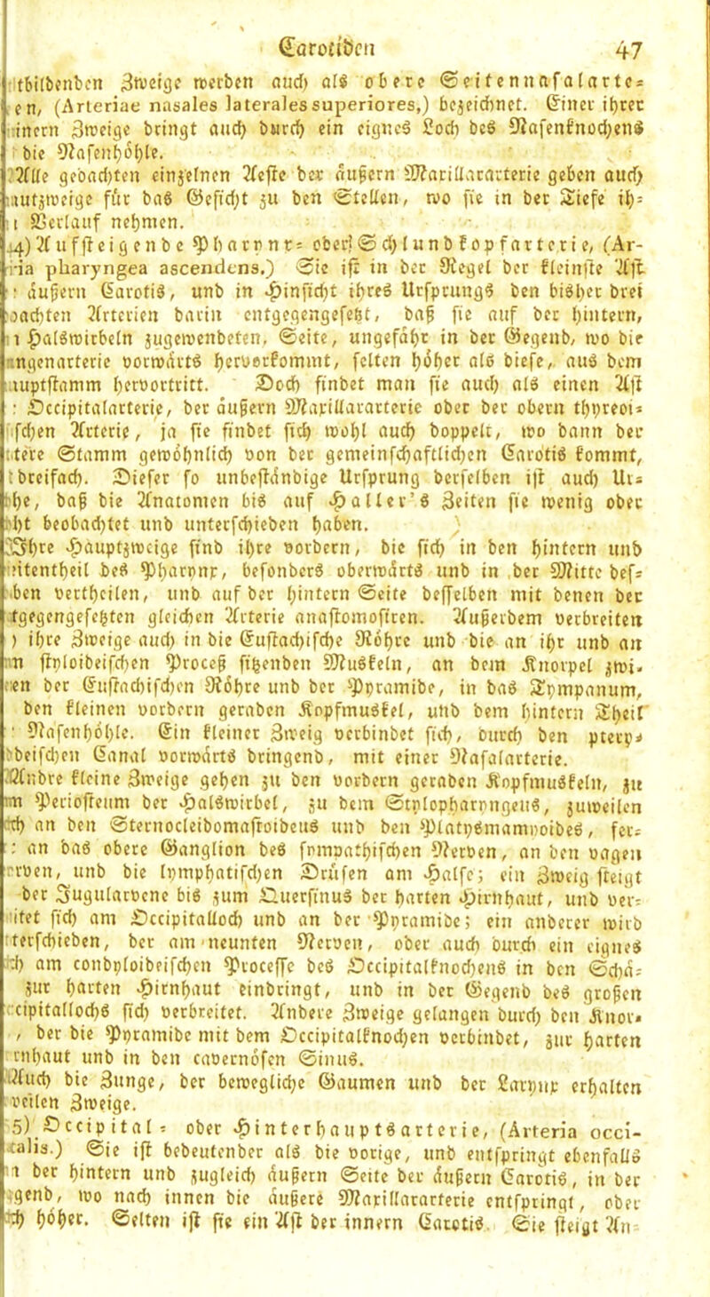 tbilbcnbcn 3tveigc ttcrben aud) af« obere ®eitennafalartc* ,en/ (Arteriae nasales ]ateralessuperiores,) bejeidinct. &iner ibrcc ■:incrn ätfcige bringt aadj bnrcb ein eignet 2ocb bc6 9iafenfnod;en« bic 9lafcnbbbl?' :3f((e geendeten einzelnen 2(efic bcc onfern S7?ariüatnrterie geben oud) laut^iücige für baö @cfid;t 31t ben ^tcEen, roo fie in ber Siefe ib= 11 SScrIanf nehmen. i4)uff}eigenbc ^barrnr^ ober?©d>Iunbfopfnrterie/ (Ar- ri'ia pharyngea asceniiens.) ■Sic ifx in ber Siegel ber fleinlle '^jt- •; äußern (larotiä, unb in 4>in[id;t ibreö Urfprung^ ben bisher bre« 'oaebten 3lrterien bariu entgegengefeßt, bnß fie niif ber l)intern, 1 ^algttJirbeln jugeirenbeten, ©eite, ungefdbt in ber @egenb, wo bie -.ngenarterie oorwdrt6 betuerfommt, feiten bi5f)cr ale biefe, (Uiö bem luptfiamm beroortritt. 25od) finbet man fie and) olö einen Zß : Sccipitalarferic, ber äußern SJiapillararteric ober ber obern tbpreoi* ‘ fdjen Tfrtcrie, ja fie finbet ficb wobl au(^ hoppelt, wo bann bec Mere ©lamm geroobnlid) oon ber gemeinfcbaftlid^en darotiö fommt, tbreifad). Diefer fo unbeflänbige Urfprung bcrfelben i)i aud) Uts hbe, baß bie 3fnatomen biß auf ^aller’ß Seiten fie wenig ober M)t beobad)tet unb unterfebieben OSbee '^auptjwcige ftnb il)re oorbern, bie ficb *n ben bi»tem «nb üitentbeil beß befonberß oberwärtß unb in ber SJiitto befs ■ben oertbcilen, unb auf ber bintern ©eite beffelben mit benen bec ^gegengefebten gleichen 2frterie anaflomoftren. 2(ußeibem verbreiten ) ihre Swfige aud) in bie ®uflad)ifcbe Siobre unb bie an ibr unb an :m fJp[üibeifd)en ^roeeß fibenben ^ußfeln, an bem ,Snorpel ,^wi. -en ber ®ujfad)ifd)en 9i6bre unb ber ^Ppramibe, in baß 5J;pmpanum, ben fleinen vorbern geraben Äopfmußfel, utib bem bintern Stbeil’ ■ Siafenboble. Sin fleiner äweig verbinbet ficb, burd) ben pteep»» )beifd)en Sanal vorwärtß bringenb, mit einer 9?afa(arterie. «•ßCnbre fleine äweige geben ju ben uorbern geraben Jtopfmußfeln, ju nn ^''eriofteum ber v^alßwirbcl, ju bem ©tnlopharrngeuß, juweilen cd) an ben ©ternocleibomafroibeuß unb ben spintpßmami)oibeß, fcc: : an baß obere ©anglion beß fompatbifeben Sterben, an ben vagen rvven, unb bie lvmpbatifd)en Prüfen am -ftalfc) ein Sweig fteigt ber Sugularvcne biß ^um Äuerfinuß bec barten Jpirnbaut, unb Ver; ■itet fid) am Äccipitallod) unb an bec S^pramibc; ein anbecer wirb tterfebieben, ber am'neunten S?etven, ober auch bureb ein eigneß rj) am conbploibeifcben ^roceffc beß £)ccipitalf’nod)enß in ben ©d)ä; äut bnrten ^irnbaut einbeingt, unb in bec ©egenb beß großen ceipitaKoebß fid) verbreitet. 2(nbere Steige gelangen burd) ben Änov» , ber bie ^pramibe mit bem £)ccipitalfnod)en verbinbet, änr barten rnbaut unb in ben cavernofen ©inuß. i?fud) bie 3nnge, ber bewegliche ©aumen unb bec Sarpup erbalten veilen Sweige. 5)_Öccip ital ; ober '^interbauptßartcrie, (Ärteria occi- calis.) @te ijf bebeutenber alß bie vorige, unb entfpringt ebenfaliß '1 ber bintern unb sugleid) äußern ©eite ber äußern Gorotiß, in ber ;genb, wo nad) innen bie äußere SO?arillararterie entfpringt, ober ^ ^o^tr. ©eiten ijl fie ein‘^)1 ber innern Sacctiß. ©ie jleigt ?(n