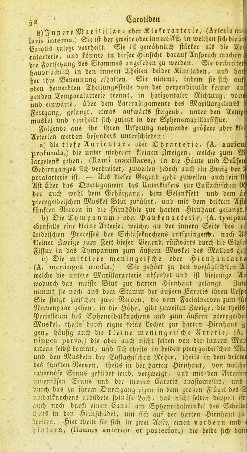 ^2 ‘ (Jürodbclt 8)Snnerc3J?ctFinüat5 obft Äiefecflttcvie, CArteriam£|| Iuris interna.) bet ober intietc3ffr, in Welchen fid) biedil ßarotiß ä«U|t »erti)eitt. @ie ill 3?«of)nlicf) jldcEet aiß bie 5J:ei| talarteiie, unb foinitc in bief«c «^^infidjt barauf 2fnfpnic^ mnrf)en| bie Öeß ©tammeß angcfe^en p wetben. ©ie oerbreitctl !)ttuptfdcl)licf) in ben innern Steilen bcibec Äinnlnben, unb ^atj l()et it)re S5euennung eil;a(ten. ©ie nimmt, inbcm fte auf! oben bemerftcn S^eÜungßfreKe non bec perpcnbiculdc ferner auf genben Scmporalniteric trennt, in i)oriäontaIec 9itcl)üing, nociij unb einmdrtß, übet bem ünternlligamente beß 9)?atiUargeIenEß I Fortgang, gelangt, ettnaß nuf\ndrtß ffeigenb, unter ben Stempj mußtel unb nert^.eilt ftd) julebt in bet ©pljenomapillarfiffuc, | golgenbe auß ii)r ifiten Urfprung ne()menbe gropere pbec fle| 2frtcrien noerben befonberß untcrfcl)iebcn; a) bie tiefe 2(uticuta15 ober £>l^rartetie, (A. auricu profunda,) bie unter me()iv'tn fleincn 3n>eigen, iveld)e gum 9)1 Inrgelcnf geljen, (Rami maxillarea,) in bie >^dute unb iDrufeti @el)irngangeß ftd) nerbreitet, gmneilen jeboc^ aud) ein 3tt>eig ber ‘ potalartetie ijl. — 2fuß biefer ©egenb ge()t guweilen aud) (ein fi 2(jl: über baß Slnctligament beß Üutevfiefcrß gut (^uftad)ifd)en 9i bec aud) tt)Dl)l bem @ei)6rgang, bem ©etenffett unb bem dt pterpgoibeifd)en 9)?uß!e( SSUit gufu[)ct, unb mit bem britten 3ffi( fünften Sternen in bie ^icnbdl)le gut l)atten »^irnbaut gelangt.l b) Sie iJlvnipanum 5 ober ^aufenacterie', (A. tympany ebenfaUß eine Elcinc 3fitevie, toeld)e/ an bec innetn ©eite beß cc loibeifd'.en ‘iprocefftß beß ©d)ldfcEnod)cnß cntfpcingtnfr, nad) Ul flcinec 3‘veige gum ^»tefer ©egenb, viuftodrtß bued) bie ©lafe giffuc in baß Spmpanum gum dupern 9)Zußfel beß 9)?nllcuß get c) Sic mittlecc meningeifd)e ober ^irnl)autarte (A. meningea media.) ©ic gel)6tt gu ben oorguglichflcn 2i meld)e bie untere 9??apiliararterie abfenbet unb ijl biejenige 2(t tvoburd) baß meiffe SSlut gut barten >^icnl)aut gelangt. 3«^ nimmt fie nod) aiiß bem ©tamm bec dupern ,6arc(iß i()cen Urfpi ©ie jlcigt gwifeben gcoei 9?ert)cn, bie oom SacialnccPcn gum fii: 9?eroenpaar gef)cn, in bie gibt guiucilen 3n?cige, bie tl)eilß ^eciojtcum beß ©pf)enoibalfnod)enß unb gum dupern pterpgoibei 9)?ußfel, tl)eilß'burd) eigne feine' 2od)ec gut b‘icten »^icnl)aut g gen, t^i^ E lei ne mertingeifd)e Dfcterie, (A. ningea parva,) bie aber aud) nid)t feiten uon ber innern 9)?at: artcric felbft fommt, unb ftd) tbeilß in beiben pterpgoibeifd)en 9)?u unb ben 9)ZußEeln bec ©uffüd)ifd)en 0iDt)ce, tl)eilß in bem brittei beß fünften 9Jet»en, tl)eilß in ber barten ^irnbaut, Pon melcf)e caoeenöfe ©inuß gebilbet ii'irb, oergmeigt, unb mit'ben 2frtericn cauecnofcn ©inuß unb ber innern darotiß anaflomoffrt, unb burcl) baß gu il)rem Sucd)gang eigen in bem gropen Slügel beß <2 noibalfnod)enß gebilbete fpinofe 2od), baß nid)t feiten hoppelt ijt and) noch burd) einen Ganal am ©pbcnoibalivinfel beß ©d)cite epenß in ben ^itn,fd)dbel, um ficb auf ber b'trten >^icnl)aut gu breiten, ^iec tpeilt fie fid) in gtuei 2fefte, einen vorbern unb ( i) intern, (Ramus anterior et posterior,) bie beibe fid) bau