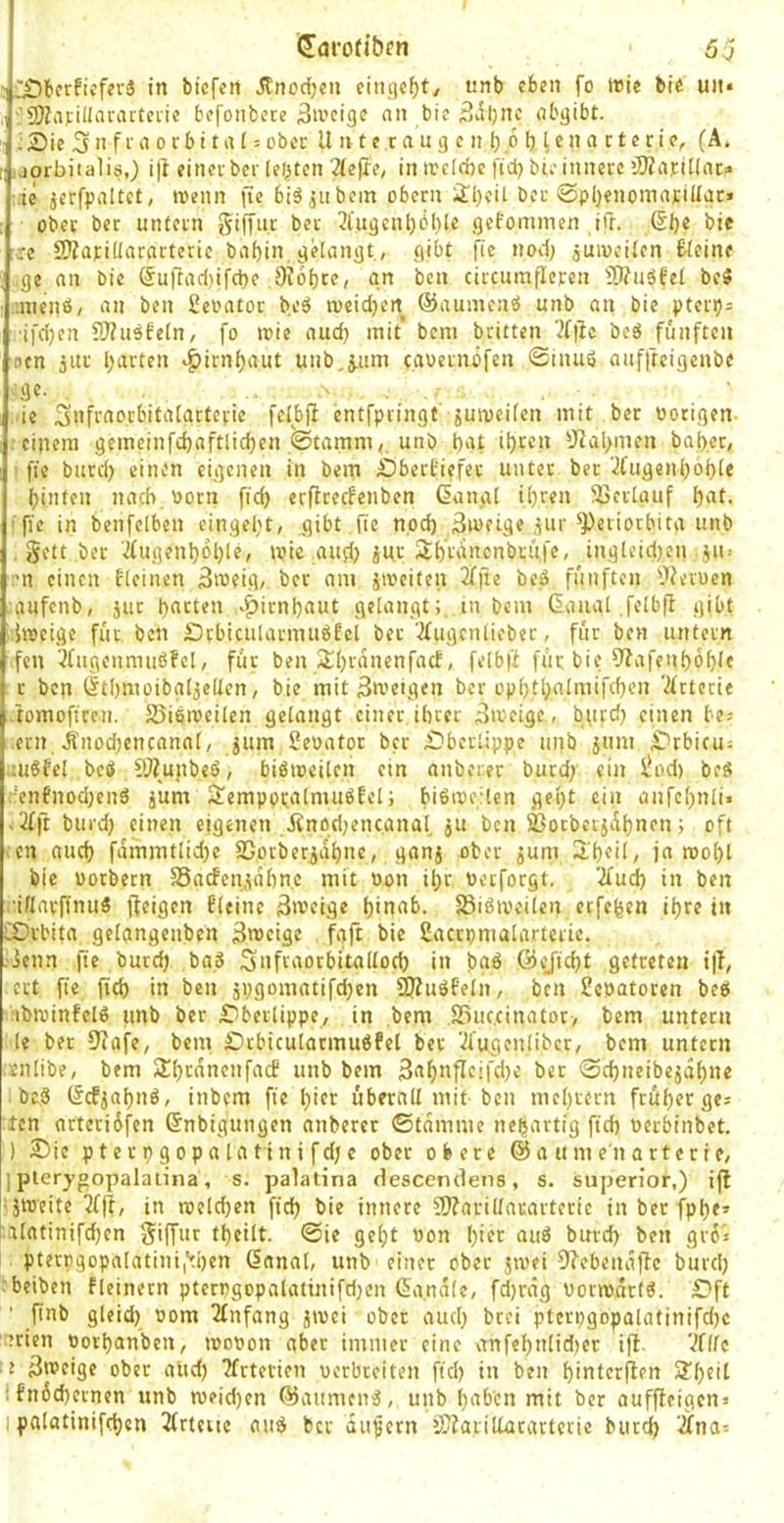 ÜJarofibrn öj ^ Ü£)bfrfiffcr3 in bicfcn itnocfjcu eingc^ty unb eben fo ttJie bie un* j SOZiUiUiU-artci'ie bcfonbece än'cige nn bie obgibt. :Sie 3n fi'0 0rbi t n l: ober U n t e c a u g c n 1) b [) len a c t erie, (A. t .jorbitalis,) i)t eitici bcr (elften ‘2le(te, in ircld)c ftd) bie innere >II?aj:i[(nc» :,1e jcrfpaltet, roenn jlc biäjnbein obern iÜl)cil ber ©pljenomntiüac» : übet ber untetn giffur bet 2iugcnl)öl)le gefommen ifr. ß^e bie ;rc CWatillarartcric baf)in, gHangt, gibt fie nod) juiueiien Eieine ge nn bie 5uftnd)ifct)e OJobte, gn ben circnmficten iTWuätel be$ ;nicnö, nn ben 2er*ntor beö n)eid}en ©nuincnsS unb nn bie pterij= ■ifdjen ?!J?uäfe[n, fo loie nud) mit’ bcni britten ?f)tc beö fünften pcn juc l)nrten *^irnf)nut unb.j.mn enoernöfen ©inuö niifftcigeube ije- ■ . ie Siifmorbitnlnttcrie felbjf entfpringt jutveifen mit ber notigen- einem gemcinfdjnftlic^en .'©tnmm,, unb bot il)ten 5^al>men bnb.er, fjc bnrd) einen eigenen in bem Sbertiefer unter ber '2fugenböf)Ie binten nncb vorn fid) erflrecfenben dnngl i()ren ^Cerinuf bot. ' fie in benfelben cingebt, gibt fie npd) 3u>eige .lUr Periorbita unb . gett ber ifugenboble, ivie nufi) jur Sbionenbrüfe, ingleidjen jii: ■n einen fleinen 3n)eig, bet nm imeiten 2ffie beö fünften 'Jieruen :gufenb, jur botten ,-^irnbnut gelangt;, in bem ßnual .felbfl gibt - itneige für ben Dtbicularmußfel bet'2fugrnlieber, für ben untetn .fen '■Jfngenmußfel, für ben/Ebtnnenfnd, felbfb füt bie 9?afenb6l}le r ben tltbmoibnljellcn, bie mit 3n’eigen ber opbtbolmifdjcn '^irtcrie tomofiren. SSiemeilen gelangt einer ihrer ^n-eige , bitrd) einen be; ern i'nodjencnnnl, jiim Senator ber £?bcrlippe unb ätmi .Orbicu^ lUßfel beö fWujibeö, biöineilcn cm nnberer burd/ ein Sod) beö .■enbnod;enö jum ^empptnlniuöEel; biötneilen gel)t ein aiifebnli> ,3fft burd; einen eigenen Jfnpd;encnnal, ju ben ®ocberjüb*tfn; oft en auch fnmmtlid)e Sjorberjdbne, gnnj ober jum 2.'beil, jn njobl bie notbern S5nrfen,\dbn.c mit non ihr nerforgt. 'Und) in ben :'iHnrftniiö ffeigen fleine 3>veige binnb. Sißtveilen erfeben ihre in LDrl'itn gelnngenben 3n>eige fgft bie Snccpnialarterie. • Jenn |le bureb bnö Snftaocbi'tnllocb in bnö ©ejicbt getreten i|ly ert fie fid) in ben jpgomntifd;en Sßuöf'eln, ben Senatoren beö :>bininfel6 unb ber £)betlippc, in bem .SSiic.cinatot, bem untetn le bet fJiafe, bem Ctbicularmuöfel bet '^'ugenlibct, bem untetn snlibe, bem $lbtdnenfacE unb bem 3obnfIeifd)e ber ©ebneibejabne beö (fef^ahnö, inbem fie b>tt überall mit-ben mebtern früher gei den arteriüfen (Snbigungen anberer ©tdmme neuartig ficb nerbinbet. ) £>ie p t e r p g 0 p a la ti n i fdj e ober obere ©a ume'narterie, ] plerygopalalina, s. paiatina descendens, s. superior,) ijl ijineite 2fj|, in raelcben fid) bie innere Pfarillauarteric in bet fpbe> ! -tlatinifcbcn giffur tbeilt. ©ie gel)t non b’^t ouö buvd) ben gro'j pterpgopalatinii'tben (5anal, unb einer ober jmei 0?ebendjle burd) :beiben fleinetn pterngopalatinifdjen Ga.ndle, fd)räg normdrtö. £)ff ■ finb gleid) nom 2tnfang jtvei ober aud) brei ptcri)gopalatinifd)c Atrien norbanben, loonon aber immer eine anfebnlid)er ifl- Vflle 3tt>eige ober aiid) 2frtetien nerbreiten fid) in ben binterflen Arbeit :fn6d)ernen unb roeid)en ©aumenö, unb hoben mit ber auffieigen»