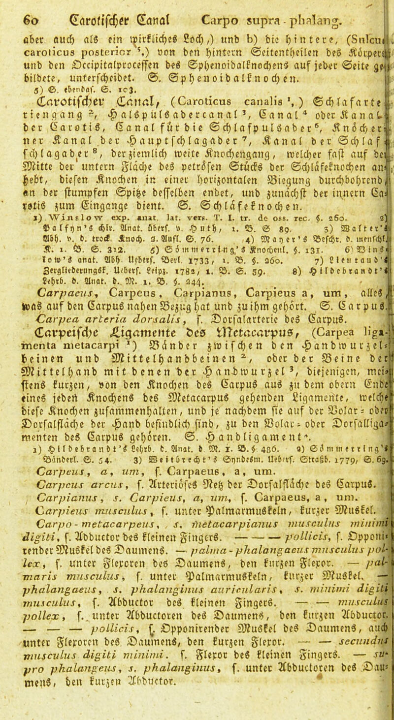 aber aitcb afS ein t^irfticbeö 2od),) unb b) bic (Salcin)i. caroiicus posterior ’,) üon ben <Scitcnti)eil«n beS Äbipecsji,. unb ben £)ccipitfl(ptoceffcn beö <Spl)enoibalFnod)cn5 auf jebec ©eite geHJ bilbete, unterfd)cibet. ©pbenoib alfn o d> cn. i S) ©, tbentaf. ©. ic3. l (trti*Otifd?ei‘ fZaueSf (Caroticus canalia *, ) ©d)fafarte | ttenpang «^alöputßabercanat^, (5ana['* ober Ä a n a C. j bccGavotiS, (5analfurbie©d)lnfpulönber®, Än6d)et: «ec Äanal.bec^auptfcbiagabec'^, Äanat bec©cblaf fd)(agab^ec ®, bevjicmtid) weite ifneebengang, wetdjec fnfi auf bc 5)iittc bet untcen gldd)e beS petrdfen ©tuefö bcc ©d)[dfefnocben an |)ebt, biefen Änoeben in cinec borijontaten S5iegung burd)bobtcnb «n bcc jlumpfcn ©pi|e beffeiben enbet, unb jundcbfl bec inncen ßai Vötid jum ß'ingange bient. ©. ©cbldfeEnod)en. i j) Wi 116low exp. «nit. lat. verg. T. I. tr. de oss. ree. 260. 2) 5>alfi)n’ä d)lx. 3Inat. öBetf. 0. 1. Sj. @ 89. 3) 516^. (6. B. teoef. Anod). 3. 31uff. ©. 76. 4) tD?ai)ct’ö Q3cfc5t. B. mtiifcBli Ä. 1- fe. 312. 5) G 6 in iti et ci n g,’<5 Änoiicnl. $. i3l- 6>23in«i| lott’d onat. 316f> l!«B«tf. iöevl. 1733/ 1. 93. §. 36o. 7) CIcntauB'« SetglltBetungSF. Ui’Betf. Ceipj. 1782/ 1. 0. Sp. 8) H B c b t a n ö t ’ * 9e()t6. B. ainat. B._ ?)?. 1, $. 344. . Carpaciis, Carpeus, Carpianus, Carpleus a, um, alie?,|‘ tonS auf ben darpuö naben SSejug l;at unb 3u ibm gebbet. ©. (5 a c p u ö. r Carpea arteria dorsalis, f. 25ocfa(actecic beg (Saepuö. €arpcifd;c ^iqamchte tes t)Tctrtcai‘pu0, (Carpea inenta nietacarpi *) 23dnbec jWifebett ben ^anbwuc5el4' lieinen unb SÄittelbanbbeinen^/ obec bec S3eine betW SDZittelbanb mitbenen bcc aniwu ejet */ biejenigen, mci»jj ften^ Eueren, »on ben Änodjen beß Gaepuß auß jit bem ober« S’nbe cineß jebert Änocbenß beß ?D?etacacpuß geb^nben Cigamcn'te, weicbe biefe .Knochen jufaminenbal.ten, unb je naebbem fte auf bec S3ofar= obee 3)ocfalfIdcbe bec ^^anb befiubtid) ftnb, ju ben S5olac- obec iDorfadiga? menten beß Gaepuß geboren. ©. a nb ligam e nt i) .^ItBebtanBt’i C«()tB. B. Qlnat. B OT. i. 95. $ 486. 9) 0i' m m e 111 ng'< ^öilnbecl. 0. 5 4. 3) 23* i 1611 (t) t ’ « 0t)nB*em. llebfvf. Gttaßb. 177g, 0.6g. Carpeus, a, um, f. Carpaeus, a, um. Carpeus arcus, f. 2frteri6feß 9Ze^ bec 2)ocfa(jTdd)e beß darpuß. Carpianus, s. Carpieus, a, wn, f. Carpaeus, a, um. Carpleus musculas y f. untec ^afmarmußEeln / EurÄer S)?ußfci. Carpo - metacarpeus, s. ilietacarpianus musculus rninimi digiti, f. ^fbbuctoc beß Eleinen gingc-rß. pollicis, f. £?ppoiti< lenbec CKußEet beß 2>aumcnß. — palma - phalangaeus musculus pol- lex, f. unter Sieforen beß iDaumenß, ben furjen g(c]coc. — pal- maris musculus, f. unter ^almarmußfetn/ Eur.ier S??ußEe(. — phalangaeus, s. phalanginus auricularis, s. iniuinii digiti musculus, f. 2f6buctoc beß Eteinen gingetß. — — musculus pollex, f.^ unter 3(bbuctocen beß iDaumenß, ben Eitcien 2fbbuctor. — — — pollicis, Öpponirenbec SÄußEel beß 2)aumenß/ auch unter ^ieporen beß, ^Dauinenß/ ben Euejen gieror. — — secundus musculus digiti rninimi. f, S^BFOC beß Eleinen Singeeß. — su- pro phalangeus, s. phalanginus, f. unter 2fbbuctocen beß >Daus menö; ben Euejen ^fEbnetor.