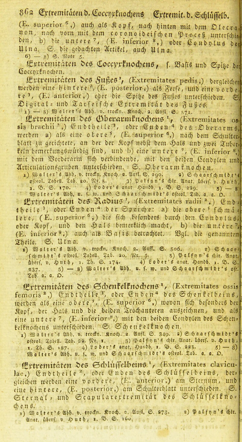 sGa ^r(rfmira(fii&.(£occi;ji*fnodKnö €^frem{(.b.®c5(up&, (E. Superior*^,) aitd) atö Äopf, tiac^ ()inten mit bem £)rccra, non, narf) oom mit bcm coronoibeifcfjcn *})roce5 unt6rfcl}it, l>en, b) bie untere^ (E. inferior s,) ober ßonbpluö bei Utna. ©. bic gehackten TCttifd/ aud) Utna. 6) — fl) 5. itvtvemitr.tcn i>ce (Eocpvvfnod;cu6, [. SSafi« unb <Bpi^e bc! GoccpvfnodKn. it)^tl’cmitctcn t>C$ (Extremitatea pedis,) bergleidjfii mci'ben eine I) intere ^ (E. posterior;) at^ S?ife, unb eine « o cb e> te’, (E. anterior,) ober bie @pi^e beö gntleö unteifrfjicben. 0i Sigitnls unb Savfe i fdf) e Sptremitat be6 j^up ed. i) — 3) 5BaItet’'ä 316^. o. ttocEn. Änoc^. a. aiiift. iß. 372. ^ itrtvcmitätcn t>e$ 0bevavmfncd)ett6 (Extremitates os- sis brachii ,) (5nbt beite’, ober :!(Sn,b cn beö SbetnrmS; werben a) atö eine obere’, (E.^superior ®,) nacf) bem ©d)ut'tet< blnt't ju gcrid;tete, an bet bec Äopf neb(f bem v^alö unb jwei Subec« fein bemerfungdiüurbig finb, unb b) eine untere (E. inferior ®,) mit beiti SSorberarhi ficb ocrbinbcnbe, mit ben beibcn (5onbi;ten unb 2(tticu[ation^gru.ben tintcrfcbifben. ©. p be ra tm f no cb e n. j) aß a r tet’ ä aij)!). ». ttoifn. Änpd;. a. 31ufl. 290; a) © d> o a tfmt b t ’ j ofteol. 2a6ell. Sab. ao.' 9tr. 3. , _3) ‘b 0 I f 0 n’ä djit. 2lnat. Cibetf. b. JTputf), 1. ^ö. 170. ■ 4) t'oöev’i Qiiat Jfpanbb. 1. 55. ©. 229. 5) g) 5® alter’iS 3lbb, u. f. lu. ,urt& 0 cfl a a t f d> m I b t ’ 5 ofteol. Safl, a. a. O. I£vtl‘CtuitöteU beS ^aöilI0’/ (Extremitates racHi ^,) (^nbs tbeitc’, oberen ben'* ber©petd)e: a) bie obere ’ fcbma ? lere, (E. superior®,) bie ftd) .befonbetö burdj ben (Sonboluö, ober Äopf, unb ben ^jalö bcmerflid) mad)t, b) bie untere (E. inferior“,) aud) alö SSafiö betcai^tet. 2JgI. bie genannten 2:i)til«. Utna. i) Sßqltft’S 21bf;. t>. trocFn. Änod). a. Sluff. 506. a) ©diaart fd)mlbt’3 oftiol. Sobell. Sab. ao, 9tr. 5) ‘Patfi)ti’« d>it. 21004 öbttf, ». Jgiiitb, 1. Si). ©. i74 4) ßoliet’Ä anat. JJianbb. i. 55. ©, 237. 5) — 8) SB alter’« Sl.bb., u. f. ». unb © d) a oe fc^ ni 1 b t *« oft. Sab' 0. 0. D. ' !EvtrcniitdtClt ^CÖ 0d)CUfcIfrtod)en0 */ (Extremitates Ossis femoris^,) 6 n b 11) e i t’eober ,(5n b c n'* bcö ©cbenfctbeinö, werben alS eitie obere (E, superior *,) wobon fidj bcfonberö bet jfbpf, ber ^atö unb bie beiben Sröc{)antcten aug^eic^nen, unb atg eine untere 7, (E. inferior'®,) mit ben beiben donbplen beä @d;enj te(fnod)enö unfcrfdjieben. <3: ©d;enfcIfnod}cn. i) SB a 11 e r' e 2lbl). to. ttoefn. Jtnod). a. SHufl. ©. 349- a) ©cbaacfc^mlbt’« ^ ofteol. Sabcll. Sab. aa. 92t. i. 3) tb a l fi) n’« d)lt. 21iiat. übetf. o. JE>utb< ■ 1. Sb- ©• >87. 4) l’ober’« anat. Jpanbb. i. 55. @. a83- 5)— fl) 5® alter’« ’31bb. u. f. lo. unb ® cb a q.t f dM« I b t ’« ofleol. Sab. a. o. D. , C£vtrcniitrtfcn bee ©d^lujTclbeine (Extremitates davicu- )ae,) (Sn b 11) ei t e oberd'uben bcö ©djtuffelbeind, ber: gleidien werben eine oorbefe, (E’. anterior,) am ©icrmtm, unb eine I)intere, (E- posterior,) am’0d)u!tcrbIatt tmterfdjieben. ©. ©ternal: unb ©capu tareptremi tat beö (öd) tuffe tf nos . c n ö. i) SB a 11 c V ’« 31bB. t>. trocEn. .ttnoeb. 2. aiufl. 6, 873. a) 'Patfi)n’« dllt. >1 2tnat. iibetf. 0. rp u f b, *• ©• (