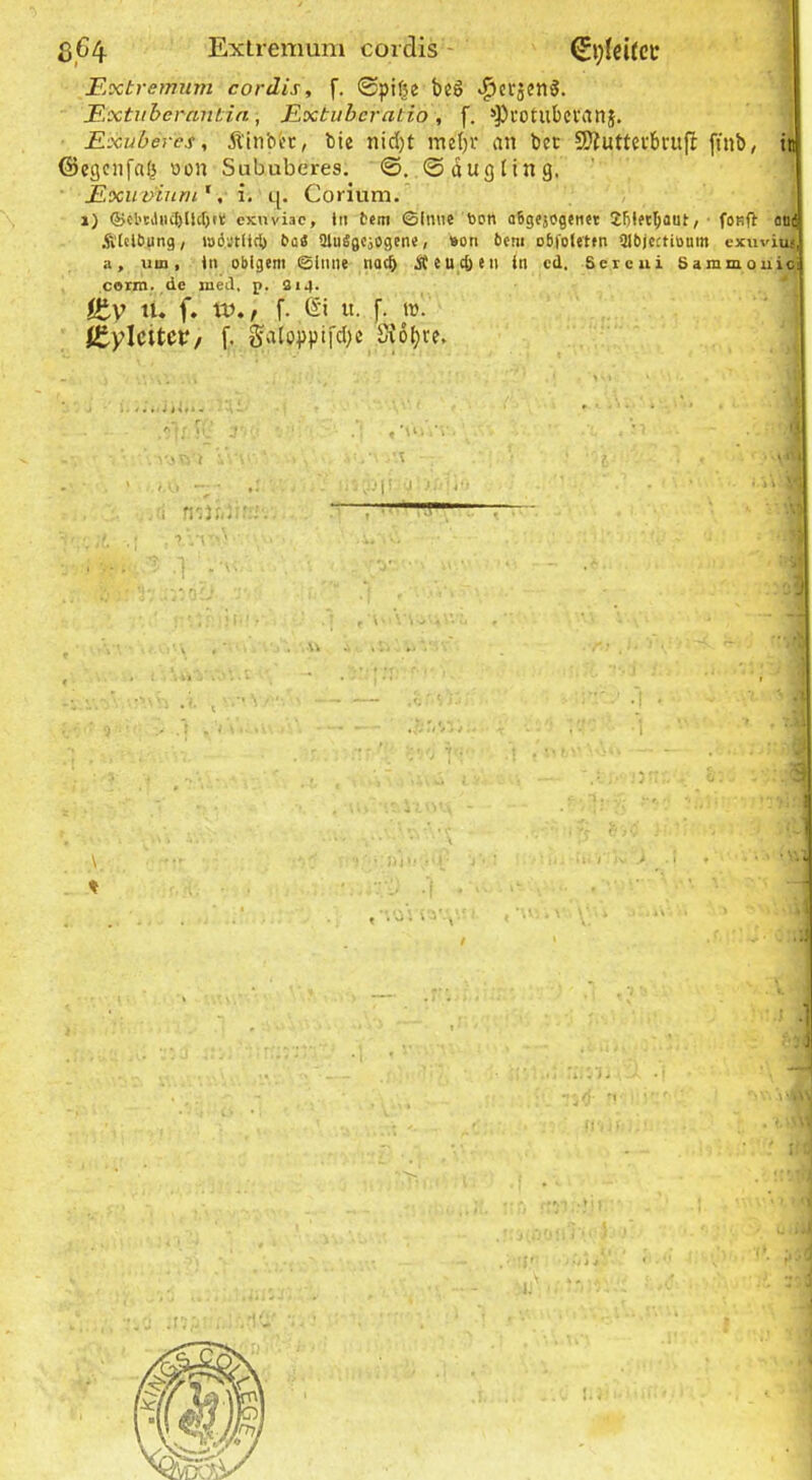 ß64 Extremum cordis 0;feUct Extremum cordis, f. 0pifje bcö »^crjenS. Extubcrantin, Extuberatio , f. ^’^rotubevanj. Exuberes, Äitibi’c, bte nid)t mel)r an bet SPiuttci'brufl finb, tu ©egenfab oon Sububeres. ©, @aug(ing. Exumurn', i. q. Corium. ; 1) ®cl'CilH(I)llc[)tt; cxnviac, Iti tem ©Imie bon o6gejogen«t • foRfl oti(| Ävtclbung, wöstlicfe bo« üluSgcjogen«, »on bem obfoletfii Qlbjcctiüum cxnvius a, um, in obigem ©iiine nac^ ^eucOeti in cd, Seicui Sammouici ftv li. f. tv./ f. u. f. IV. itylcitCV/ f, gatoppifebe Svo^re. corm. de xued. p. 314. M . J U .7 II » f' f I