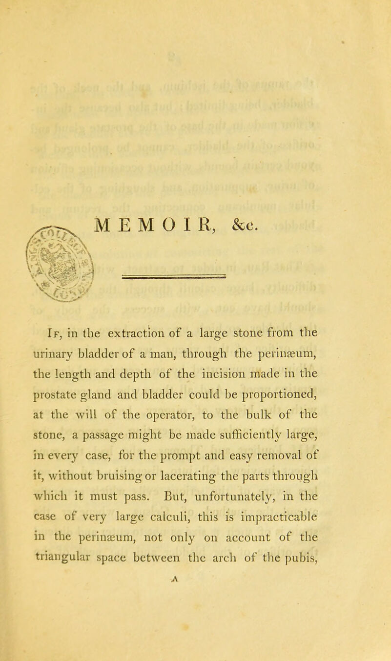 MEMOIR, &c. If, in the extraction of a large stone from the urinary bladder of a man, through the perinaeum, the length and depth of the incision made in the prostate gland and bladder could be proportioned, at the will of the operator, to the bulk of the stone, a passage might be made sufficiently large, in every case, for the prompt and easy removal of it, without bruising or lacerating the parts through which it must pass. But, unfortunately, in the case of very large calculi, this is impracticable in the perinaeum, not only on account of the triangular space between the arch of the pubis, A