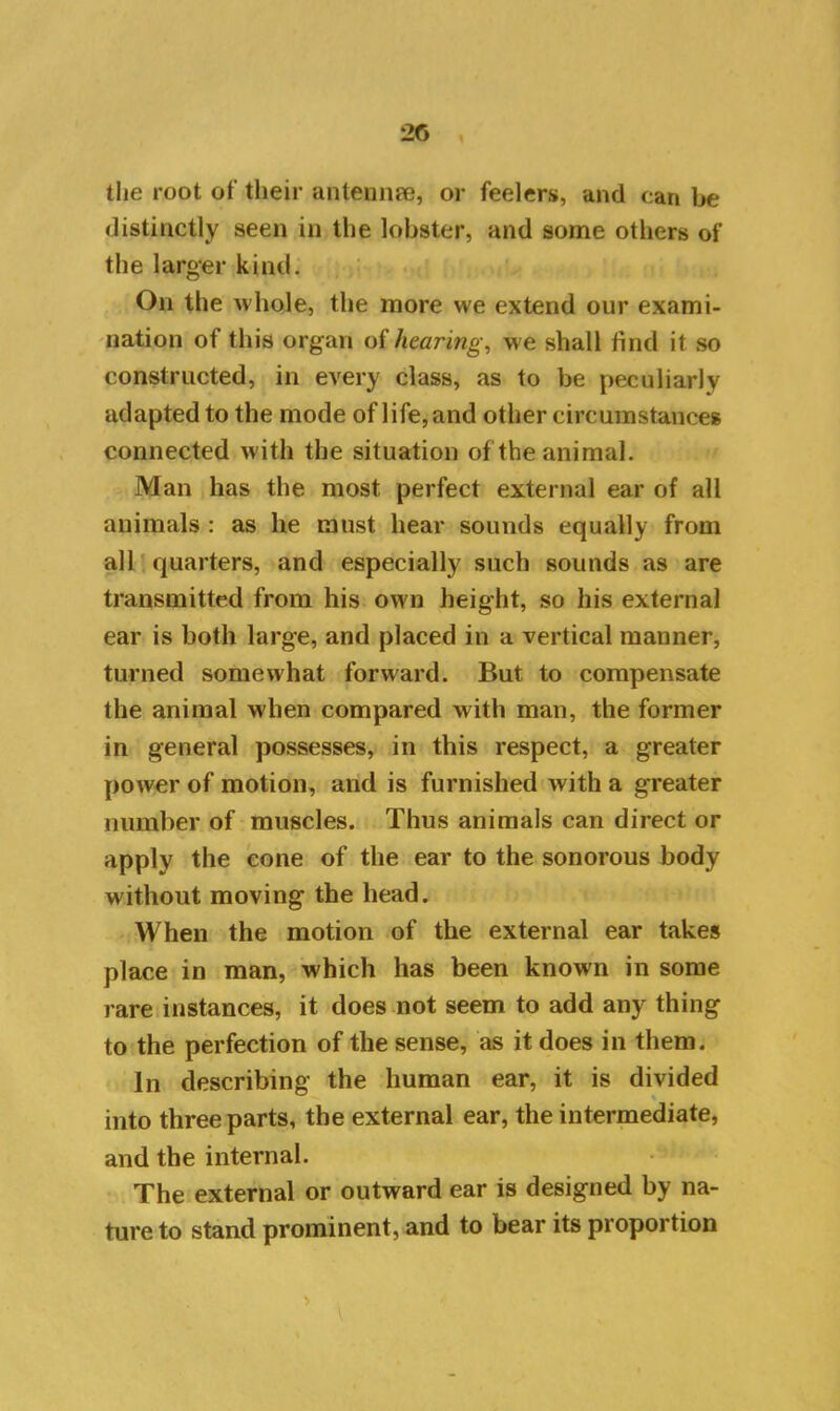 the root of their antennas, or feelers, and can be distinctly seen in the lobster, and some others of the larger kind. On the whole, the more we extend our exami- nation of this organ of hearing, we shall find it so constructed, in every class, as to be peculiarly adapted to the mode of life, and other circumstances connected with the situation of the animal. Man has the most perfect external ear of all animals : as lie must hear sounds equally from all quarters, and especially such sounds as are transmitted from his own height, so his external ear is both large, and placed in a vertical manner, turned somewhat forward. But to compensate the animal when compared with man, the former in general possesses, in this respect, a greater power of motion, and is furnished with a greater number of muscles. Thus animals can direct or apply the cone of the ear to the sonorous body without moving the head. When the motion of the external ear takes place in man, which has been known in some rare instances, it does not seem to add any thing to the perfection of the sense, as it does in them. In describing the human ear, it is divided into three parts, the external ear, the intermediate, and the internal. The external or outward ear is designed by na- ture to stand prominent, and to bear its proportion > \