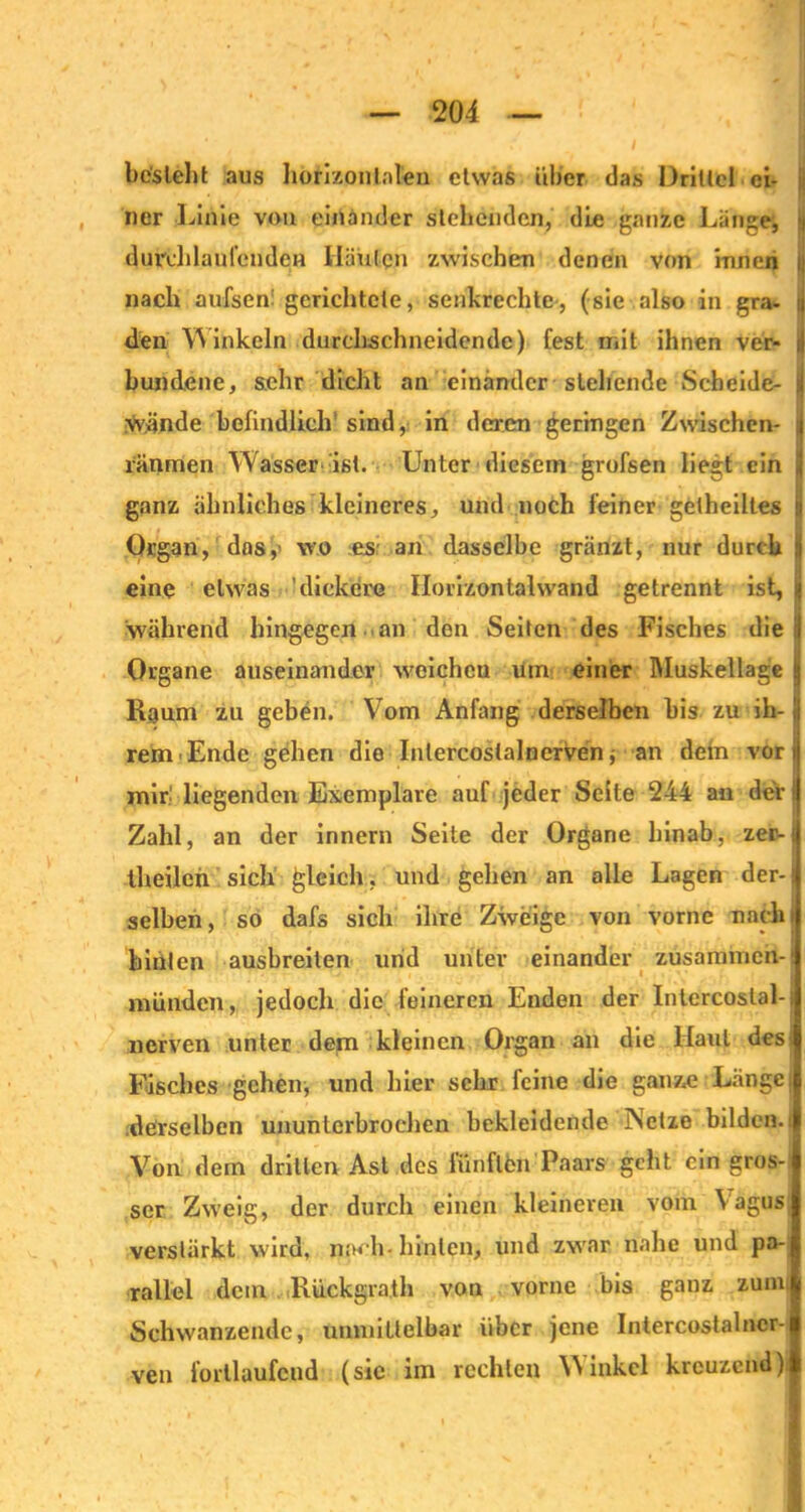 besieht aus horizontalen etwas über das Drittel ei- ner Linie von einander stehenden, die ganze Länge, l| durchlaufenden Häuten zwischen denen von innen i nach aufeen: gerichtete, senkrechte, (sie also in gra- ij dien Winkeln durchschneidende) fest mit ihnen ver- i| bundene, sehr dicht an einander stehende Scheide- ii wände befindlich' sind, in deren geringen Zwischen- i| ränmen Wasser ist. Unter diesem grofsen liegt ein ij ganz ähnliches kleineres, und noch feiner getheiltes i) Organ, das,1 wo es' an dasselbe gränzt, nur durch ij eine etwas ' dickere Horizontalwand getrennt ist, ij während hingegen an den Seiten des Fisches die \ Organe auseinander weichen um einer Muskellage !j Raum zu geben. Vom Anfang derselben bis zu ih- ij rem Ende gehen dio InlercoslalncrVen j an dem vor j miri liegenden Exemplare auf jeder Seite 244 an der! Zahl, an der innern Seite der Organe hinab, zer-1 theileii sich gleich, und gehen an alle Lagen der-! selben, so dafs sich ihre Zweige von vorne nach! hinten ausbreiten und unter einander zusammen-! münden, jedoch die feineren Enden der Intercoslal-i nerven unter dem kleinen Organ an die Haut des Fisches gehen, und hier sehr feine die ganze Langel derselben ununterbrochen bekleidende INetze bilden.! Von dem dritten Ast des fünften Paars geht ein gros- ser Zweig, der durch einen kleineren vom Vagus verstärkt wird, noch-hinten, und zwar nahe und pa- rallel dein . Rückgrath von vorne bis ganz zum Schwänzende, unmittelbar über jene Intercostalncr-j ven fortlaufend (sic im rechten Winkel kreuzend)l .* ’ i