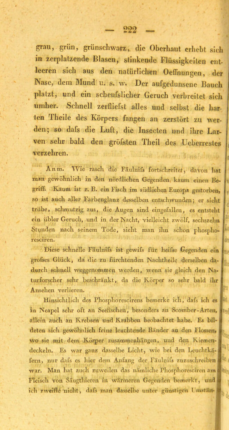 grau, grün, grünschwarz, die Oberhaut erhebt sich in zerplatzende Blasen, stinkende Flüssigkeiten ent- leeren sich aus den natürlichen Oeflhungen, der Nase, dem Mund u. s. w. Der aufgedunsene Bauch platzt, und ein scheufslicher Geruch verbreitet sich umher. Schnell zerfliefst alles und selbst die har len Theile des Körpers fangen an zerstört zu wer- den; so dafs die Luft, die Insecten und ihre Lar- I ven sehr bald den gröbsten Theil des Ueberresles verzehren. Anm. Wie rasch die Fäulnifs fortschreitet, davon hat man gewöhnlich in den nördlichen Gegenden, kaum einen Be- \ grifl'. Kaum ist z. B. ein Fisch im südlichen Europa gestorben, v so ist auch aller Farbenglanz desselben entschwunden; er sicht trübe, schmutzig aus, die Augen sind eingefallen, cs entstellt ein übler Geruch, und in der Nacht, vielleicht zwölf, sechszehn Stunden nach seinem Tode, sieht man ihn schon phospho- rcsciren. Diese schnelle Fäulnifs ist gewifs für heifse Gegenden ein grofses Glück, da die zu fürchtenden Nachtheile derselben da- durch schnell weggenommen werden, wenn sie gleich den Na turforscher sehr beschränkt, da die Körper so sehr bald ihr Ansehen verlieren. Hinsichtlich des Phosphorescirens bemerke ich, dafs ich cs in Neapel sehr oft an Seefischen, besonders au Scombcr-Arten, allein auch an Krebsen und Krabben beobachtet habe. Es bil- deten sich gewöhnlich feine leuchtende Bänder an den Flossen, Wo sie mit dem Körper Zusammenhängen, und den Kiemcn- deckeln. Es war ganz dasselbe Licht, wie bei den Leuchtkä- fern, nur dafs cs hier dem Anfang der Fäulnifs zuzuschreiben war. Man hat auch zuweilen das nämliche Phosplioresciren am Fleisch von Säugthicrcn in wärmeren Gegenden bemerkt, und ich zweifle niclit, dafs man dasselbe unter günstigen I mstän- « Pl? Pli Jen Bit *eni