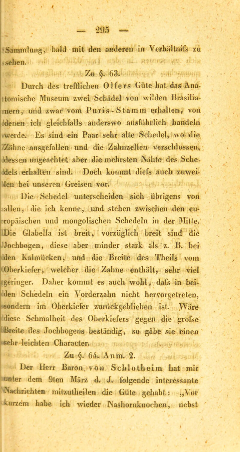 •V ’ . ; ' ' ' •' . ' - '• — -21)5 — | . •. J •Sammlung, bald mit den anderen in Verliällnifs zu sehen.  Zu §. 63. Durch des trefflichen 01 fers Güte hat das Ana- tomische Museum zwei Schädel vou wilden Brasilia- nern, und zwar vom Puris -Stamm erhallen , vou denen ich gleichfalls anderswo ausführlich handeln werde. Es sind ein Paar sehr alte Schedel, wo die Zähne ausgefallen und die Zahnzelien verschlossen, • dessen ungeachtet aber die mehrsten Nähte des Sche- dels erhalten sind. Dofch kommt diefs auch zuwei- len bei unseren Greisen vor. Die Schedel unterscheiden sich übrigens von allen, die ich kenne, und stehen zwischen den eu- ropäischen und mongolischen Schedein in der Mille. Die Glabella ist breit, vorzüglich breit sind die Jochbogen, diese aber minder stark als z. B. bei den Kalmücken, und die Breite des Theils vom Oberkiefer, welcher die Zahne enthält, sehr viel geringer. Daher kommt es auch wohl, dafs in bei- p den Schedein ein Vorderzahn nicht hervonjetreten, : sondern im Oberkiefer zurückgeblieben ist. ^VVare diese Schmalheit des Oberkiefers gegen die grofse Breite des Jochbogens beständig, so gäbe sie einen sehr leichten Character. . Zu §. 64. Anm. 2. Der Herr Baron, von Schlotheim hat mir unter dem 9len März d. J. folgende interessante Nachrichten milzulheilen die Güte gehabt: „Vor kurzem habe ich wieder Nashornknochen, nebst #