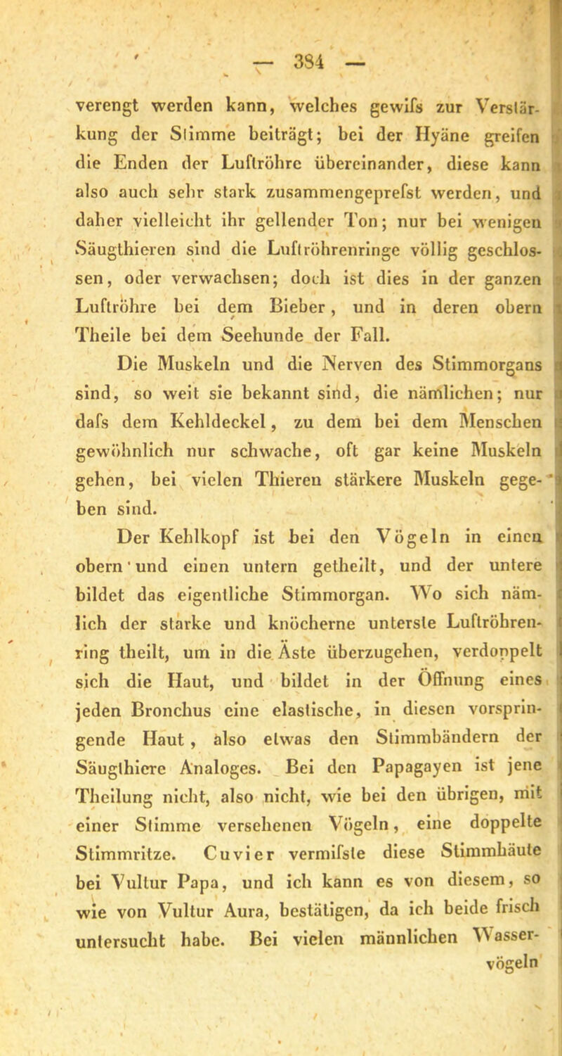 verengt werden kann, welches gewifs zur Verstär- kung der Stimme beiträgt; bei der Hyäne greifen die Enden der Luftröhre übereinander, diese kann also auch sehr stark zusammengeprefst werden, und daher vielleicht ihr gellender Ton; nur bei wenigen Säugtbieren sind die Luftröhrenringe völlig geschlos- sen, oder verwachsen; doch ist dies in der ganzen Luftröhre bei dem Bieber, und in deren obern Theile bei dem Seehunde der Fall. Die Muskeln und die Nerven des Stimmorgans sind, so weit sie bekannt sind, die nämlichen; nur dafs dem Kehldeckel, zu dem bei dem Menschen i: gewöhnlich nur schwache, oft gar keine Muskeln i gehen, bei vielen Thiereu stärkere Muskeln gege- * ben sind. Der Keblkopf ist bei den Vögeln in einen obern ‘ und einen untern getheilt, und der untere bildet das eigentliche Stimmorgan. Wo sich näm- lich der starke und knöcherne unterste Luftröhren- ring theilt, um in die Äste überzugehen, verdoppelt sich die Haut, und bildet in der Öffnung eines jeden Bronchus eine elastische, in diesen vorsprin- gende Haut , also etwas den Stimmbändern der Säuglhiere Analoges. Bei den Papagayen ist jene Theilung nicht, also nicht, wie bei den übrigen, mit einer Stimme versehenen Vögeln, eine doppelte Stimmritze. Cu vier vermifste diese Stimmbäule bei Vullur Papa, und ich kann es von diesem, so wie von Vultur Aura, bestätigen, da ich beide frisch untersucht habe. Bei vielen männlichen Wasser- vögeln /