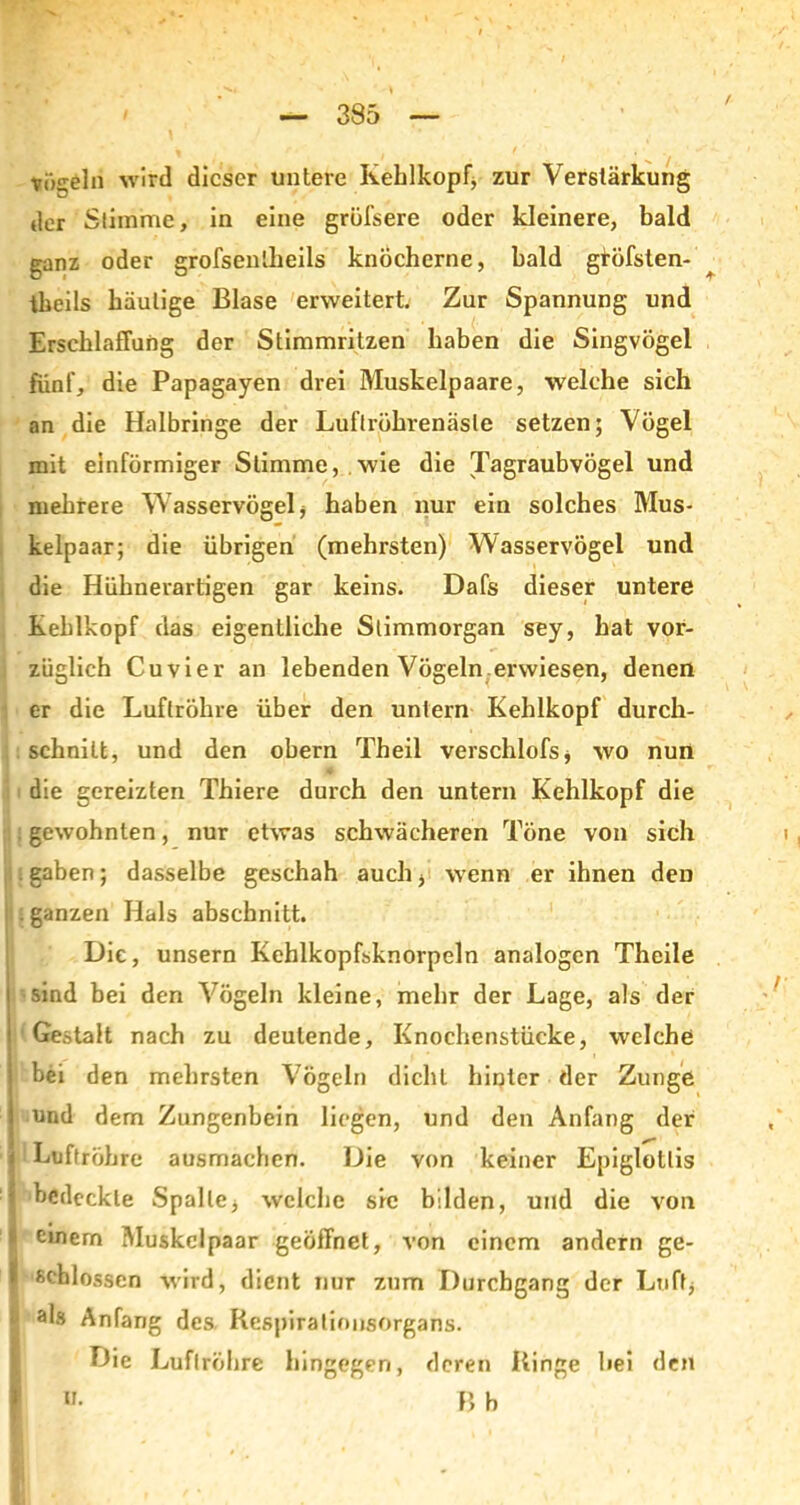 / vüseln wird dieser untere Kehlkopf, zur Verstärkung der Stimme, in eine grüfsere oder kleinere, bald ganz oder grofsenlheils knöcherne, bald gtöfsten- ^ theils häutige Blase erweitert. Zur Spannung und Erschlaffung der Stimmritzen haben die Singvögel fünf, die Papagayen drei Muskelpaare, welche sich an die Halbringe der Luflröhrenäsle setzen; Vögel mit einförmiger Stimme, wie die Tagraubvögel und mehrere Wasservögel, haben nur ein solches Mus- kelpaar; die übrigen (mehrsten) Wasservögel und die Hühnerartigen gar keins. Dafs dieser untere Kehlkopf das eigentliche Stimmorgan sey, hat vor- züglich Cuvier an lebenden Vögeln erwiesen, denen er die Luftröhre über den untern Kehlkopf durch- schnitt, und den obern Theil verschlofs, wo nun die gereizten Thiere durch den untern Kehlkopf die . gewohnten, nur etwas schwächeren Töne von sich . gaben; dasselbe geschah auch, wenn er ihnen den . ganzen Hals abschnitt. Die, unsern Kehlkopfsknorpeln analogen Theile sind bei den Vögeln kleine, mehr der Lage, als der Gestalt nach zu deutende, Knochenstücke, welche bei den mehrsten Vögeln dicht hinter der Zunge und dem Zungenbein liegen, und den Anfang der Luftröhre ausmachen. Die von keiner Epiglottis 1 bedeckte Spalte, welche sie bilden, und die von einem Muskel paar geöffnet, von einem andern ge- I schlossen wird, dient nur zum Durchgang der Luft, «*ls Anfang des Respirationsorgans. Die Luftröhre hingegen, deren Ringe hei den »• B b