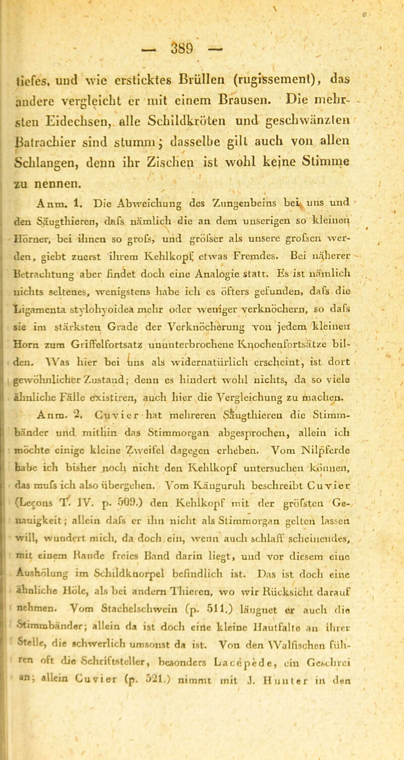 tiefes, und wie ersticktes Brüllen (rugissemenl), das andere vergleicht er mit einem Brausen. Die mehr- sten Eidechsen, alle Schildkröten und geschwänzten Batrachier sind stumm j dasselbe gilt auch von allen Schlangen, denn ihr Zischen ist wohl kejne Stimme zu nennen. Anm. 1. Die Abweichung des Zungenbeins bei; uns und den Sfiugthicren, dnfs nämlich die an dem unserigen so kleinen, i Hörner, bei ihnen so groß?, und gröfser als unsere grofsen wer- den, giebt zuerst ihrem Kehlkopf etwas Fremdes. Bei näherer Betrachtung aber findet doch eine Analogie statt. Es ist nämlich j nichts seltenes, wenigstens habe ich cs öfters gefunden, dafs die Ligamenta stylohyoidea mehr oder weniger verknöchern, so dafs sie im stärksten Grade der Verknöcherung von jedem kleinen I Horn zum Griffelfortsatz ununterbrochene IvnochenlhrLsätze bil- ! den. Was hier bei hns als widernatürlich erscheint, ist dort '! gewöhnlicher Zustand; denn es hindert wohl nichts, da so viele I ähnliche Fälle existiren, auch liier die Vergleichung zu machen. Anm. 2. Cuvier hat mehreren S&ugthiereu die Stimm- bänder und mithin das Stimmorgan abgesprochen, allein ich i möchte einige kleine Zweifel dagegen erheben. Vom ^Nilpferde habe ich bisher noch nicht den Kehlkopf untersuchen können, das mufs ich also übergehen. Vom Känguruh beschreibt Cuvier I (Lecons T. IV. p. 509.) den Kehlkopf mit der gröfsten Ge- 1 uauigkeit; allein dafs er ihn nicht als Stimmorgan gelten lassen ' will, wundert mich, da doch ein, wenn auch schlaff scheinendes, mit einem Bande freies Band darin liegt, und vor diesem eine Aushölung im Schildknorpel befindlich ist. Das ist doch eine } ähnliche Hölc, als hei andern Thicrcn, wo wir Rücksicht darauf I nehmen. Vom Stachelschwein Cp. 511.) läuguet er auch die Stimmbänder; allein da ist doch eitle kleine Hautfalto an ihrer Stelle, die schwerlich umsonst da ist. Von den ^Vülfischcn fiih- E ren oft die Schriftsteller, besonders Lacnpedc, ein Geschrei an, allein Cuvier (p. 521.) nimmt mit J. Hunter in den