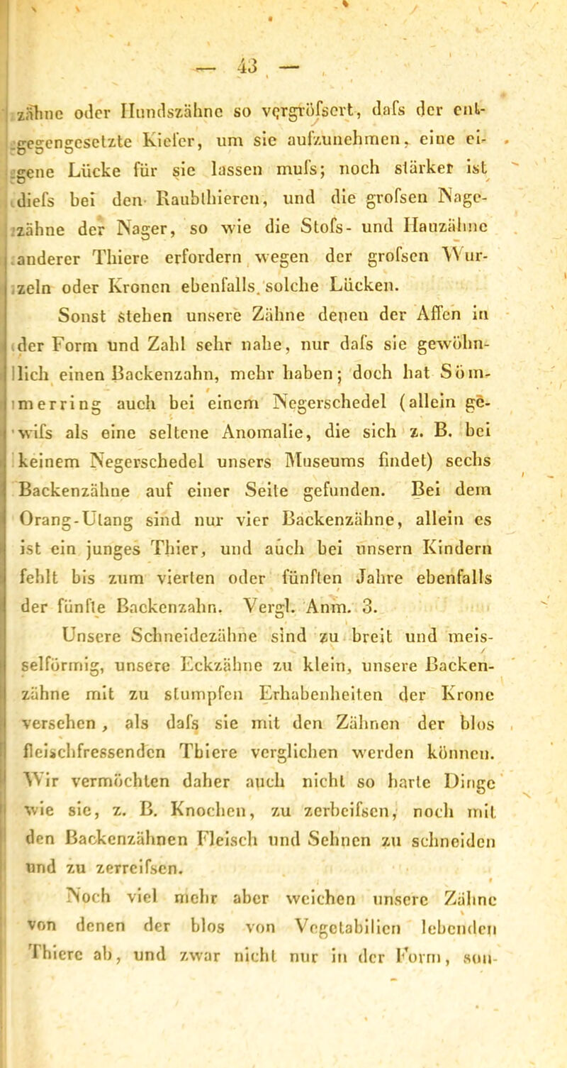 zahne oder Hundszähne so vQrgtöfsert, dafs der cnl- .gegengesetzte Kieler, um sie aufzunehmen, eine ei- gene Lücke für sie lassen mufs; noch stärker ist diefs bei den- Raubthieren, und die grofsen Nagc- zähne der Nager, so wie die Stofs- und Hauzähnc anderer Thiere erfordern wegen der grofsen W ur- zeln oder Kronen ebenfalls, solche Lücken. Sonst stehen unsere Zähne denen der Affen in der Form und Zahl sehr nahe, nur dafs sie gewöhn- llich einen Backenzahn, mehr haben; doch hat Stirn- im erring auch bei einem Negerschedel (allein ge- wifs als eine seltene Anomalie, die sich z. B. bei keinem Negerschedel unsers Museums findet) sechs Backenzähne auf einer Seite gefunden. Bei dem Orang-Utang sind nur vier Backenzähne, allein cs ist ein junges Thier, und auch bei unsern Kindern fehlt bis zum vierten oder fünften Jahre ebenfalls der fünfte Backenzahn. Vergl. Anm. 3. Unsere Schneidezähne sind zu breit und meis- seiförmig, unsere Eckzähne zu klein, unsere Backen- zähne mit zu stumpfen Erhabenheiten der Krone versehen , als dafs sie mit den Zähnen der blos fleischfressenden Thiere verglichen werden können. Wir vermöchten daher auch nicht so harte Dinge wie sie, z. B. Knochen, zu zerbeifsen, noch mit den Backenzähnen Fleisch und Sehnen zu schneiden und zu zerrcifsen. 'I * Noch viel mehr aber weichen unsere Zähne » \ von denen der blos von Vegctabilien lebenden Thiere ah, und zwar nicht nur in der Form, suu-