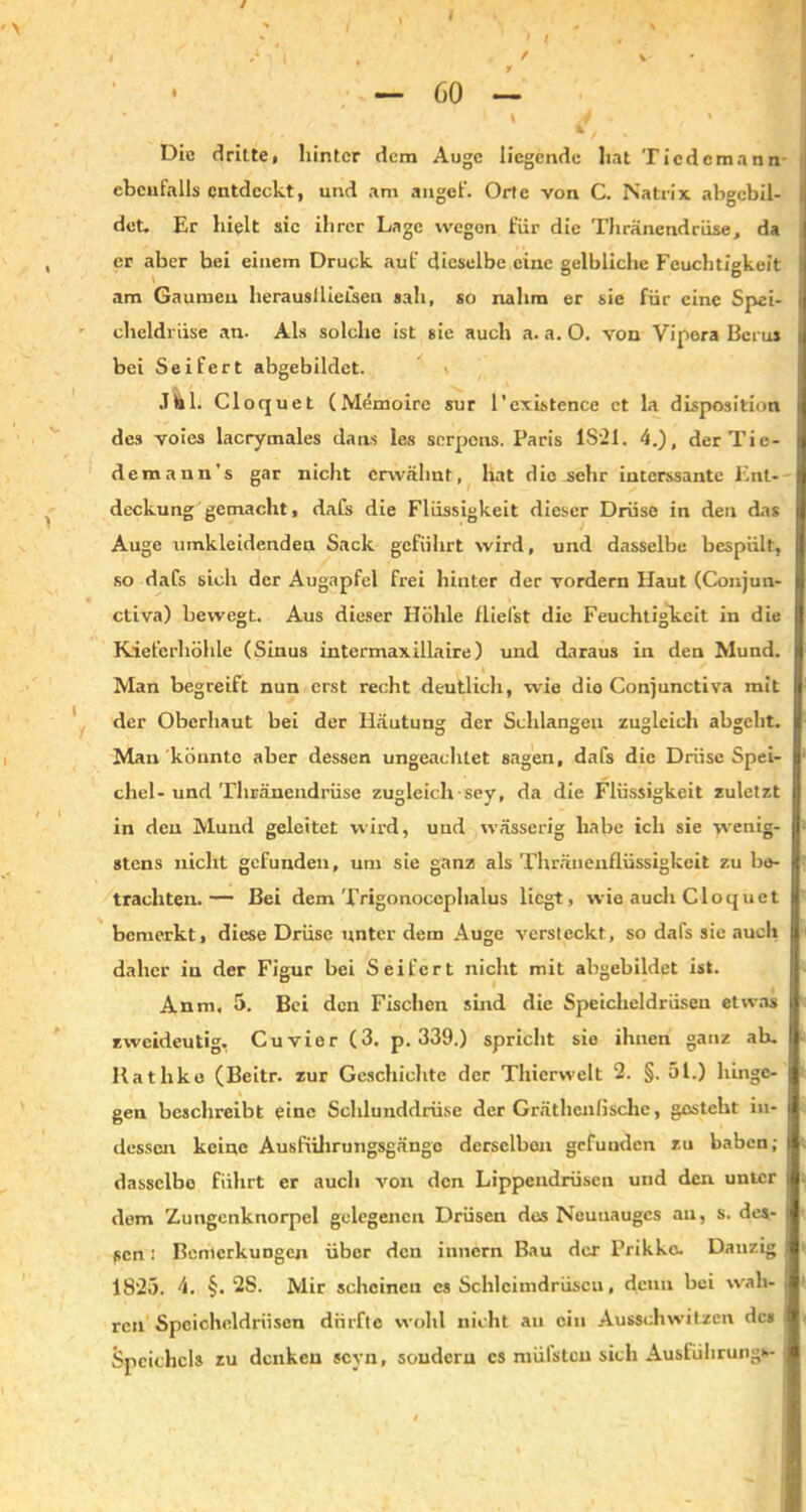 Die drittel hinter dem Auge liegende hat Tiedemann ebenfalls entdeckt, und am angef. Orte von C. Natrix abgcbil- i det. Er hielt sic ihrer Lage wegen für die Thränendrüse, da er aber bei einem Druck auf dieselbe eine gelbliche Feuchtigkeit ■ ' i . ° 6 am Gaumen herauslliefsen sah, so nahm er sie für eine Spei- i cheldrüse an. Als solche ist sie auch a. a. O. von Vipera Berus i bei Seifert abgebildet. .Tbl. Cloquet (Memoire sur l’existence et la disposition des voies lacrymales da ns les serpens. Paris 1S‘21. 4.), derTie- demann’s gar nicht erwähnt, hat die sehr interssantc Ent- deckung gemacht, dafs die Flüssigkeit dieser Drüse in den das Auge umkleidenden Sack geführt wird, und dasselbe bespült, so dafs sich der Augapfel frei hinter der vordem Haut (Conjun- ctiva) bewegt. Aus dieser Höhle (liefst die Feuchtigkeit in die Kieferhöhle (Sinus intermaxillaire) und daraus in den Mund. Man begreift nun erst recht deutlich, wie die Conjunctiva mit der Oberhaut bei der Häutung der Schlangen zugleich abgeht. Man könnte aber dessen ungeachtet sagen, dafs die Drüse Spei- chel-und Thränendrüse zugleich sey, da die Flüssigkeit zuletzt in den Mund geleitet wird, uud wässerig habe ich sie wenig- stens nicht gefunden, um sie ganz als Thräuenflüssigkeit zu be- trachten.— Bei dem Trigonoccphalus liegt, wie auch Cloquet bemerkt, diese Drüse unter dem Auge versteckt, so dafs sie auch daher in der Figur bei Seifert nicht mit abgebildet ist. Anra, 5. Bei den Fischen sind die Speicheldrüsen etwas zweideutig, Cuvier (3. p. 339.) spricht sie ihnen ganz ab. Katlike (Beitr. zur Geschichte der Thierwelt 2. §. 51.) hinge- gen beschreibt eine Schlunddriise der Gräthenfische, gestellt in- dessen keine Ausfiihrungsgängo derselben gefuudcn zu haben; dasselbe führt er auch von den Lippendrüsen und den unter t dem Zungenknorpel gelegenen Drüsen des Neunauges an, s. des- I fsen: Bemerkungen über den innern Bau der Prikko. Dauzig I 1825. 4. §. 2S. Mir scheinen es Schleimdrüsen, denn bei wall- , ren Speicheldrüsen dürfte wohl nicht an ein Ausschwitzen des Speichels zu denken scyn, souderu cs müfstcu sich Ausführung*- j