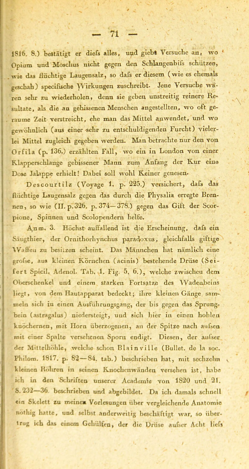 1 — 71 — 1S16. 8.) bestätigt er diefs alles, uud gicbt Versuche an, wo 1 Opium und Moschus nicht gegen den Schlangcnbiis schützen, wie das flüchtige Laugensalz, so dafs er diesem (wie es ehemals geschah) specifische Wirkungen zuschreibt. Jene Versuche wä- ren sehr zu wiederholen, denn sie geben unstreitig reinere Re- sultate, als die an gebissenen Menschen angestellten, wo oft ge- raume Zeit verstreicht, ehe man das Mittel anwendet, und wo gewöhnlich (aus einer -sehr zu entschuldigenden Furcht) vieler- lei Mittel zugleich gegeben werden. Man betrachte nur den von Orfila (p. 136.) erzählten Fall, wo ein in London von einer Klapperschlange gebissener Mann zum Anfang der Kur eine Dose Jalappe erhielt! Dabei soll wohl Keiner genesen. Descourtilz (Voyage 1. p. 225.) versichert, dafs das flüchtige Laugensalz gegen das durch die Physalia erregte Bren- nen, so wie (II. p.326. p. 374—378.) gegen das Gift der Scor- pione, Spinnen und Scolopendern helfe. A.nm, 3. Höchst auffallend ist die Erscheinung, dafs ein Säugthier, der Ornithorhynchus paradoxus, gleichfalls giftige I Waffen zu besitzen scheint. Das Männchen hat nämlich eine grofse, aus kleinen Körnchen (acinis) bestehende Drüse (Sei- fert Spicil, Adenol. Tab, 1. Fig. 5, 6.), w'elclie zwischcu dem Oberschenkel und einem starken Fortsatze des ^Vadenbeins liegt, von dem Hautapparat bedeckt; ihre kleinen Gänge sam- meln sich in einen Ausführungsgang, der bis gegen das Sprung- bein (astragalus) niedersteigt, uud sich hier in einen hohlen knöchernen, mit Horn überzogenen, an der Spitze nach aufsen mit einer Spalte versehenen Sporn endigt. Diesen, der aufser der Mittelhöhle, welche schon Blain ville (Bullet, de la soc. Philom. 1817. p. 82 — 84. tab.) beschrieben hat, mit sechzehn v kleinen Röhren in seinen Knochenwänden versehen ist, habe ich in den Schriften unserer Academie von 1S20 und 21. S. 232—36 beschrieben und abgebildet. Da ich damals schnell ein Skelett zu meinem Vorlesungen über vergleichende Anatomie nöthig hatte, und selbst anderweitig beschäftigt war, so über- trug ich das einem Gchülfen, der die Driiso aufser Acht liefs