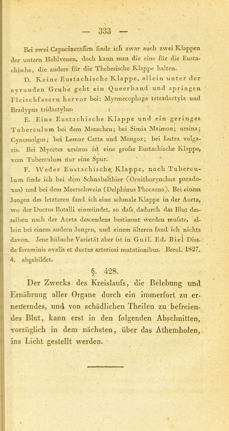 ooo OOt> Bei zwei Capucincraffen linde iclx zwar auch zwei Klappen der untern Hohlvenen, doch kann man die eine für die Eusta- chische, die andere für die Thebesische Klappe halten. D. Keine Eustachische Klappe, allein unter der ermüden Grube geht ein Queerband und springen Fleischfasern hervor bei: Myrmecophaga tetradactyla und Bradypus tridactylusi I E. Eine Eustachische Klappe und ein geringes \ Tuberculum bei dem Menschen; bei Simia Maimon; ursina; Cynomolgus; bei Lemur Catta und Mongoz; bei Lutra vulga- ris. Bei Mycetes ursinus ist eine grofse Eustachische Klappe, vom Tuberculum liur eine Spur. F. AVeder Eustachische, Klappe, noch Tubercu- lum finde ich bei dem Schnabelthier (OrnithorynchuS parado- :x.us) und bei dem Meerschwein (Delphinus Phocaena). Bei einem Jungen des letzteren fand ich eine schmale Klappe in der Aorta, wo der Ductus Botalli einmündet, so dafs. dadurch das Blut des- selben nach der Aorta descendens bestimmt werden mufste, al- lein bei einem andern Jungen, und einem älteren fand ich nichts davon. Jene hübsche Varietät aber ist in Guil. Ed. Biel Diss. de foraminis ovalis et ductus arteriosi mutationibus. Berol. 1827. 4. abgebildet. §. 428. Der Zwecks des Kreislaufs, die Belebung und Ernährung aller Organe durch ein immerfort zu er- neuerndes, und von schädlichen Theilen zu befreien- des Blut, kann erst in den folgenden Abschnitten, vorzüglich in dem nächsten, über das Athemholen, ins Licht gestellt werden.