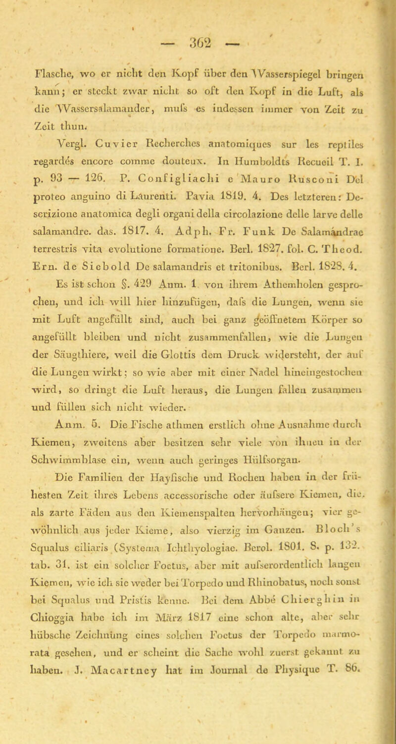 — 362 — / Flasche, wo er nicht den Ivopf über den Wasserspiegel bringen kann; er steckt zwar nicht so oft den Kopf in die Luft, als die 'Wassersalamander, muls es indessen immer von Zeit zu Zeit thun. Vergl. Cu vier Reclierches anatomiques sur les repliles regardes encore comme douteux. In Humboldts Recueil T. I. p. 93 — 126. P. Configliachi e Mauro Rusconi Del proteo anguino di Läurenti. Pavia 1S19. 4. Des letzteren: De- serizione anatomica degli organidella circolazione dclle larve delle salamandre. das. IS 17. 4. Adpli. Fr. Funk De Salamandrae terrestris vita evolutione formatione. Berl. 1S27. fol. C. Theod. Ern. de Sieb old De salamandris et tritonibus. Berl. 1S28. 4. Es ist schon §. 429 Anm. 1, von ihrem Athemholen gespro- chen, und ich will hier hinzufügen, dafs die Lungen, wenn sie mit Luft angefüllt sind, auch bei ganz geöffnetem Körper so angefüllt bleiben und nicht zusammenfalleu, wie die Lungen der Säuglhiere, weil die Glottis dom Druck widersteht, der auf die Lungen wirkt; sowie aber mit einer Nadel hineingestocheu wird, so dringt die Luft heraus, die Lungen fallen zusammen und füllen sich nicht wieder. Anm. 5. Die Fische athmen erstlich ohne Ausnahme durch Kiemen, zweitens aber besitzen sehr viele von ihneu in der Schwimmblase ein, wenn auch geringes flülfsorgan. Die Familien der Haylische und Rochen haben in der frü- hesten Zeit ihres Lebens accessorische oder äufsere Kiemen, die, als zarte Fäden aus den Kiemenspalten hervorhängen; vier ge- wöhnlich aus jeder Kieme, also vierzig im Ganzen. Bloch s Squalus ciliaris (Systema Ichtlryologiae. Bcrol. 1S01. S. p. 132. tab. 31. ist ein solcher Foetus, aber mit aufserordentlich langen Kiemen, wie ich sic weder bei Torpedo und Rhinobatus, noch sonsL bei Squalus und Pristis kenne. Bei dem Abbe Chierghin in Chioggia habe ich im März 1S17 eine schon alte, aber sehr hübsche Zeichnung eines solchen Foetus der Torpedo marmo- rata gesehen, und er scheint die Sache wohl zuerst gekannt zu haben. J. Macartney hat im Journal de Physiquc T. 86.