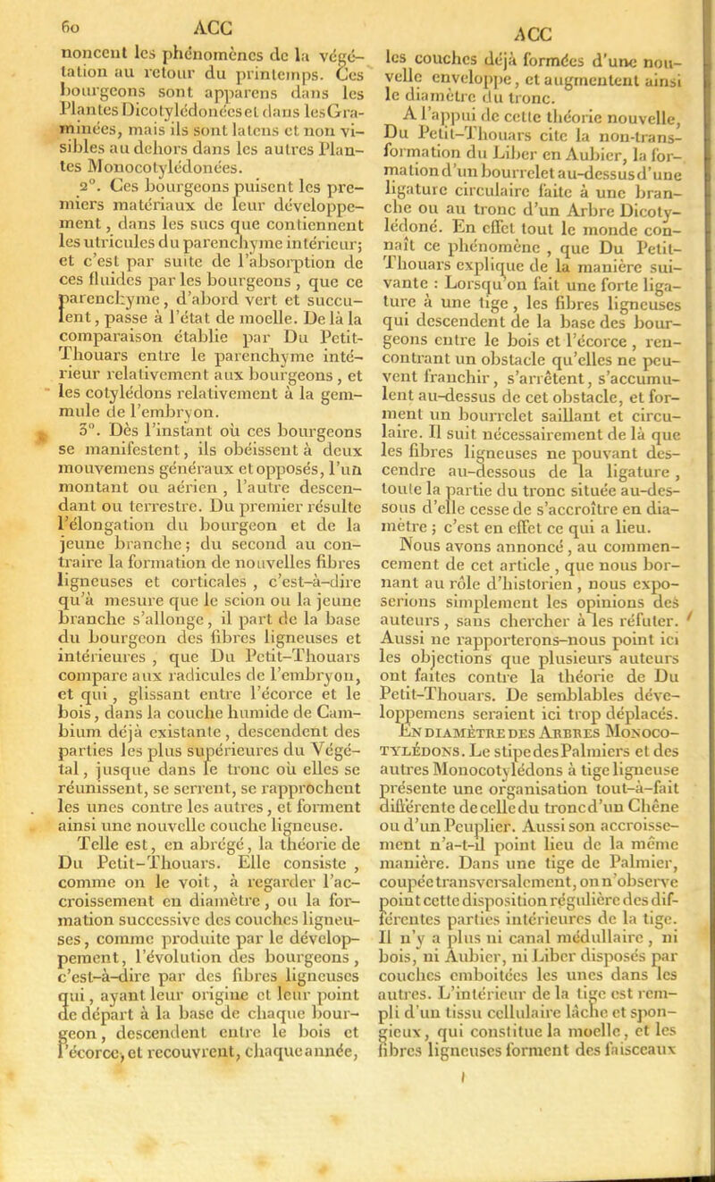 nonccnt les phénomènes clc la végé- tation au retour du printemps. Ces bourgeons sont apparens dans les Plantes Dicotylédonécsel dans lesGra- minées, mais ils sont latcns et non vi- sibles au dehors dans les autres Plan- tes Monocotylédonées. 2°. Ces bourgeons puisent les pre- miers matériaux de leur développe- ment , dans les sucs que contiennent les utricules du parenchyme intérieur; et c’est par suite de l’absorption de ces fluides parles bourgeons , que ce Ïiarenchyme, d’abord vert et succu- ent, passe à l’état de moelle. De là la comparaison établie par Du Petit- Thouars entre le parenchyme inté- rieur relativement aux bourgeons, et les cotylédons relativement à la gem- mule de l’embryon, b 3°. Dès l’instant où ces bourgeons se manifestent, ils obéissent à deux mouvemens généraux et opposés, l’un montant ou aérien , l’autre descen- dant ou terrestre. Du premier résulte l’élongation du bourgeon et de la jeune branche ; du second au con- traire la formation de nouvelles fibres ligneuses et corticales , c’est-à-dire qu’à mesure que le scion ou la jeune branche s’allonge, il part de la base du bourgeon des fibres ligneuses et intérieures , que Du Petit-Thouars compare aux radicules de l’embryon, et qui, glissant entre l’écorce et le bois, dans la couche humide de Cam- bium déjà existante , descendent des parties les plus supérieures du Végé- tal, jusque dans le tronc où elles se réunissent, se serrent, se rapprochent les unes contre les autres, et forment ainsi une nouvelle couche ligneuse. Telle est, en abrégé, la théorie de Du Petit-Thouars. Elle consiste , comme on le voit, à regarder l’ac- croissement en diamètre, ou la for- mation successive des couches ligneu- ses , comme produite par le dévelop- pement, l’évolution des bourgeons, c’est-à-dire par des fibres ligneuses ui, ayant leur origine et leur point e départ à la base de chaque bour- geon , descendent entre le bois et écorce,et recouvrent, chaqueannée, ACC les couches déjà formées d’une non- vellc enveloppe, et augmentent ainsi [ le diamètre du tronc. A l appui de cette théorie nouvelle, Du Petit-Thouars cite la non-trans- formation du Liber en Aubier, la for- ma lion d’un bourrelet au-dessus d’une ligature circulaire faite à une bran- che ou au tronc d’un Arbre Dicoty- lédoné. En cITcl tout le monde con- naît ce phénomène , que Du Petit- Phouars explique de la manière sui- vante : Lorsqu on fait une forte liga- ture à une tige, les fibres ligneuses qui descendent de la base des bour- geons entre le bois et l’écorce , ren- contrant un obstacle qu’elles ne peu- vent franchir, s’arrêtent, s’accumu- lent au-dessus de cet obstacle, et for- ment un bourrelet saillant et circu- laire. Il suit nécessairement de là que les fibres ligneuses ne pouvant des- cendre au-dessous de la ligature, toute la partie du tronc située au-des- sous d’elle cesse de s’accroître en dia- mètre ; c’est en effet ce qui a lieu. Nous avons annoncé , au commen- cement de cet article , que nous bor- nant au rôle d’historien , nous expo- serions simplement les opinions deâ auteurs , sans chercher à les réfuter. 1 Aussi ne rapporterons-nous point ici les objections que plusieurs auteurs ont faites contre la théorie de Du Petit-Thouars. De semblables déve- loppemens seraient ici trop déplacés. En diamètre des Arbres Monoco- tylédons. Le stipedesPalmiers et des autres Monocotylédons à tige ligneuse présente une organisation tout-à-fait différente decelledu troned’un Chêne ou d’un Peuplier. Aussi son accroisse- ment n’a-t-d point lieu de la même manière. Dans une tige de Palmier, coupée transversalement, on n’observe point cette disposition régulière des dif- férentes parties intérieures de la tige. Il n’y a plus ni canal médullaire , ni bois, ni Aubier, ni Liber disposés par couches emboîtées les unes dans les autres. L’intérieur de la tige est rem- pli d’un tissu cellulaire lâche et spon- gieux, qui constitue la moelle, et les libres ligneuses forment des faisceaux »