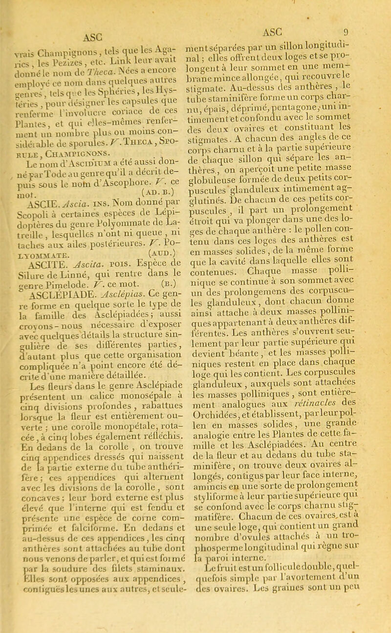 I ASC vrais Champignons, tels que les Aga- rics , les Pezizes , etc. Link leur avait donné le nom de Theca. Nées a encore employé ce nom dans quelques autres «enres, tels qàe les Sphénes, les Hys- téries , pour désigner les capsules que renferme L'involucre coriace de ces Plantes, et qui elles-mêmes renier- aient un nombre plus ou moins con- sidéiaLlc de sporules. V. Theca , Spo- rvle, Champignons. Le nom d'AscumJM a été aussi don- \ ué par Tode au genre qu'il a décrit de- puis sous le nohi d'Ascopbore. F. ce mot. (ad. B.) ASCIE. Ascia. ins. Nom donne par Scopoli à certaines espèces de Lépi- doptères du genre Polyommate de La- treille , lesquelles n'out ni queue, ni taches aux ailes postérieures. V. Po- ITOIDIATE. (AUD.) ASCITE. Jscita. vois. Espèce de Silure de Linné, qui rentre dans le genre Pimelode. V- ce mot. (b.) ASCLÉPIADE. Asclépias. Ce gen- re forme en quelque sorte le type de la famille des à.sclépiadées ; aussi croyons-nous nécessaire d'exposer avec quelques détails la structure sin- gulière de ses différentes parties, d'autant plus que cette organisation compliquée n'a point encore été dé- crite d'une manière détaillée. Les fleurs dans le genre Asclépiade présentent un calice monosépale à cinq divisions profondes , rabattues lorsque la fleur est entièrement ou- verte ; une corolle monopétale, rota- cée, à cinq lobes également réfléchis. En dedans de la corolle , on trouve cinq appendices dressés qui naissent de la partie externe du tube authéri- fére ; ces appendices qui alternent avec les divisions de la corolle , sont concaves; leur bord externe est plus élevé que l'interne qui est fendu et présente une espèce de corne com- primée et falciforme. En dedans et au-dessus de ces appendices, les cinq anthères sont attachées au tube dont nous venons de parler, cl qui est foi mé par la soudure des filets staminaux. ÈiDes son», opposées aux appendices , conligues les unes aux autres, ctscule- ASC 9 ment séparées par un sillon longitudi- nal ; elles offrent deux loges et se pro- longent à leur sommet en une mem- brane mince allongée, qui recouvre le stigmate. Au-dessus des anthères , le tube staminifère forme un corps char- nu, épais, déprimé, pentagone,-uni in- timement et confondu avec le sommet clés deux ovaires et constituant les stigmates. A chacun des angles de ce corps charnu et à la partie supérieure de chaque sillon qui sépare les an- thères., on aperçoit une petite masse globuleuse formée de deux petits cor- puscules glanduleux intimement ag- glutinés. De chacun de ces petits cor- puscules , il part un prolongement étroit qui va plonger dans une des lo- ties de chaque anthère : le pollen con- tenu dans ces loges des anthères est en masses solides , de la même forme que la cavité dans laquelle elles sont contenues. Chaque masse polh- nique se continue à son sommet avec un des prolongemens des corpuscu*- les glanduleux, dont chacun donne ainsi attache à deux masses pollmi- ques appartenant à deux anthères dif- férentes. Les anthères s'ouvrent seu- lement par leur partie supérieure qui devient béante , et les masses polli- niques restent en place dans chaque loge qui les contient. Les corpuscules glanduleux , auxquels sont attachées les masses polliniques , sont entière- ment analogues aux rétinacles des Orchidées, et établissent, parleur pol- len en masses solides, une grande analogie entre les Plantes de cette fa- mille et les Asclépiadées. Au centre de la fleur et au dedans du tube sta- minifère , on trouve deux ovaires al- longés, contiguspar leur face interne, amincis en une sorte de prolongement styiiformcà leur partie supérieure qui se confond avec le corps charnu stig- matifère. Chacun de ces ovaires,est a. une seule loge, qui contient un grand nombre d'ovules attachés à un tro- phospermelongitudinal quirègne sur la paroi interne. Le fruit est un follicule double, quel- quefois simple par l'avortement d'un des ovaires. Les graines sont un peu