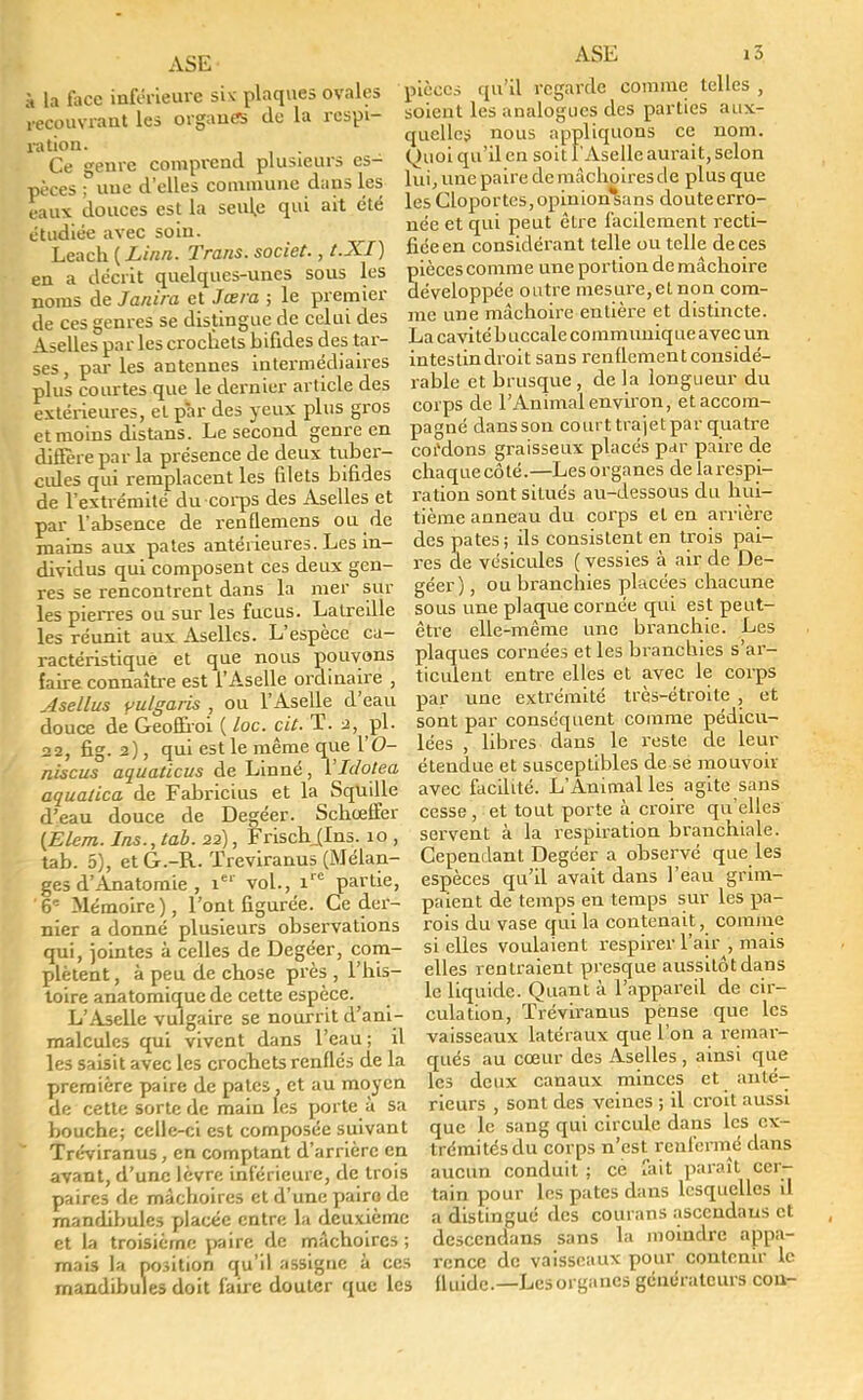 à la face inférieure siv plaques ovales recouvrant les organes (le la respi- ration. Ce genre comprend plusieurs es- pèces ; uue d'elles commune dans les eaux douces est la seule qui ait été étudiée avec soin. Leach ( Linn. Trans. societ., t.XI) en a décrit quelques-unes sous les noms de Jouira et Jœra ; le premier de ces genres se distingue de celui des Aselles par les crochets bifides des tar- ses , par les antennes intermédiaires plus courtes que le dernier article des extérieures, et par des yeux plus gros et moins distans. Le second genre en diffère par la présence de deux tuber- cules qui remplacent les filets bifides de l'extrémité du corps des Aselles et par l'absence de renûemens ou de mains aux pales antérieures. Les in- dividus qui composent ces deux gen- res se rencontrent dans la mer sur les pierres ou sur les fucus. Laireille les réunit aux Aselles. L'espèce ca- ractéristique et que nous pouvons faire connaître est l'Aselle ordinaire , Asellus yulgaris , ou l'Aselle d'eau douce de Geoffroi ( loc. cit. T. aj pl. 22, fig. 2), qui est le même que l'O- niscus aquaticus de Linné, ï'Idotea aqualica de Fabricius et la Squille d'eau douce de Degéer. Schœffer (Elem. Jns.,tab. 22), FriscbJIns. 10 , tab. 5), et G.-R. ïreviranus (Mélan- ges d'Anatomie , iei vol., 1 partie, '6e Mémoire), l'ont figurée. Ce der- nier a donné plusieurs observations qui, jointes à celles de Degéer, com- plètent, à peu de cbose près , l'his- toire anatomique de cette espèce. L'Aselle vulgaire se nourrit d'ani- malcules qui vivent dans l'eau; il les saisit avec les crocbets renflés de la première paire de pâtes, et au moyen de cette sorte de main les porte à sa bouche; celle-ci est composée suivant ' Tréviranus, en comptant d'arrière en avant, d'une lèvre inférieure, de trois paires de mâchoires et d'une pairo de mandibules placée entre la deuxième et la troisième paire de mâchoires; mais ta position qu'il assigne à ces mandibules doit faire douter que les ASE i3 pièces qu'il regarde comme telles , soient les analogues des parties aux- quelles nous appliquons ce nom. Quoi qu'il en soit l'Aselle aurait, selon lui, une paire de mâchoires de plus que les Cloportes, opinionsans doute erro- née et qui peut être facilement recti- fiée en considérant telle ou telle de ces pièces comme une portion de mâchoire développée outre mesure,etnon com- me une mâchoire entière et distincte. La cavité b uccale communique avec un intestin droit sans renflement considé- rable et brusque, delà longueur du corps de l'Animal environ, et accom- pagné dans son court trajet par quatre cordons graisseux placés par paire de chaquecôté.—Les organes de larespi- ration sont situés au-dessous du hui- tième anneau du corps et en arrière des pâtes; ils consistent en trois pai- res de vésicules ( vessies à air de De- géer) , ou branchies placées chacune sous une plaque cornée qui est peut- être elle-même une branchie. Les plaques cornées et les branchies s'ar- ticulent entre elles et avec le corps par une extrémité très-étroite , et sont par conséquent comme pédicu- lées , libres dans le reste de leur étendue et susceptibles de se mouvoir avec faedité. L'Animal les agite sans cesse , et tout porte à croire qu'elles servent à la respiration branchiale. Cependant Degéer a observé que les espèces qu'il avait dans l'eau grim- paient de temps en temps sur les pa- rois du vase qui la contenait, comme si elles voulaient respirer l'air , mais elles rentraient presque aussitôt dans le liquide. Quant à l'appareil de cir- culation, Tréviranus pense que les vaisseaux latéraux que l'on a remar- qués au cœur des Aselles , ainsi que les deux canaux minces et anté- rieurs , sont des veines ; il croit aussi que le sang qui circule dans les ex- trémités du corps n'est renfermé dans aucun conduit ; ce fait paraît cer- tain pour les pâtes dans lesquelles il a distingué des courans ascendaus et descendans sans la moindre appa- rence de vaisseaux pour contenir le fluide.—Lesorgancs générateurs cou-