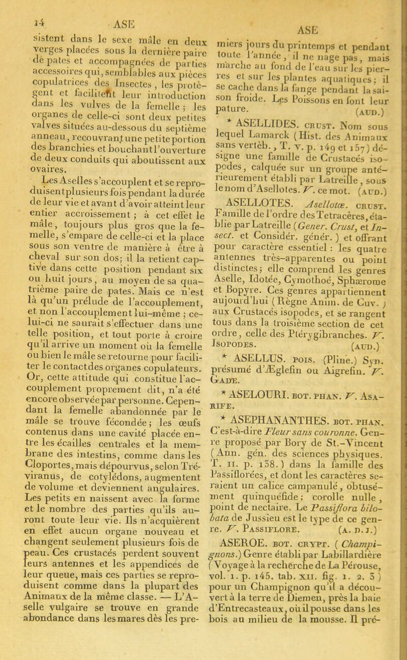 sistcnt dans le sexe mâle en deux verges placées sous la dernière paire dè pâtes et accompagnées de parties accessoires qui, semblables aux pièces copulatnces des Insectes , les protè- gent et laciliieftt leur introduction dans les vulves de la femelle ; les organes de celle-ci sont deux petites valves situées au-dessous du septième anneau, recouvrant une petite portion des branchies et boucbantl'ouverture de deux conduits qui aboutissent aux ovaires. Les Aselles s'accouplent et serepro- duisentplusieurs fois pendant la d urée de leur vie et avant d'avoir atteint leur entier accroissement ; à cet effet le mâle, toujours plus gros que la fe- melle, s'empare de celle-ci et la place sous son ventre de manière à être à cheval sur son dos; il la retient cap- tive dans cette position pendant six ou huit jours, au moyen de sa qua- trième paire de pâtes. Mais ce n'est là qu'un prélude de l'accouplement, et non l'accouplement lui-même ; ce- lui-ci ne saurait s'effectuer dans une telle position, et tout porte à croire qu'il arrive un moment ou la femelle ou bien le mâle se retourne pour facili- ter le contactdes organes copulateurs. Or, cette attitude qui constitue l'ac- couplement proprement dit, n'a été encore observée par personne. Cepen- dant la femelle abandonnée par le mâle se trouve fécondée; les œufs contenus dans une cavité placée en- tre les écailles centrales et la mem- brane des intestins, comme dans les Cloportes,mais dépourvus, selonïrc- viranus, de cotylédons, augmentent de volume et deviennent angulaires. Les petits en naissent avec la forme et le nombre des parties qu'ils au- ront toute leur vie. Ils n'acquièrent en effet aucun organe nouveau et changent seulement plusieurs fois de {>eau. Ces crustacés perdent souvent eurs antennes et les appendices de leur queue, mais ces parties se repro- duisent comme dans la plupart des Animaux de la même classe. — L'A- selle vulgaire se trouve en grande abondance dans les mares dès les pre- ASE miers jours du printemps et pendant toute l'année , il ne nage pas, mais marche au fond de l'eau sur ks pier- res et sur les plantes aquatiques; il se cache dans la fange pendant la sai- son froide. Les Poissons en font leur Pature- (AUD.) * ASELLIDES. crust. Nom sous lequel Lamarck (Hist. des Animaux sans vertèb., T. v. p. 149 et j 57 ) dé- signe une famille de Crustacés iso- podes, calquée sur un groupe anté- rieurement établi par Latreifle , sous le nom d'Asellotes. K. ce mot. (aud.) ASELLOTES. ylsellotœ. crust. Famille de l'ordre d es ïetracères, éta- blie par La treille {Gêner. Crust, elln- sect. et Considér. génér. ) et offrant pour caractère essentiel : les quatre antennes très-apparentes ou point distinctes; elle comprend les genres Aselle, Idotée, Cymothoé, Sphrcrome et Bopyie. Ces genres appartiennent aujourd'hui (Règne Anim. de Cuv. ; aux Crustacés isopodrs, et se rangent tous dans la troisième section de cet ordre, celle des Ptérygibranches. V. Jsopodes. (aud.) * ASELLDS. pois. (Pline.) Svn. présumé d'iEglefin ou Aigrefin. jr. Gade. * ASELODRI. bot. phan. r. Asa- RIFE. * ASEPHANANTHES. bot. phan. C'est-à-dire Fleur sans couronne. Gen- re proposé par Bory de St.-Vincent (Ann. gén. des sciences physiques. T. il. p. i58.) dans la famille des Passiflorées, et dont les caractères se- raient un calice campanule, obtusé- ment quinquéfide ; corolle nulle, point de nectaire. Le Passifîora bilo- bata de Jussieu est le type de ce gen- re. Passiflore. (a. n. j.) ASEROE. bot. crypt. ( Champi- gnons.) Genre établi par Labillardière (Voyage à la recherche de La Pérouse, vol. 1. p. i45. tab. xn. fig. i. 2. 3 ) pour un Champignon qu'il a décou- vert à la terre de Diemeu, près la baie d'Entrecasteaux, où il pousse dans les bois au milieu de la mousse. Û pré-