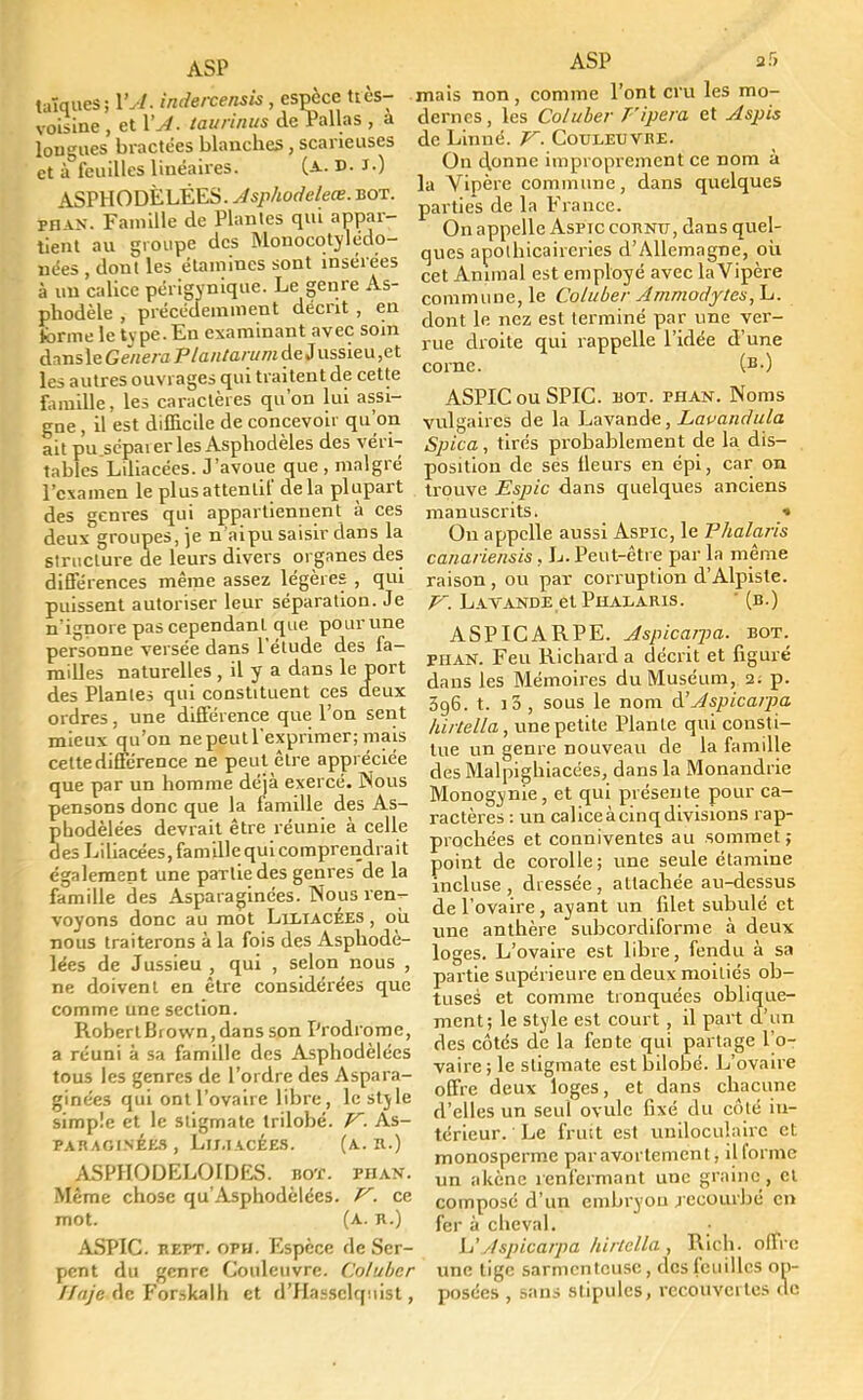 taïques; VA. indercensis , espèce hès- voisine , et l'A. taurinus de Pallas , a lougues bractées blanches, scaneuses et à feuilles linéaires. (a. d. ï.) ASPHODÈLËES. Asphodeleœ. bot. pu an. Famille de Plantes qui appar- tient au groupe des Monocotylédo- kïées , dont les étamincs sont insérées à un calice périgynique. Le genre As- phodèle , précédemment décrit , en forme le type. En examinant avec soin dnns le Gênera Plantarum de Jussieu ,et les autres ouvrages qui traitent de cette famille, les caractères qu'on lui assi- gne , il est difficile de concevoir qu'on ait pu scpaier les Asphodèles des véri- tables Liliacées. J'avoue que, malgré l'examen le plus attentif delà plupart des genres qui appartiennent à ces deux groupes, je n'aipu saisir dans la structure de leurs divers organes des différences même assez légères , qui puissent autoriser leur séparation. Je n'ignore pas cependant que pour une personne versée dans l'étude des fa- milles naturelles, il y a dans le port des Plantes qui constituent ces deux ordres, une différence que l'on sent mieux qu'on nepeutl'exprimer; mais cette différence ne peut être appréciée que par un homme déjà exercé. Nous pensons donc que la famille des As- Shodèlées devrait être réunie à celle es Liliacées, famille qui comprendrait également une paTliedes genres de la famille des Asparaginées. Nous ren- voyons donc au mot Liliacées , où nous traiterons à la fois des Asphodè- lées de Jussieu , qui , selon nous , ne doivent en être considérées que comme une section. RoberlBrown,dans son Prodrome, a réuni à sa famille des Asphodèlées tous les genres de l'ordre des Aspara- ginées qui ont l'ovaire libre, le style simple et le stigmate trilobé. V. As- paraginées , Liliacées. (a. r.) ASPHODELOIDES. bot. phan. Même chose qu'Asphodèlées. V. ce mot. (a. r.) ASPIC, rept. oph. Espèce de Ser- pent du genre Couleuvre. Coluber llaje de Forskalh et d'Hassclquist, ASP B'5 mais non, comme l'ont cru les mo- dernes, les Coluber Fipera et Aspis de Linné. V. Couleuvre. On donne improprement ce nom à la Vipère commune, dans quelques parties de la Fiance. On appelle Aspic cornu, dans quel- ques apolhicaireries d'Allemagne, où cet Animal est employé avec la Vipère commune, le Coluber Ammodytes, L. dont le nez est terminé par une ver- rue droite qui rappelle l'idée d'une corne. (B0 ASPIC ou SPIC. bot. phan. Noms vulgaires de la Lavande, Lavandula Spica, tirés probablement de la dis- position de ses ileurs en épi, car on trouve Espic dans quelques anciens manuscrits. « On appelle aussi Aspic, le Phalaris canariensis, L. Peut-être par la même raison , ou par corruption d'Alpiste. V. Lavande et Phalaris. ' (b.) ASPICARPE. Aspicarpa. bot. phan. Feu Richard a décrit et figuré dans les Mémoires du Muséum, 2: p. 3g6. t. i5 , sous le nom à'Aspicarpa hirtella, une petite Plante qui consti- tue un genre nouveau de la famille des Malpighiacées, dans la Monandrie Monogynie, et qui présente pour ca- ractères : un caliceàcinqdivisions rap- prochées et conniventes au sommet; point de corolle; une seule étamine incluse, dressée, attachée au-dessus de l'ovaire, ayant un filet subulé et une anthère subcordiforme à deux loges. L'ovaire est libre, fendu à sa partie supérieure en deux moitiés ob- tuses et comme tronquées oblique- ment; le style est court , il part d'un des côtés de la fente qui partage l'o-r vaire ; le stigmate est bilobé. L'ovaire offre deux loges, et dans chacune d'elles un seul ovule fixé du côté in- térieur. ' Le fruit est uniloculairc et monosperme par avortement, il forme un akène renfermant une graine, et composé d'un embryon recourbé en fer à cheval. ■ L'Aspicarpa hirtella , Rich. offre une tige sarmenteusc, des feuilles op- posées , sans stipules, recouvertes de