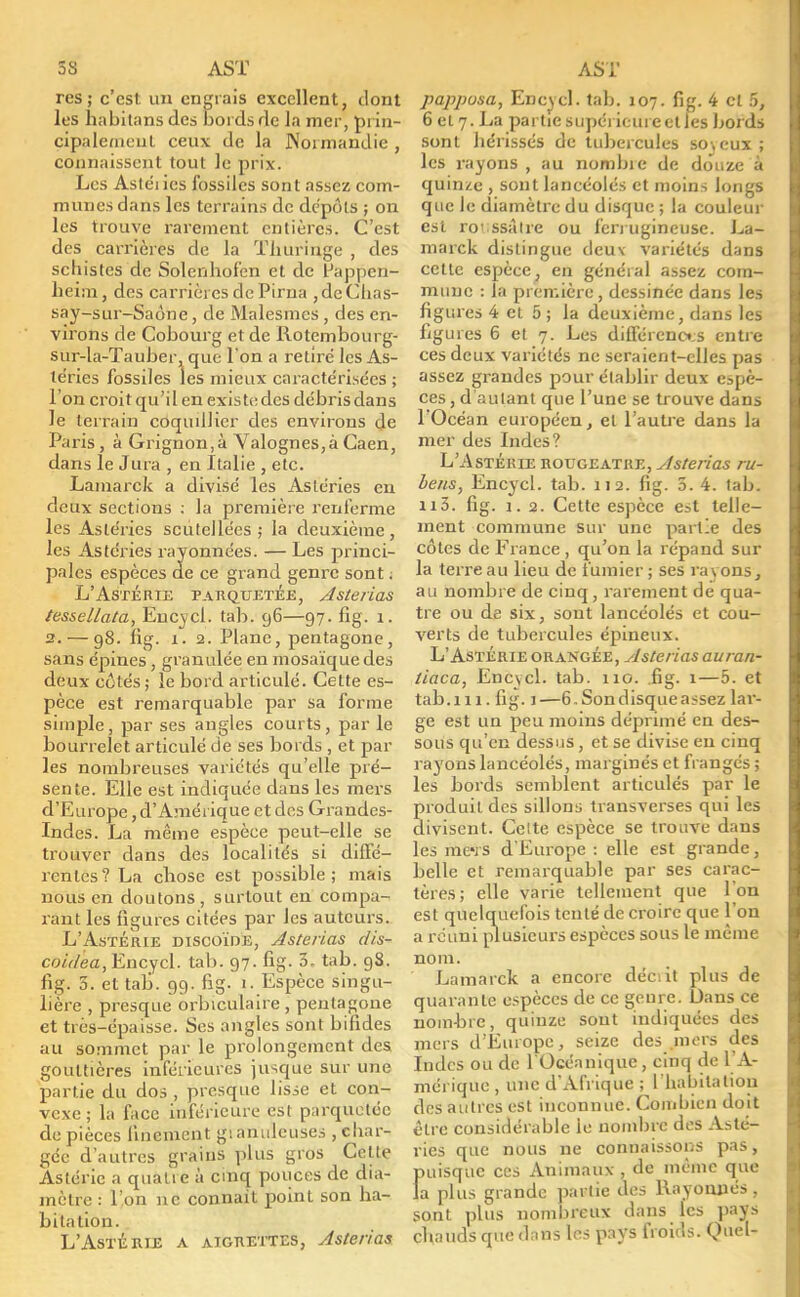 res ; c'est un engrais excellent, dont les habitans des bords de la mer, prin- cipalement ceux de la Normandie , connaissent tout le prix. Les Asléi ics fossiles sont assez com- munes dans les terrains de dépôts ; on les trouve rarement entières. C'est des carrières de la Thuringe , des schistes de Solenhof'en et de Fappen- heim, des carrières de Pirna ,deChas- say-sur-Saône, de Malesmes , des en- virons de Cobourg et de Rotembourg- sur-la-Tauber, que l'on a retiré les As- téries fossiles les mieux caractérisées ; l'on croit qu'il en existe des débris dans le terrain coquillicr des environs de Paris, à Grignon,à Valognes,àCaen, dans le Jura , en Italie , etc. Lamarck a divisé les Astéries en deux sections : la première renferme les Astéries scutellées ; la deuxième, les Astéries rayonnées. — Les princi- pales espèces de ce grand genre sont ; L'Astérie parquetée, Asteiias tessellata, Encvcl. tab. 96—97. fig. 1. 2.— 98. fig. 1. 2. Plane, pentagone, sans épines, granulée en mosaïque des deux côtés ; le bord articulé. Cette es- pèce est remarquable par sa forme simple, par ses angles courts, par le bourrelet articulé de ses bords , et par les nombreuses variétés qu'elle pré- sente. Elle est indiquée dans les mers d'Europe, d'Amérique et des Grandes- Indes. La même espèce peut-elle se trouver dans des localités si diffé- rentes? La ebose est possible; mais nous en doutons, surtout en compa- rant les figures citées par les auteurs. L'Astérie discoïde, Asteiias dis- coidea, Encycl. tab. 97. fig. 3, tab. 98. fig. 3. et tab. 99. fig. 1. Espèce singu- lière , presque orbiculaire , pentagone et très-épaisse. Ses angles sont bifides au sommet par le prolongement des gouttières inférieures jusque sur une partie du dos , presque lisse et con- vexe ; la face inférieure est parquetée de pièces finement gianulcuses , char- gée d'autres grains plus gros Celle Astérie a quatre à cinq pouces de dia- mètre : l'on ne connaît point son ha- bitation. L'Astérie a aigrettes, Asteiias papposa, Encvcl. tab. 107. fig. 4 cl 5, 6 et 7. La partie supérieure et les bords sont bérissés de tubercules so\eux; les rayons , au nombie de douze 1 quinze , sont lancéolés et moins longs que le diamètre du disque ; la couleur est ro' ssâlre ou ferrugineuse. La- marck distingue deux variétés dans cette espèce, en général assez com- mune : la première , dessinée dans les figures 4 et 5 ; la deuxième, dans les figures 6 et 7. Les différences entre ces deux variétés ne seraient-elles pas assez grandes pour établir deux espè- ces, d'autant que l'une se trouve dans l'Océan européen, et l'autre dans la mer des Indes? L'Astérie rougeatre, Asteiias ru- bens, Encycl. tab. 112. fig. 5. 4. tab. 113. fig. i.a. Cette espèce est telle- ment commune sur une partie des côtes de France , qu'on la répand sur la terreau lieu de fumier ; ses rayons, au nombre de cinq, rarement de qua- tre ou de six, sont lancéolés et cou- verts de tubercules épineux. L'Astérie orangée, Asteiias auran- iiaca, Encycl. tab. 110. .fig. 1—5. et tab. 111. fig. 1—6. Son disque assez lar- ge est un peu moins déprimé en des- sous qu'en dessus, et se divise eu cinq rayons lancéolés, marginés et frangés ; les bords semblent articulés par le produit des sillons transverses qui les divisent. Cette espèce se trouve dans les mei s d'Europe : elle est grande, belle et remarquable par ses carac- tères; elle varie tellement que l'on est quelquefois tenté de croire que l'on a réuni plusieurs espèces sous le même nom. Lamarck a encore décrit plus de quarante espèces de ce genre. Dans ce nombre, quinze sont indiquées des mers d'Europe, seize des mers des Indes ou de l'Océanique, cinq de l'A- mérique , une d'Afrique ; l'habitation des autres est inconnue. Combien doit être considérable le nombre des Asté- ries que nous ne connaissons pas, puisque ces Animaux , de même que fa plus grande partie des Rayonnes, sont plus nombreux dans les pays ebauds que dans les pays froids. Quel-