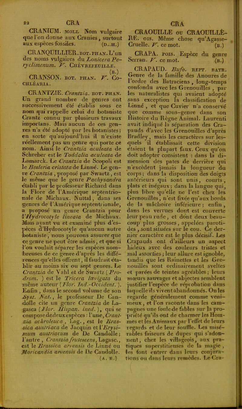 CRANÏUM. molx. Nom vulgaire que l’on donne aux Cranies , surtout aux espèces fossiles. (d..h.) CRANQUILLIER. bot. phan. L’un des noms vulgaires du Lonicera Pe~ ryclïmenum. P'. Chèvrefeuille. (b.) CRANSON. BOT. PHAN. V. Co- CHLÉARIA. CRANTZIE. Crantzia. bot. phan. Un grand nombre de genres ont successivement été établis sous ce nom qui rappelle celui du botaniste Crantz connu par plusieurs travaux importans. Mais aucun de ces gen- res n’a été adopté par les botanistes ; en sorte qu’aujourd’hui il n’existe réellement pas un genre qui porte ce nom. Ainsi le Crantzia aculeata de Schreber est le ToddaLia aculeata de Lamarck. Le Crantzia de Scopoli est le Besleria cris ta ta de Linné. Le gen- re Crantzia , proposé par Swartz , est le même que le genre Pachysandra établi par le professeur Richard dans la Flore de l’Amérique septentrio- nale de Michaux. Nuttai, dans ses genres de l’Amérique septentrionale, a proposé un genre Crantzia pour VHydrocotyie iineata de Michaux. Mais ayant vu et examiné plus d’es- pèces a’Hydrocotyle qu’aucun autre botaniste, nous pouvons assurer que ce genre ne peut être admis, et que si l’on voulait séparer les espèces nom- breuses de ce genre d’après les diffé- rences qu’elles offrent, il faudrait éta- blir au moins six ou sept genres. Le Crantzia de Vahl et de Swartz ( Pro- drom. ) est le Tricera lœvigata du même auteur (Flor. Ind.-Occident. ). Enfin , dans le second volume de son jStyst. Pat., le professeur De Can- dolle cite un genre Crantzia de La- gasca ( Jdor. Hispan. ined. ), qui se composededcuxespèces : l’une, Crant- zia ochroleuca , Lag., est le Bras- sica aus/riaca de Jacqüin et YErysi- mu m austriacum de De Candolle ; l’autre , Crantzia.frutesccns, Lagasc., est le Erassica a/vensis de Linné ou Moricandia a/vensis de De Candolle. (A. R.) CRAOUILLE ou CRAOUILLÈ- RE. ois. Même chose qu’Agasse- Crucllc. V. ce mot. (b.) CRAPA. pois. Espèce du genre Serran. V. ce mot. (b.) CRAPAUD. Bufo. BEPT. BATR. Genre de la famille des Anoures de l’ordre des Batraciens , long-temps confondu avec les Grenouilles , par les naturalistes qui avaient adopté sans exception la classification de Linné , et que Cuvier n'a conservé que comme sous-genre dans son Histoire du Règne Animal. Laurenti avait indiqué la séparation des Cra- pauds d’avec les Grenouilles d’après Bradley, mais les caractères sur les- quels ii établissait cette division étaient la plupart faux. Ceux qu’on doit adopter consistent : dans la di- mension des pâtes de derrière qui n’excèdent jamais la longueur du corps; dans la disposition des doigts antérieurs qui sont unis, courts, plats et inégaux; dans la langue qui, plus libre qu’elle ne l’est chez les Grenouilles, n’est fixée qu’aux bords de la mâchoire inférieure ; enfin , dans les verrues dont est couverte leur peau rude , et dont deux beau- coup plus grosses, appelées paroti- des , sont situées sur le cou. Ce der- nier caractère est le plus décisif. Les Crapauds ont d’ailleurs un aspect hideux avec des couleurs tristes et mal assorties ; leur allure est ignoble, tandis que les Rainettes et les Gre- nouilles sont ordinairement sveltes et parées de teintes agréables ; leurs mœurs sauvages et abjectes semblent justifier l’espèce de réprobation dans laquelle ilsviventabandonnés. Onles regarde généralement comme veni- meux, et l’on raconte dans les cam- pagnes une f oule de fables sur la pro- priété qu’ils ont de charmer les Hom- mes et les Animaux par l’effet de leurs regards et de leur souffle. Les misé- rables faiseurs de dupes qui s’adon- nent, chez les villageois, aux pra- tiques superstitieuses de la magie , les font entrer dans leurs conjura- tions ou dans leurs remèdes. LeCra-