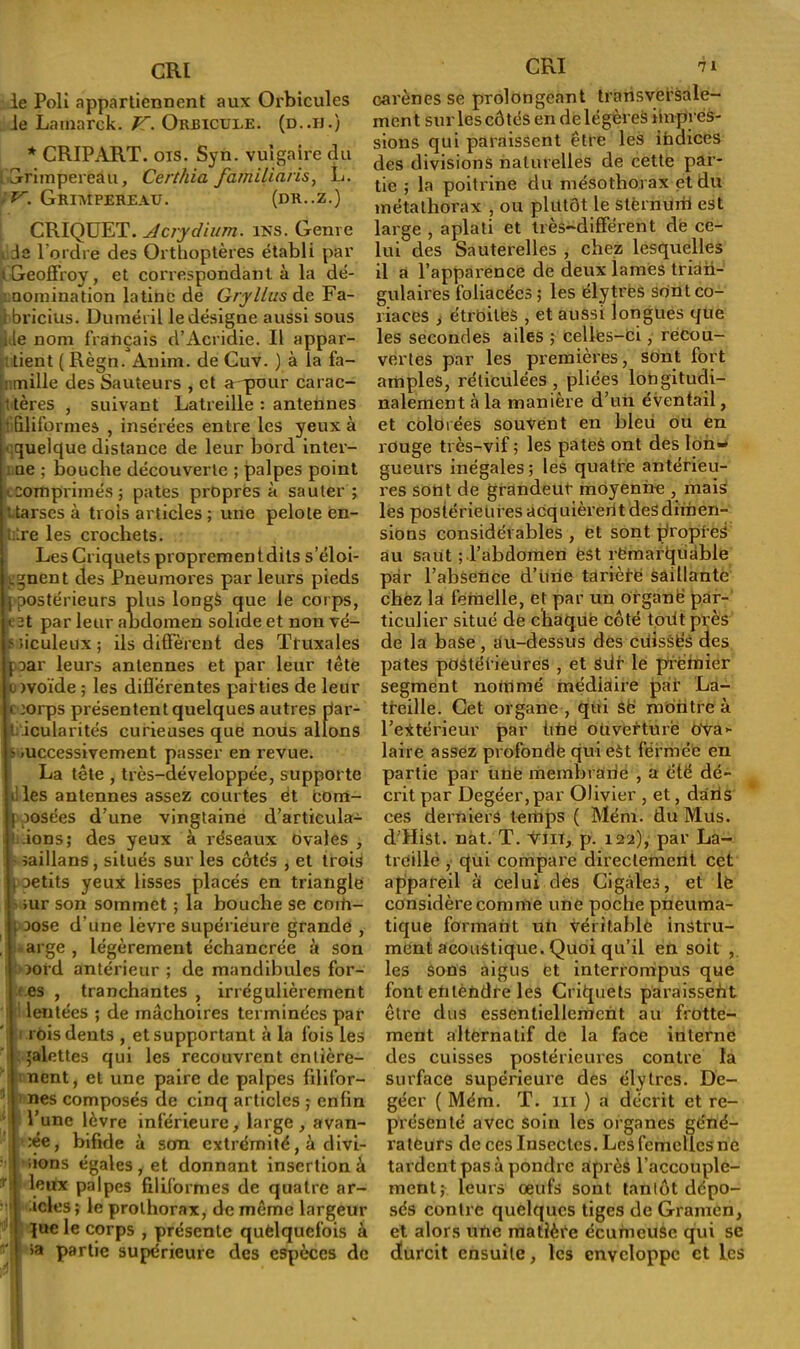 le Poli appartiennent aux Orbicules le Lamarck. K. Orbicule. (d..ij.) * CRIPART. ois. Syn. vulgaire du [ grimpereau, Certliia familiaris, L. V. GRIMPEREAU. (DR..Z.) CRIQUET. Acrydium. ins. Genre le l’ordre des Orthoptères établi par i Geoffroy, et correspondant à la dé- : nomination latine de Gryllus de Fa- i bricius. Duméril le désigne aussi sous . le nom français d’Acridie. Il appar- i tient ( Règn. Anim. de Cuv. ) à la fa- mille des Sauteurs , et a^pour carac- titères , suivant Latreille : antennes i filiformes , insérées entre les yeux à • quelque distance de leur bord inter- ne ; bouche découverte ; palpes point tcomprimés ; pâtes propres à sauter ; Uarses à trois articles ; une pelote en- i lre les crochets. Les Criquets proprement dits s'éloi- gnent des Pneuinores par leurs pieds j postérieurs plus longs que le corps, rit par leur abdomen solide et non vé- fîiculeux; ils diffèrent des Tluxales par leurs antennes et par leur tête u )voïde ; les différentes parties de leur c :orps présentent quelques autres par- ticularités curieuses que nous allons ? .uccessivement passer en revue. La tête , très-développée, supporte il les antennes assez courtes ét com- posées d’une vingtaine d’articula- j1 ions; des yeux à réseaux Ovales , h iaillans, situés sur les côtés , et trois \ aetits yeux lisses placés en triangle m mr son sommet ; la bouche se coiti- ( aose d’une lèvre supérieure grande , arge , légèrement échancrée à son i aord antérieur ; de mandibules for- es , tranchantes , irrégulièrement lentées ; de mâchoires terminées par rois dents , et supportant à la fois les 'alettes qui les recouvrent entière- nent, et une paire de palpes filifor— 1 ! nés composés de cinq articles ; enfin l’une lèvre inférieure, large, avan- cée, bifide à son extrémité, à divi- sions égales y et donnant insertion à '*'■ leux palpes filiformes de quatre ar- ides ; le prothorax, de même largeur que le corps , présente quelquefois à ' sa partie supérieure des espèces de CRI carènes se prolongeant transversale- ment sur les côtés en de légères «adres- sions qui paraissent être les ihaices des divisions naturelles de cette par- tie ; la poitrine du mésothorax et du métathorax , ou plutôt le stërnuril est large , aplati et très-différent de ce- lui des Sauterelles , chez lesquelles il a l’apparence de deux lames trian- gulaires foliacées ; les élytres sont co- riaces j étroites , et aussi longues que les secondes ailes ; celles-ci, recou- vertes par les premières, sont fort amples, réticulées , pliées longitudi- nalement à la manière d’un éventail, et colorées souvent en bleu ou en rouge très-vif; les pâtes ont des lon- gueurs inégales ; les quatre antérieu- res sont de grandeur moyenne , mais les postérieures acquièrent des dimen- sions considérables , et sont propres au saut ; T abdomen èst remarquable par l’absence d’une tarière saillante chez la femelle, et par un organe par- ticulier situé de chaque côté toiit près de la base, au-dessus des ciiissëS des pâtes postérieures , et Sdr le premier segment nommé médiaire par La- treille. Cet organe , qui Së montre à l’extérieur par ütiè ouverture OYa- laire assez profonde qui eSt fermée en partie par une membrane , a été dé- crit par Degéer, par Olivier , et, dâris ces derniers temps ( Mém. du Mus. d’Hist. nat. T. vin, p. 122),' par La- trdillë , qui compare directement cet appareil à celui des Cigales, et lè considère comme une poche pneuma- tique formant un véritable instru- ment acoustique. Quoi qu’il en soit , les sons aigus et interrompus que font etilèndre les Criquets paraissent être dus essentiellement au frotte- ment alternatif de la face interne des cuisses postérieures contre la surface supérieure des élytres. De- géer ( Mém. T. 111 ) a décrit et re- présenté avec soin les organes géné- rateurs de ces Insectes. Les femelles ne tardent pas à pondre après l’accouple- ment; leurs œufs sont tantôt dépo- sés contre quelques tiges de Gramcn, et alors une matièëe écumeuse qui se durcit ensuite, les enveloppe et les