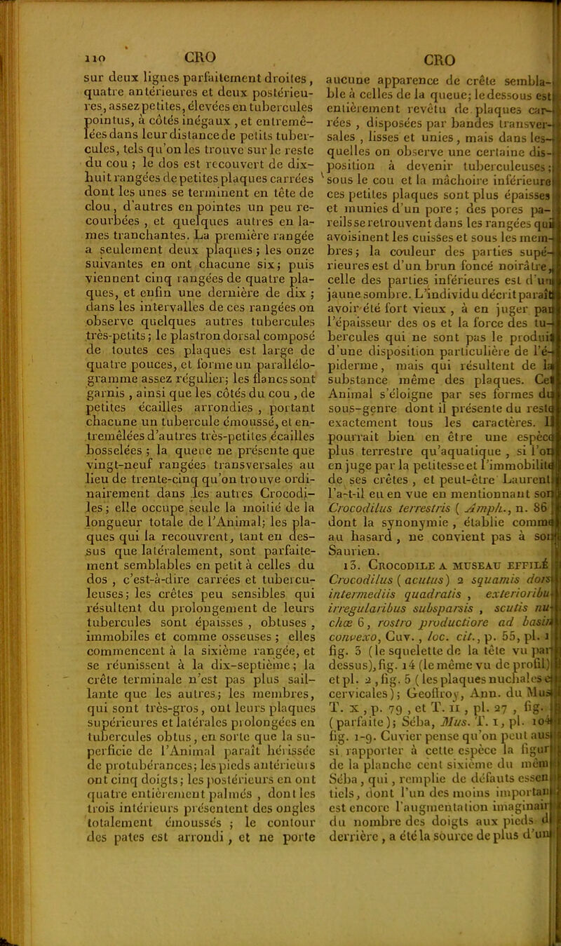 sur deux ligues parfaitement droites, quatre antérieures et deux postérieu- res, assez petites, élevées en tubercules Î)ointus, à côtés inégaux , et enlremê- éesdans leur distance de petits tuber- cules, tels qu’on les trouve sur le reste du cou ; le dos est recouvert de dix- huit rangées de petites plaques carrées dont les unes se terminent en tête de clou , d’autres en pointes un peu re- courbées , et quelques autres en la- mes tranchantes. La première rangée a seulement deux plaques ; les onze suivantes en ont chacune six; puis viennent cinq rangées de quatre pla- ques, et enfin une dernière de dix ; dans les intervalles de ces rangées on observe quelques autres tubercules très-petits; le plastron dorsal composé de toutes ces plaques est large de quatre pouces, et forme un parallélo- gramme assez régulier; les flancs sont garnis , ainsi que les côtés du cou , de petites écailles arrondies , portant chacune un tubercule émoussé, et en- tremêlées d’autres très-petites écailles bosselées ; la queue ne présente que vingt-neuf rangées transversales au lieu de trente-cinq qu’on trouve ordi- nairement dans les autres Crocodi- les ; elle occupe seule la moitié de la longueur totale de l’Animal; les pla- ques qui la recouvrent, tant en des- sus que latéralement, sont parfaite- ment semblables en petit à celles du dos , c’est-à-dire carrées et tubercu- leuses; les crêtes peu sensibles qui résultent du prolongement de leurs tubercules sont épaisses , obtuses , immobiles et comme osseuses ; elles commencent à la sixième rangée, et se réunissent à la dix-septième; la crête terminale n’est pas plus sail- lante que les autres; les membres, qui sont très-gros, ont leurs plaques supérieures et latérales prolongées en tubercules obtus, en sorte que la su- perficie de l’Animal paraît hérissée de protubérances; les pieds antérieuis ont cinq doigts; les postérieurs en ont quatre entièrement palmés , dont les trois intérieurs présentent des ongles totalement émoussés ; le contour des pâtes est arrondi, et ne porte aucune apparence de crête sembia-M ble à celles de la queue; ledessous est! entièrement revêtu de plaques car-3 rées , disposées par bandes transver-j sales , lisses et unies, mais dans les-| quelles on observe une certaine dis-v position à devenir tuberculeuses ;j vsous le cou et la mâchoire inférieure! ces petites plaques sont plus épaisses* et munies d’un pore ; des pores pa-. refisse retrouvent dans les rangées qui» avoisinent les cuisses et sous les mein-? bres; la couleur des parties supé4 rieuresest d’un brun foncé noirâLrert celle des parties inférieures esL d’uni jaune sombre. L’individu décrit paraît^ avoir été fort vieux , à en juger païf l’épaisseur des os et la force des tu-! hercules qui ne sont pas le produif d'une disposition particulière de l’é-i piderme, mais qui résultent de 14 substance même des plaques. Ce| Animal s’éloigne par ses formes dr sous-genre dont il présente du rest< exactement tous les caractères. 1 pourrait bien en être une espèco plus terrestre qu’aquatique , si i’oij en juge par la petitesse et l’immôbilita de ses crêtes , et peut-être Laurent! l’a-t-il eu en vue en mentionnant so Crocodilus terrestres ( Ampli., n. 86 dont la synonymie , établie coram au hasard , ne convient pas à sot Sa urien. io. Crocodile a museau effilé • Crocodilus (acutus) 2 squamis do/sj intermediis quadralis , exterioribu* irregularibus subsparsis , scutis nu» cliæ 6, rostro productiore ad basit* convexo, Cuv. , loc. cit., p. 55, pl. i fig. 5 ( le squelette de la tête vu par1 dessus),fig. i4 (le même vu de profil) etpl. 2 ,fig. 5 ( les plaques nuchalese cervicales); Geoflroy, Ann. du Mus» T. x , p. 79 , et T. il, pl. 27 , fig. ( parfaite); Séba, Mus. T. i, pl. io4 fig. i-g. Cuvier pense qu’on peut aus 1 si rapporter à cette espèce la figur de la planche cent sixième du mêm t Séba, qui, remplie de défauts essen ! ticls, dont l’un des moins importai» t est encore l’augmentation imaginair du nombre des doigts aux pieds d derrière, a été la source déplus d’un