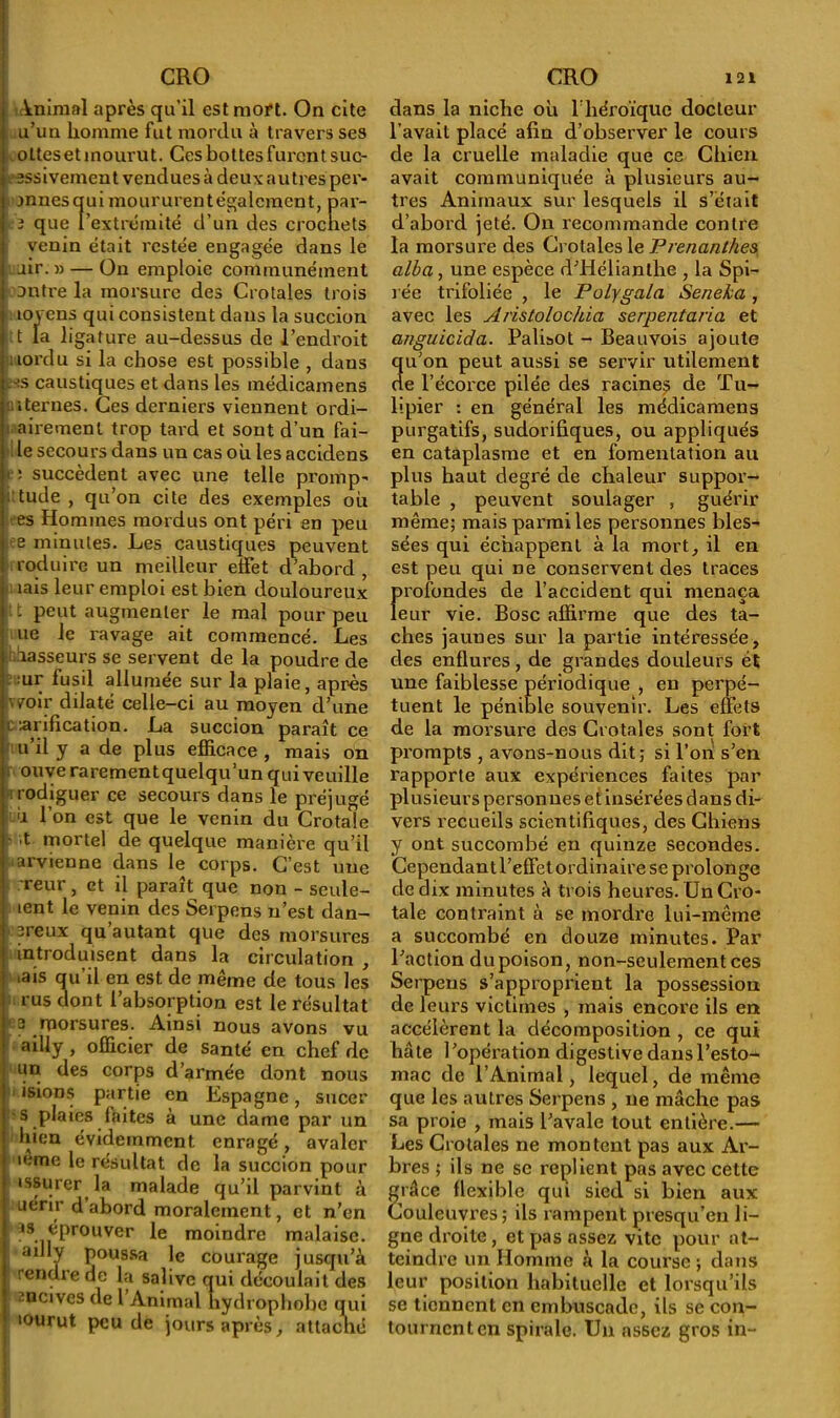 Animal après qu’il est mort. On cite u’un homme fut mordu à travers ses .ottes et mourut. Ces bottes furon t suc- essivement vendues à deux autres per- mnesquimoururentégalcmcnt, par- 3 que l’extrémité d’un des crochets venin était restée engagée dans le air.» — On emploie communément outre la morsure des Crotales trois îovens qui consistent dans la succion t la ligature au-dessus de l’endroit nordu si la chose est possible , dans ns caustiques et dans les médicamens internes. Ces derniers viennent ordi- airemenl trop tard et sont d’un fai- te secours dans un cas oh les accidens tn succèdent avec une telle promp- ; tude , qu’on cite des exemples oh es Hommes mordus ont péri en peu e minutes. Les caustiques peuvent roduire un meilleur effet d’abord, îais leur emploi est bien douloureux t peut augmenter le mal pour peu ue le ravage ait commencé. Les âasseurs se servent de la poudre de :ur fusil allumée sur la plaie, après woir dilaté celle-ci au moyen d’une t lanfication. La succion paraît ce u il y a de plus efficace , mais on ouve rarement quelqu’un qui veuille rodiguer ce secours dans le préjugé h l’on est que le venin du Crotale - ;t mortel de quelque manière qu’il arvienne dans le corps. C’est une reur, et il paraît que non - seule- lent le venin des Serpens n’est dan- preux qu’autant que des morsures introduisent dans la circulation , *ais qu’il en est de même de tous les rus dont l’absorption est le résultat 3 morsures. Ainsi nous avons vu ailly, officier de santé en chef de un des corps d’armée dont nous isions partie en Espagne, sucer s plaies laites à une dame par un hien évidemment enragé, avaler icme le résultat de la succion pour issurer la malade qu’il parvint à uérir d’abord moralement, et n’en as éprouver le moindre malaise, b ailly poussa le courage jusqu’à rendie de la salive qui découlait des sncives de 1 Animal hydrophobe qui lourut peu de jours après, attaché dans la niche oh l’héroïque docteur l'avait placé afin d’observer le cours de la cruelle maladie que ce Chien avait communiquée à plusieurs au- tres Animaux sur lesquels il s’etait d’abord jeté. On recommande contre la morsure des Crotales le Prenanlhes alba, une espèce d’Hélianthe , la Spi- rée trifoliée , le Polygala Seneka , avec les Aristolochia serpentaria et anguicida. Palisot - Beauvois ajoute u’on peut aussi se servir utilement e l’écorce pilée des racines de Tu- lipier : en général les médicamens purgatifs, sudorifiques, ou appliqués en cataplasme et en fomentation au plus haut degré de chaleur suppor- table , peuvent soulager , guérir même; mais parmi les personnes bles- sées qui échappent à la mort, il en est peu qui ne conservent des traces profondes de l’accident qui menaça leur vie. Bosc affirme que des ta- ches jaunes sur la partie intéressée, des enflures, de grandes douleurs et une faiblesse périodique , en perpé- tuent le pénible souvenir. Les effets de la morsure des Crotales sont fort prompts , avons-nous dit; si l’on s’en rapporte aux expériences faites par plusieurs personnes et insérées dans di- vers recueils scientifiques, des Chiens y ont succombé en quinze secondes. Cependantl’effetordinaire se prolonge de dix minutes à trois heures. Un Cro- tale contraint à se mordre lui-même a succombé en douze minutes. Par l’action du poison, non-seulement ces Serpens s’approprient la possession de leurs victimes , mais encore ils en accélèrent la décomposition , ce qui hâte l’opération digestive dans l’esto- mac de l’Animal, lequel, de même que les autres Serpens , ne mâche pas sa proie , mais l’avale tout entière.— Les Crotales ne montent pas aux Ar- bres ; ils ne se replient pas avec cette grâce flexible qui sied si bien aux Couleuvres; ils rampent presqu’en li- gne droite, et pas assez vite pour at- teindre un Homme à la course ; dans leur position habituelle et lorsqu’ils se tiennent en embuscade, ils se con- tournent en spirale. Un assez gros in-