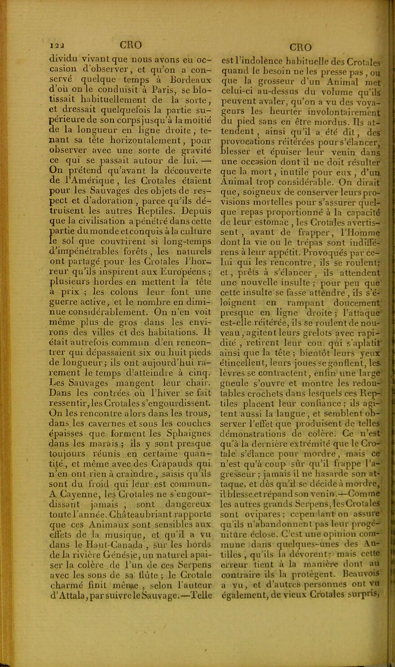 dividu vivant que nous avons eu oc- casion d’observer, et qu’on a con- servé quelque temps à Bordeaux d’où on le conduisit à Paris, se blo- tissait habituellement de la sorte, et dressait quelquefois la partie su- périeure de son corps jusqu’à la moitié de la longueur en ligne droite, te- nant sa tête horizontalement, pour observer avec une sorte de gravité ce qui se passait autour de lui. — On prétend qu’avant la découverte de l’Amérique , les Crotales étaient pour les Sauvages des objets de res- pect et d’adoration , parce qu’ils dé- truisent les autres Reptiles. Depuis que la civilisation a pénétré dans cette partie dumondeetconquis àlaculture le sot que couvrirent si long-temps d’impénétrables forêts , les naturels ont partagé pour les Crotales J'hor- reur qu’ils inspirent aux Européens ; plusieurs hordes en mettent la tête à prix ; les colons leur font une guerre active, et le nombre en dimi- nue considérablement. On n’en voit même plus de gros dans les envi- rons des villes et des habitations. Il était autrefois commun d’en rencon- trer qui dépassaient six ou huit pieds de longueur; ils ont aujourd’hui ra- rement le temps d’atteindre à cinq. Les Sauvages mangent leur chair. Dans les contrées où l’hiver se fait ressentir, les Crotales s’engourdissent. On les rencontre alors dans les trous, dans les cavernes et sous les couches épaisses que forment les Spliaignes dans les marais ; ils y sont presque toujours réunis en certaine quan- tité , et même avec des Crapauds qui n’en ont rien à craindre , saisis qu’ils sont du froid qui leur est commun. A Cayenne, les Crotales ne s'engour- dissant jamais , sont dangereux toute l’année. Châteaubriant rapporte que ces Animaux sont sensibles aux effets de la musique, et qu’il a vu dans le Haut-Canada , sur les bords de la rivière Génésje, un naturel apai- ser la colère de l’un de ces Serpens avec les sons de sa flûte ; le Crotale charmé finit mênjte , selon l’auteur d’Attala, par suivre le Sauvage.—Telle CRO est l’indolence habituelle des Crotales quand le besoin ne les presse pas , ou que la grosseur d’un Animal met celui-ci au-dessus du volume qu’ils peuvent avaler, qu’on a vu des voya- geurs les heurter involontairement du pied sans en être mordus. Ils at- tendent, ainsi qu’il a été dit, des Êrovocations réitérées pour s’élancer, lesser et épuiser leur venin dans une occasion dont il ne doit résulter que la mort, inutile pour eux , d’un Animal trop considérable. On dirait que, soigneux de conserver leurs pro- visions mortelles pour s’assurer quel- que repas proportionné à la capacité de leur estomac , les Crotales avertis- sent , avant de frapper, l’Homme dont la vie ou le trépas sont indille- rens à leur appétit. Provoqués par ce- lui qui les rencontre, ils se roulent; et, prêts à s’élancer, ils attendent une nouvelle insulte ; pour peu que cette insulte se fasse attendre , ils s’é- loignent en rampant doucement presque en ligne droite ; l’attaque est-elle réitérée, ils se roulent de nou- veau, agitent leurs grelots avec rapi- dité , retirent leur cou qui s'aplatit ainsi que la tête ; bientôt leurs yeux étincellent, leurs joues segonflent, les. lèvres se contractent, enfin une large gueule s’ouvre et montre les redou- tables crochets dans lesquels ces Rep- tiles placent leur confiance ; ils agi- tent aussi la langue, et semblent ob- server l’effet que produisent de telles démonstrations de colère. Ce n’est qu’à la dernière extrémité que le Cro- tale s’élance pour mordre, mais ce n’est qu’à coup sûr qu’il frappe l’a- gresseur ; jamais il ne hasarde son at- taque, et dès qu’il se décide à mordre, il blesse et répand son venin.—Comme les autres grands Serpens, les Crotales sont ovipares; cependant-on assure qu’ils n’abandonnent pas leur progé- niture éclose. C’est une opinion com- mune dans quelques-unes des An- tilles , qu’ils fa dévorent; mais cette erreur tient à la manière dont au contraire ils la protègent. Bcauvois a vu, et d’autres personnes ont vu également, de vieux Crotales surpris,