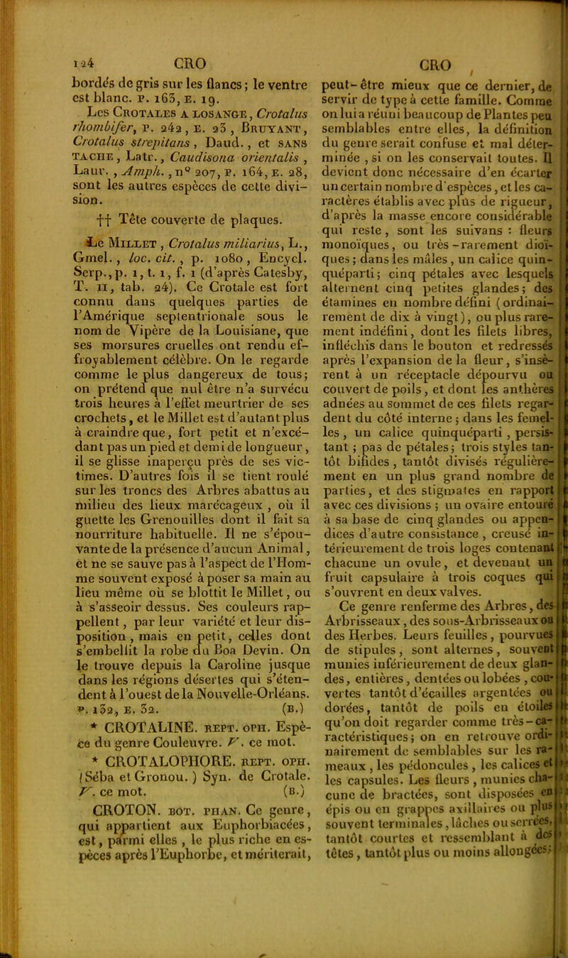 ia4 CRO bordes de gris sur les flancs ; le ventre est blanc, p. i63,e. 19. Les Crotales a losange , Crotalus rhombifer, p. , E. a3 , Bruyant, Crotalus strepitans , Daud., et sans tache, Latr., Cauc/isona orientales , Laur. , Amph., n° 207, P. i64, e. 28, sont les autres espèces de cette divi- sion. ff Tète couverte de plaques. Ee Millet , Crotalus miliarius, L., Gmel., loc. cit. , p. 1080, Encycl. Serp.,p. 1, t. 1, f. 1 (d’après Catesby, T. 11, tab. 24). Ce Crotale est fort connu dans quelques parties de l’Amérique septentrionale sous le nom de Vipère de la Louisiane, que ses morsures cruelles ont rendu ef- froyablement célèbre. On le regarde comme le plus dangereux de tous; on prétend que nul être n’a survécu trois heures à l’effet meurtrier de ses crochets, et le Millet est d’autant plus à craindre que, fort petit et n’excé- dan t pas un pied et dem i de longueur, il se glisse inaperçu près de ses vic- times. D’autres fois il se tient roulé sur les troncs des Arbres abattus au milieu des lieux marécageux , où il guette les Grenouilles dont il fait sa nourriture habituelle. Il ne s’épou- vante de la présence d’aucun Animal, et ne se sauve pas à l’aspect de l’Hom- me souvent exposé à poser sa main au lieu même où se blottit le Millet, ou à s’asseoir dessus. Ses couleurs rap- pellent , par leur variété et leur dis- position , mais en petit, celles dont s’embellit la robe du Boa Devin. On le trouve depuis la Caroline jusque dans les régions désertes qui s’éten- dent à l’ouest delà Nouvelle-Orléans. v. 132, e. 32. (b.) * CROTALINE. rept. oph. Espè- ce du genre Couleuvre. V. ce mot. * CROTALOPHORE. rept. oph. I Séba et Gronou. ) Syn. de Crotale. V. ce mot. (b.) CROTON. bot. fhan. Ce genre, qui appartient aux Euphorbiacées, est, pdrmi elles , le plus riche en es- pèces après l’Euphorbe, et mériterait, CRO peut-être mieux que ce dernier, de servir de type à cette famille. Comme on luia réuni beaucoup de Plantes peu semblables entre elles, la définition du genre serait confuse et mal déter- minée , si on les conservait toutes. U devient donc nécessaire d’en écarter un certain nombre d'espèces, et les ca- ractères établis avec plus de rigueur, d’après la masse encore considérable qui reste, sont les suivans : fleurs monoïques, ou très-rarement dioï- ques ; dans les mâles , un calice quin- quéparli; cinq pétales avec lesquels alternent cinq petites glandes; des étamines en nombre défini (ordinai- rement de dix à vingt), ou plus rare- ment indéfini, dont les filets libres, infléchis dans le bouton et redressés après l’expansion de la fleur, s’insè- rent à un réceptacle dépourvu ou couvert de poils, et dont les anthères adnées au sommet de ces filets regar- dent du côté interne ; dans les femel- les , un calice quinquéparti , persis- tant ; pas de pétales; trois styles tan- tôt bifides, tantôt divisés régulière- ment en un plus grand nombre de parties, et des stigmates en rapport avec ces divisions ; un ovaire entouré à sa base de cinq glandes ou appen- dices d’autre consistance , creusé in- térieurement de trois loges contenant chacune un ovule, et devenaut un fruit capsulaire à trois coques qui s’ouvrent en deux valves. Ce genre renferme des Arbres, des Arbrisseaux, des sous-Arbrisseaux ou des Herbes. Leurs feuilles, pourvues de stipules, sont alternes, souvent munies inférieurement de deux glan- des, entières, dentées ou lobées , coU' vertes tantôt d’écailles argentées ou dorées, tantôt de poils en étoiles qu’on doit regarder comme très-ca- ractéristiques; on en retrouve ordi- nairement de semblables sur les ra- meaux , les pédoncules , les calices et les capsules. Les fleurs , munies cha- cune de bractées, sont disposées en épis ou en grappes axillaires ou plus souvent terminales, lâches ou serrées, tantôt courtes et ressemblant à des têtes, tantôt plus ou moins allongées; N l: U l J * 4;i