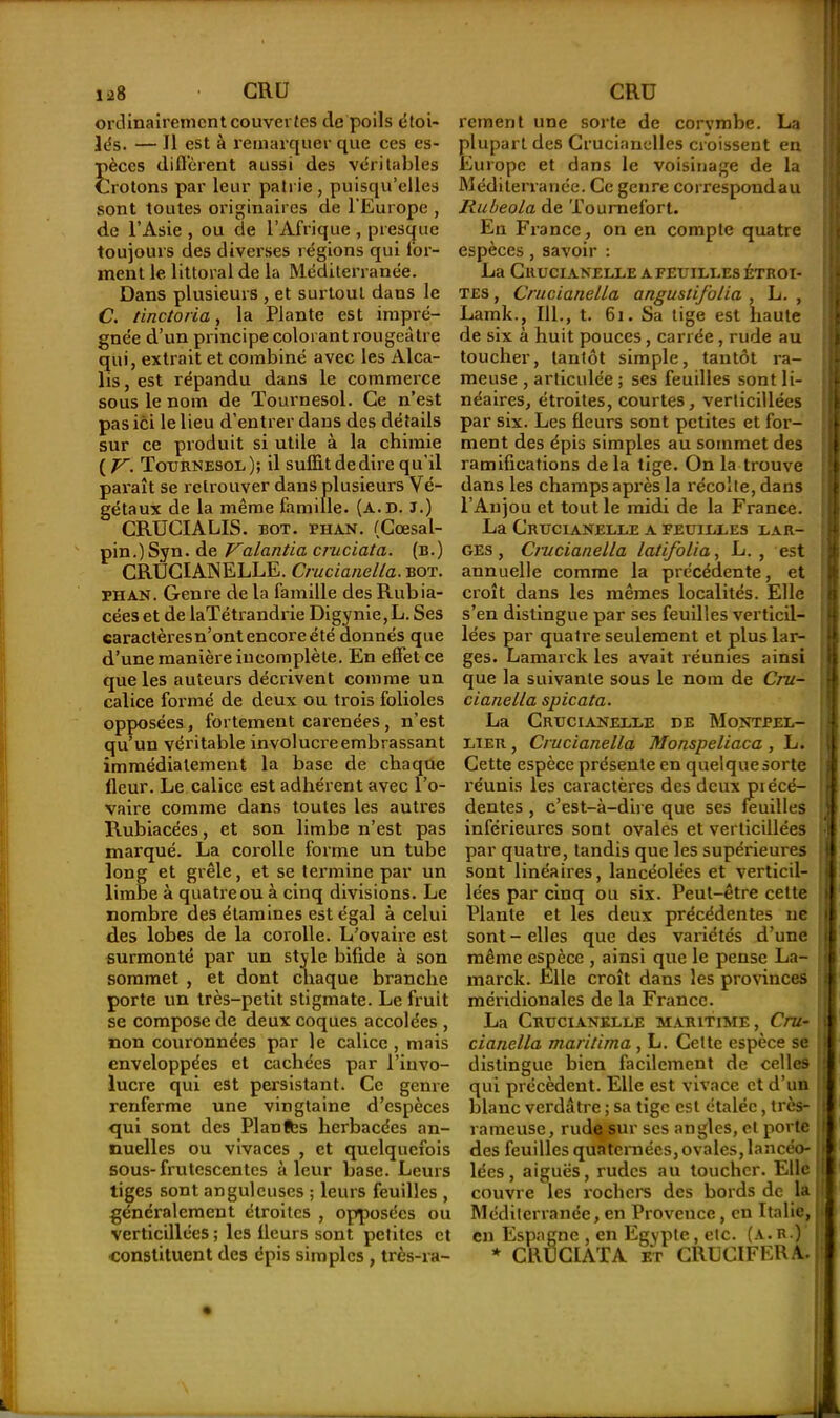 1*8 • CRU ordinairement couvertes de poils étoi- les. — Il est à remarquer que ces es- pèces diffèrent aussi des véritables Crotons par leur pat rie , puisqu’elles sont toutes originaires de l'Europe , de l’Asie , ou de l’Afrique , presque toujours des diverses régions qui for- ment le littoral de la Méditerranée. Dans plusieurs , et surtout dans le C. tinctoria, la Plante est impré- gnée d’un principe colorant rougeâtre qui, extrait et combiné avec les Alca- lis, est répandu dans le commerce sous le nom de Tournesol. Ce n’est pas ici le lieu d’entrer dans des détails sur ce produit si utile à la chimie ( y. Tournesol); il suffit de dire qu’il paraît se retrouver dans plusieurs Vé- gétaux de la même famille, (a.d. j.) CRUCIALIS. bot. bu an. (Cœsal- pin.)Syn. de Valantia cruciata. (b.) CRUCIA1NELLE. Crucianella. bot. bhan. Genre de la famille des Rubia- céeset de laTétrandrie Digynie,L. Ses caractères n’ont encore été donnés que d’une manière incomplète. En effet ce que les auteurs décrivent comme un calice formé de deux ou trois folioles opposées, fortement carénées, n’est qu’un véritable involucreembrassant immédiatement la base de chaque fleur. Le calice est adhérent avec l’o- vaire comme dans toutes les autres Rubiacées, et son limbe n’est pas marqué. La corolle forme un tube long et grêle, et se termine par un limbe à quatre ou à cinq divisions. Le nombre des étamines est égal à celui des lobes de la corolle. L’ovaire est surmonté par un style bifide à son sommet , et dont chaque branche porte un très-petit stigmate. Le fruit se compose de deux coques accolées , non couronnées par le calice , mais enveloppées et cachées par l’iuvo- lucre qui est persistant. Ce genre renferme une vingtaine d’espèces qui sont des Planfbs herbacées an- nuelles ou vivaces , et quelquefois sous-frutescentes à leur base. Leurs tiges sont anguleuses ; leurs feuilles , généralement étroites , opposées ou verticillées ; les fleurs sont petites et •constituent des épis simples , très-ra- CRÜ rement une sorte de corvmbe. La plupart des Crucianelles croissent en Europe et dans le voisinage de la Méditerranée. Ce genre correspondau Rubeola de Tournefort. En Fra ncc, on en compte quatre espèces, savoir : La Crucianelle a feuilles étroi- tes , Crucianella angustifolia , L. , Lamk., 111., t. 61. Sa tige est haute de six à huit pouces, carrée, rude au toucher, tantôt simple, tantôt ra- meuse , articulée ; ses feuilles sont li- néaires, étroites, courtes, verticillées par six. Les fleurs sont petites et for- ment des épis simples au sommet des ramifications de la tige. On la trouve dans les champs après la récolte, dans l’Anjou et tout le midi de la France. La Crucianelle a feuilles lar- ges , Crucianella lafifolia, L. , est annuelle comme la précédente, et croît dans les mêmes localités. Elle s’en distingue par ses feuilles verticil- lées par quatre seulement et plus lar- ges. Lamarck les avait réunies ainsi que la suivante sous le nom de Cru- cianella spicata. La Crucianelle de Montpel- lier , Crucianella Monspeliaca , L. Cette espèce présente en quelque sorte réunis les caractères des deux précé- dentes , c’est-à-dire que ses feuilles inférieures sont ovales et verticillées par quatre, tandis que les supérieures sont linéaires, lancéolées et verticil- lées par cinq ou six. Peut-être cette Plante et les deux précédentes ne sont - elles que des variétés d’une même espèce , ainsi que le pense La- marck. Elle croît dans les provinces méridionales de la France. La Crucianelle maritime, Cru- cianella mari/ima , L. Celte espèce se distingue bien facilement de celles qui précèdent. Elle est vivace et d’un blanc verdâtre ; sa tige est étalée, très- rameuse, rude sur ses angles, et porte des feuilles quaternées, ovales, lancéo- lées , aiguës, rudes au toucher. Elle couvre les rochers des bords de la Méditerranée, en Provence, en Italie, en Espagne , en Egypte, etc. (a. r.) * CRUCIATA et CRUCIFERA. | l ■ . ,