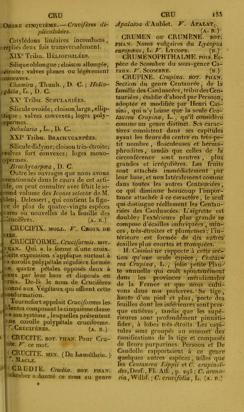 Ordre cinquième. — Crucifères di- plécolobèes. Cotylédons linéaires incombans, repliés deux fois transversalement. XIXe Tribu. HÉlioi;hilÉE3. Siliqueoblongue; cloison allongée, •étroite; valves planes ou légèrement concaves. C/iamira , Thunb., D. C. ; ITelio- phila, U., D. C. XXe Tribu. SuBULARlÉES. Silicule ovoïde ; cloison'large, ellip- tique ; valves convexes; loges poly- ? spermes. Subularia , L., D. C. XXIe Tribu. Brachycarpées. Silicule didyme; cloison très-étroite;- 11 valves fort convexes : loges mono- pppermes. Brachycarpœa, D. C. Outre les ouvrages que nous avons i nentionués dans le cours de cet arti- iîle, on peut consulter avec fruit le se- cond volume des Icônes selectæ de M. denj. Delessert, qui contient la figu- re ae plus de quatre-vingts espèces ares ou nouvelles de la famille des drucifères. (a. r.) CRUCIFIX, moll. V. Croix de If 1ER. CRUCIFORME. Cruciformis. bot. i han. Qui a la forme d’une croix, iette expression s’applique surtout à -h corolle polypétale régulière formée e quatre pétales, opposés deux à r eux par leur base et disposés en roix. De-là le nom de Crucifères onné aux Végétaux qui offrent cette li onformation. Tournefort appelait Cruciformes les lantes composant la cinquième classe e son système , lesquelles présentent ne corolle polypétale cruciforme. ^.Crucifères. (a. r.) 1 CRUCITE. bot. phan. Pour Cru- ite. K. ce mot. CRUCITE. min. (De Laméthrie. ) r. Macle. <4 CRUDIE. Crudia. BOT. PHAN. cbreber a donné ce nom au genre Apalaloa d’Aublet. V. Afalat.. (a. R.) CRUMEN ou CRUMÈNE. bot. phan. Noms vulgaires du Lycopus europæus, U. V. Lycope. (b.)' CRUMÉNOPHTHALME. pois. Es- pèce de Scombre du sous-genre Ca- ranx. V. Scombre. (b.) CRUPINE. Crupina. bot. èiian. Section du genre Centaurée, de la famille des Carduacées, tribu des Cen- tauriées, établie d’abordparPersoon, adoptée et modifiée par Henri Cas- sini, qui n’y laisse que la seule-Cera- taurea Crupina, L., qu’il considère comme un genre distinct. Ses carac- tères consistent dans ses capitules ayant les fleurs du centre en très-pe- tit nombre , flosculeuses et herma- phrodites , tandis que celles de la circonférence sont neutres , plus grandes et irrégulières. Les fruits sont attachés immédiatement par leur base, et non latéralement comme dans toutes les autres Cêntauriées, ce qui diminue beaucoup l’impor- tance attachée à ce caractère, le seul qui distingue réellement les Centau- riées des Carduacées. L’aigrette est double; l’extérieure plus grande se compose d’écailles imbriquées , min- ces , très-étroites et plumeuses; l’in- térieure est formée de dix autres écailles plus courtes et tronquées. H. Cassini ne rapporte à cette sec- tion qu’une seule espèce , Ce rit au rea Crupina, L., jolie petite Plan- te annuelle qui croît spontanément dans les provinces méridionales' de la France et que nous culti- vons dans nos parterres. Sa' tige, haute d’un pied et plus, porte des feuilles dont les inférieures sont pres- que entières , tandis que les supé- rieures sont profonde’ment pinnati-* fîdes , à lobes très-étroits. Les capi- tules sont groupés au sommet des ramifications de la lige et composés de fleurs purpurines. Persoon et De Candolle rapportaient à ce genre quelques autres espèces , telles que les Cenlaurea Lippii et C. crupinoï- rfés,Desf., Fl. Ail., p. iig3 ; C. arena- /•ïa,Willd. ; C. crucifoüa, L. (a. r.)