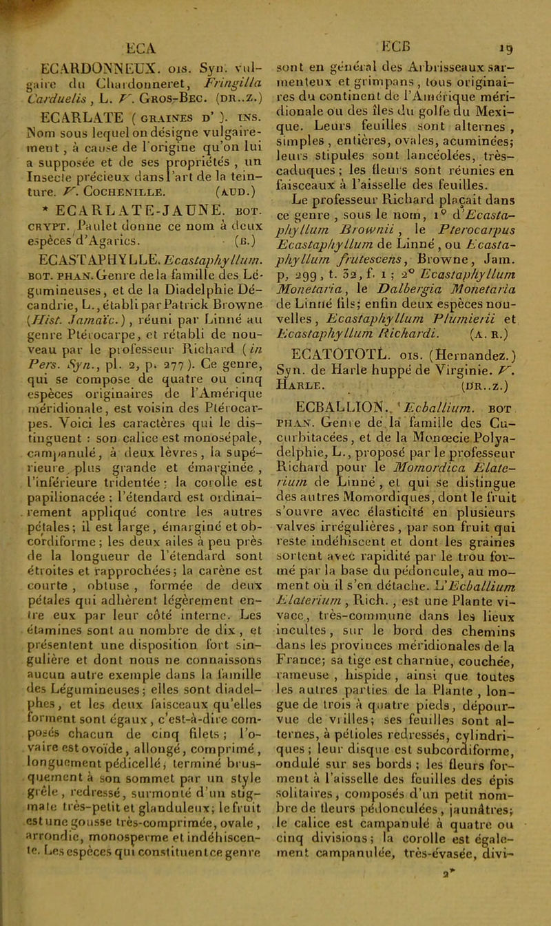 fc:cA ECARDONîNtüX. ois. Syn. vul- g:iiro (lu Cluiidoiineret, Fringilla Carduelis , L. V. GROSrBEC. (dr..z.) ECARLATE ( graintes d’}. ins. îNom sous lequel on désigne vulgaire- ment , à cause de l'origine qu’on lui a supposée et de ses propriétés , un Insecte précieux dans l’art de la tein- ture. V. COCHEMLJCE. (A.ED.) * EGA RL AT E-J AUNE. bot. CRYPT. Paillet donne ce nom à deux e.spèces d’Agarics. (c.) EGASTAPHY LLE. Ecastaphyllu/n. BOT. PHAN.Genre delà famille des Lé- gumineuses, et de la Diadelphie Dé- candrie, L., établi parPatrick Browne {Hist. Jamaïc.), réuni par Linné au genre Ptérocarpe, et rétabli de nou- veau par le professeur Richard {in Vers. Syn.^ pl. 2, p. 277). Ce genre, qui se compose de quatre ou cinq espèces originaires de l’Amérique méridionale, est voisin des Plérocar- pes. Voici les caractères qui le dis- tinguent : son calice est monosépale, camj/anulé, à deux lèvres, la supé- rieure. plus grande et émarginée , l’inférieure tridentée ; la corolle est papilionacée : l’étendard est ordinai- rement appliqué contre les autres pétales ; il est large , émai giné et ob- cordiforme ; les deux ailes à peu près de la longueur de l’étendard sont étroites et rapprochées; la carène est courte , obtuse , formée de deux pétales qui adhèrent légèrement en- tre eux par leur côté interne. Les étamines sont au nombre de dix , et présentent une disposition fort sin- gulière et dont nous ne connaissons aucun autre exemple dans la famille des Légumineuses; elles sont diadel- phes, et les deux faisceaux qu’elles forment sont égaux, c’est-à-dire com- posés chacun de cinq filets ; l’o- vaire estovo’ide, allongé, comprimé, longuement pédicellé, terminé brus- quement à son sommet par un style grêle, redressé, surmonté d’un stig- mate très-petit et glanduleux; le fruit est une gousse très-comprimée, ovale , arrondie, monosperme et indéhiscen- te. Les espèces qui constituent ce genre EGB 19 sont en général des Arbrisseaux sar- menteux etgrimpans, tous originai- res du continent de l’Amérique méri- dionale ou des îles du golfe du Mexi- que. Leurs feuilles sont alternes , simples , entières, ovales, acuminées; leurs stipules sont lancéolées, très- caduques ; les fleurs sont réunies en faisceaux à l’aisselle des feuilles. Le professeur Richard plaçait dans ce genre , sous le nom, 1^ Ecasta- phytlurn Brownii, le Fterocarpus Ecastaphyllum de Linné , ou Ecasta- p/iylLurn frutescens, Browne, Jam. p, igg, t. 32, f. 1 ; 2® Ecastaphyllum Monelaria, le Dalbergia Moiietaria de Linné fils; enfin deux espèces nou- velles, Ecastaphyllum Flumierii et Ecastaphyllum Richardi. (a. r.) EGATOTOTL. ois. (Hernandez.) Syn. de Harle huppé de Virginie. HaREE. (DR..Z.) EGBALLION.. ’bot PHA^r. Genre dé.la' famille des Gu- curbitacées, et de la Monœcie Polya- delphie, L., proposé par le professeur Richard pour le Momordica Elate- rium de Linné , et qui se distingue des autres Momordiques, dont le fruit s’ouvre avec élasticité en plusieurs valves irrégulières, par son fruit qui reste indéhiscent et dont les graines sortent avec l'apidité par le trou for- mé par la base au pédoncule, au mo- ment où il s’en détache. Ij Ecballium Elalerium , Rich. , est une Plante vi- vace, très-commune dans les lieux incultes, sur le bord des chemins dans les provinces méridionales de la France; sa tige est charnue, couchée, rameuse , hispide , ainsi que toutes les autres parties de la Plante , lon- gue de trois à quatre pieds, dépour- vue de viilles; ses feuilles sont al- ternes, à pétioles redressés, cylindri- ques; leur disque est subcordiforme, ondulé sur ses bords ; les fleurs for- ment à l’aisselle des feuilles des épis solitaires, composés d’un petit nom- bre de fleurs pédonculées, jaunâtres; le calice est campanulé à quatre ou cinq divisions; la corolle est égale- ment campanulée, très-évasée, divi-