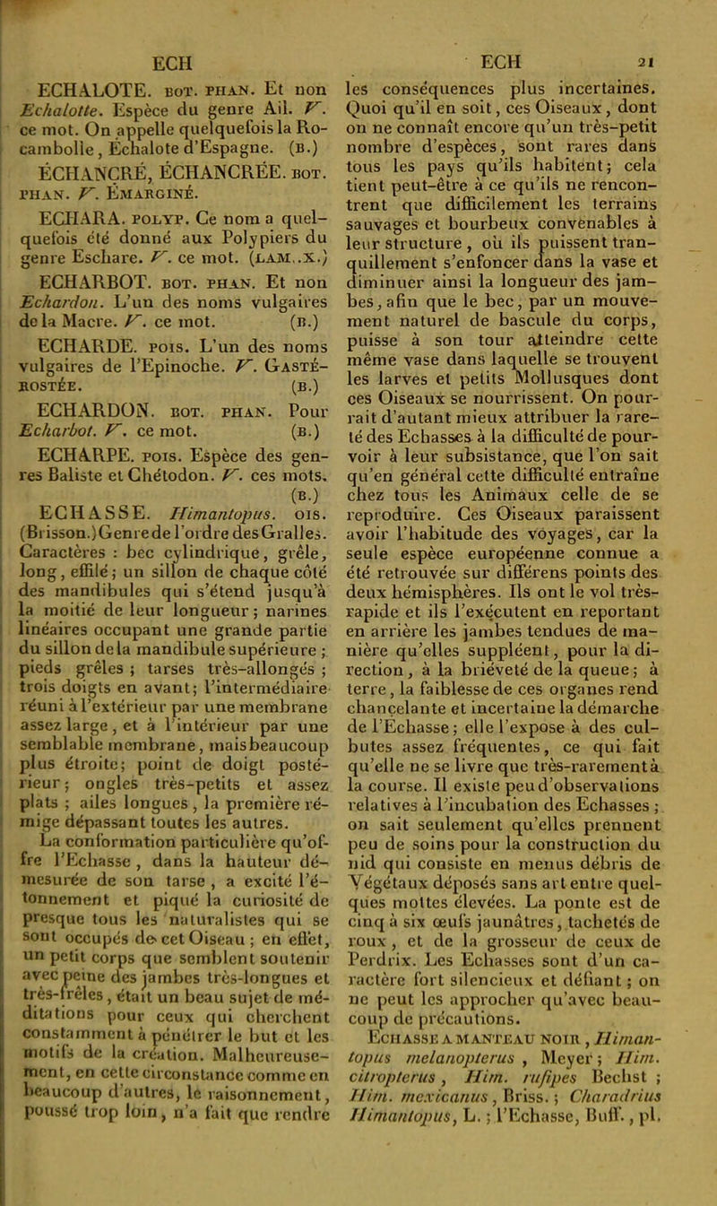 ECHALOTE, bot. phan. Et non Echalotte. Espèce du genre Ail. F'. ce mot. On appelle quelquefois la Ro- cambolie, Échalote d’Espagne, (b.) ÉCHANÇRÉ, ÉCHANCRÉE. bot. PH AN. ÉmaRGINÉ. ECHARA. P01.YP. Ce nom a quel- quefois été donné aux Polypiers du genre Eschare. F~. ce mot. (l,am..x.) ECHARBOT. bot. phan. Et non Echardon. L’un des noms vulgaires t dolaMacre. F', ce mot. (b.) ECHARDE. POIS. L’un des noms 1 vulgaires de l’Epinoche. F'. Gasté- I ROSTÉE. (R.) ECHARDON. bot. phan. Pour i Echarbot. F', ce mot. (b.) ECHARPE. POIS. Espèce des gen- res Baliste etChétodon. F~. ces mots, (b.) ECH A SSE. Himantopus. ois. ' (Brisson.)Genrede l’ordre desGralJes. Caractères : bec cylindrique, grêle, I long, effilé; un sillon de chaque côté I des mandibules qui s’étend jusqu’à ' la moitié de leur longueur ; narines ! linéaires occupant une grande partie ‘ du sillon de la mandibule supérieure pieds grêles ; tarses très-allongés ; trois doigts en avant; l’intermédiaire réuni à l’extérieur par une membrane assez large , et à l’intérieur par une semblable membrane, maisbeaucoup plus étroite; point de doigt posté- rieur; ongles très-petits et assez ; plats ; ailes longues , la première ré- I mige dépassant toutes les autres. La conformation particulière qu’of- fre l’Echasse , dans la hauteur dé- mesurée de son tarse , a excité l’é- ' tonnement et piqué la curiosité de î presque tous les naturalistes qui se J sont occupés de» cet Oiseau ; en effet, un petit corps que semblent soutenir I 3vec peine des jambes très-longues et très-frêles , était un beau sujet de mé- ditations pour ceux qui cherchent constamment à pénétrer le but cl les motifs de la création. Malheureuse- ment, en cette circonstance comme en beaucoup d’autres, le raisonnement, poussé trop loin, n’a fait que rendre les conséquences plus incertaines. Quoi qu’il en soit, ces Oiseaux , dont on ne connaît encore qu’un très-petit nombre d’espèces, sont rares dans tous les pays qu’ils habitent; cela tient peut-être à ce qu’ils ne rencon- trent que difficilement les terrains sauvages et bourbeux convenables à leur structure , où ils puissent tran- quillement s’enfoncer dans la vase et diminuer ainsi la longueur des jam- bes, afin que le bec, par un mouve- ment naturel de bascule du corps, puisse à son tour aiteindre cette même vase dans laquelle se trouvent les larves et petits Mollusques dont ces Oiseaux se nourrissent. On pour- rait d’autant mieux attribuer la rare- té des Ecbasses à la difficulté de pour- voir à leur subsistance, que l’on sait qu’en général cette difficulté entraîne chez tous les Animaux celle de se reproduire. Ces Oiseaux paraissent avoir l’iiabitude des voyages, car la seule espèce européenne connue a été retrouvée sur difîerens points des deux hémisphères. Ils ont le vol très- rapide et ils l’exécutent en reportant en arrière les jambes tendues de ma- nière qu’elles suppléent, pour la di- rection, à la brièveté de la queue ; à terre, la faiblesse de ces organes rend chancelante et incertaine la démarche del’Echasse; elle l’expose à des cul- butes assez fréquentes, ce qui fait qu’elle ne se livre que très-rarement à la coui’se. Il existe peu d’observations relatives à l’incubation des Echasses ; on sait seulement qu’elles prennent peu de soins pour la construction du nid qui consiste en menus débris de Végétaux déposés sans art entre quel- ques mottes élevées. La ponte est de cinq à six œufs jaunâtres, tachetés de roux , et de la grosseur de ceux de Perdrix. Les Echasses sont d’un ca- ractère fort silencieux et défiant ; on ne peut les approcher qu’avec beau- coup de précautions. EcH ASSE A MANTEAU NOIR , Hinum- tupus melanopterus , Meyer ; lliiii. citropterus, ïlirn. ru/ipes Bechst ; If ira. rncxicanus , Briss. ; Charadrius llimanlopiis^ L. ; l’Echasse, Ilulf., pl.