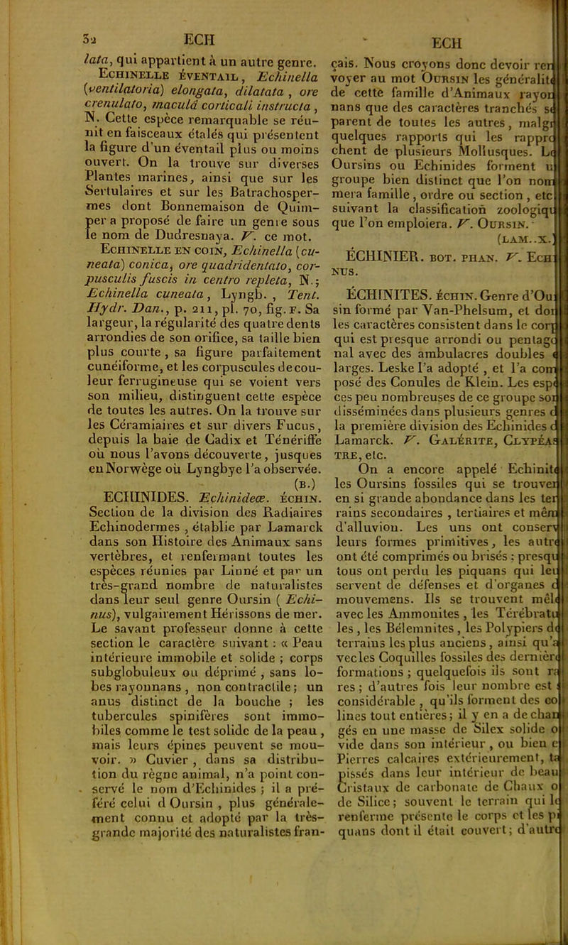 lata, qui appartient à un autre genre. Echinelle EVENTAIL, Echitiella {yentilatorla) elongata, dilatata , ore crenulato, maculâ corticali instructa , N. Cette espèce remarquable se réu- nit en faisceaux étalés qui présentent la figure d’un éventail plus ou moins ouvert. On la trouve sur diverses Plantes marines, ainsi que sur les Sertulaires et sur les Batrachosper- mes dont Bonnemaison de Quiin- f)er a proposé de faire un genie sous e nom de Dudresnaya. V. ce mot. Echinelle en coin, Echinella [cu- neata) conica, ore quadridentato, cor- pusculis fusais in centra repleta, N.; Echinella cuneata, Lyngb. , Tent. Hydr. Van., p. an, pl. 70, fig.F. Sa largeur, la régularité des quatre dents arrondies de son orifice, sa taille bien plus courte , sa figure parfaitement cunéiforme, et les corpuscules de cou- leur ferrugineuse qui se voient vers son milieu, distinguent cette espèce de toutes les autres. On la trouve sur les Céramlaires et sur divers Fucus, depuis la baie de Cadix et TénériflFe ou nous l’avons découverte, jusques euNorwège où Lyngbye l’a observée. (b.) ECHINIDES. Echinideæ. échin. Section de la division des Radiaii'es Echinodermes , établie par Lamarck dans son Histoire des Animaux sans vertèbres, et renfermant toutes les espèces réunies par Linné et par un très-grand nombre de naturalistes dans leur seul genre Oursin ( Echi- nus), vulgairement Hérissons de mer. Le savant professeur donne à cette section le caractère suivant : « Peau intérieure immobile et solide ; corps subglobuleux ou déprimé , sans lo- bes rayounans , non contractile ; un anus distinct de la bouche ; les tubercules spinifères sont immo- biles comme le test solide de la peau , mais leurs épines peuvent se mou- voir. » Cuvier , dans sa distribu- tion du règne animal, n’a point con- servé le nom d’Ecbinides ; il a pré- féré celui d Oursin , plus générale- ment connu et adopté par la très- grande majorité des naturalistes fran- ECH cals. Nous croyons donc devoir re. voyer au mot Oursin les généralitt de cette famille d’Animaux rayoi nans que des caractères tranchés s parent de toutes les autres , malg., quelques rapports qui les rappre chent de plusieurs Mollusques. L< Oursins ou Echinides forment groupe bien distinct que l’on no., niera famille, ordre ou section , etc suivant la classification zoologlqi que Ton emploiera. F. Oursin. (LAM..X. ÉCHINIER. BOT. PI1.4.N. Ech NUS. U ÉCHINITES. ÉCHIN. Genre d’Ou sin formé par Van-Phelsum, et doi les caractères consistent dans le coiq qui est presque arrondi ou penlagt nal avec des ambulacres doubles larges. Leske l’a adopté , et l’a corr posé des Conules de Klein. Les esp( ces peu nombreuses de ce groupe soi disséminées dans plusieurs genres c la première division des Echinides c Lamarck. Galérite, Clyp TRE, etc. On a encore appelé Ecliiniti les Oursins fossiles qui se trouver en si grande abondance dans les ter ralns secondaires , tertiaires et mê d’alluvion. Les uns ont consen leurs formes primitives, les autre ont été comprimés ou brisés : presqr tous ont perdu les piquans qui lei ( servent de défenses et d'organes c ! mouvemens. Ils se trouvent mêle avec les Ammonites , les Térébratu t les , les Bélemnites , les Polypiers de terrains les plus anciens, ainsi qu’a f vecles Coquilles fossiles des dernière formations ; quelquefois ils sont rr res ; d’autres fois leur nombre est : considérable , qu’ils forment des co Unes tout entières; il y en a dechai^ gés en une masse de Silex solide 0 vide dans son intérieur , ou bien c Pierres calcaires extérieurement, ta Ëissés dans leur intérieur de beau ristaux de carbonate de Chaux c de Silice; souvent le terrain qui 1 renferme présente le corps et les p quans dont il était couvert; d’autn