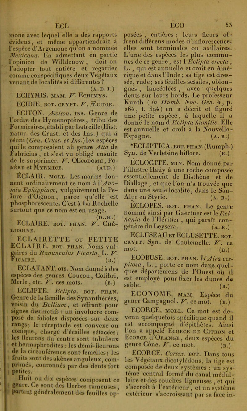 ECL Tnone avec lequel elle a des rapports êvideus, et même appartiendrait à l’espèce d’Argemone quVn a nommée Mexîcana. Eu admettant en partie l’opinion de Willdenow , doit-on l’adopter tout entière et regarder comme conspécifiques deux Végétaux venant de localités si différentes? (a.d. j.) ECHYMIS. MAM. F~. f^CHIMYS. ECIDIE. BOT. CBYPT. y. Æcidie. ECIÏON. Æciton. ins. Genre de l’ordre des Hyménoptères, tribu des Formicaires,établi par Lati’eille(Hist. natur. des Crust. et des Ins.) qui a réuni (^Gen. Crust. et 2«s.)les espèces qui le composaient au genre Atta de labricius , et s’est vu obligé ensuite de le supprimer. F'. OEcodome, Po- NÈRE et Myrm,ice. (aed.) ÉCLAIR. MOEE. Les marins Jon- nent ordinairement ce nom à VAno- mia Ephippium, vulgairement la Pe- lure d’Oignon, parce qu’elle est phosphorescente. C’est à La Rochelle surtout que ce nom est en usage. (D..H.) ECLAIRE. BOT. PH AN. F. Ché- EIDOINE. ' ECLAIRETTE ou PETITE ECLAIRE. BOT. PHAN. Noms vul- faires du Ranunculus Ficaria, L. 'iCAIBE. (b.) ECLATANT, ois. Nom donné à des espèces des genres Coucou , Colibri, Merle, etc. jF. ces mots. (b.) ECLIPTE. Eclipta. bot. piian. Genre de la famille desSynanthérées, voisin du Bellium , et offrant pour signes distinctifs : un involucre com- posé de folioles disposées sur deux rangs; le réceptacle est convexe ou conique, chargé d’écailles sétacées; . les fleurons du centre sont tubuleux ' et herrnaphrodites ; les demi-fleurons • de la circonférence sont femelles; les 1 fruits sont des aliènes anguleux, com- I primés, couronnés par des dents fort I petites. Huit ou dix espèces composent ce ^ genre. Ce sont des Herbes rameuses , |‘ portant généralement des feuilles op- ECO 53 posées , entières ; leurs fleurs of- frent différons modes d’inflorescence; elles sont terminales ou axillaires. L’une des espèces les plus commu- nes de ce genre , est VEclipta erecta , L. , qui est annuelle et croît en Amé- rique et dans l’Inde ; sa tige est dres- sée, rude; ses feuilles sessiles, oblon- gues , lancéolées , avec quelques dents sur leurs bords. Le professeur Kunth ( in Humb. Nov. Gen. 4, p. 204, t. 3g4) en a décrit et figuré une petite espèce, à laquelle il a donné le nom à'Eclipta humilis. Elle est annuelle et croît à la Nouvelle- Espagne. (a. R.) *ECL1PTICA. BOT. PHAN. (Rumph.) Syn. de Verbésine biflore. (b.) ÉCLOGITE. MIN. Nom donné par l’illustre Haüy à une roche composée essentiellement de Dlslhène et de Dlallage , et que l’on n’a trouvée que dans une seule localité, dans le Sau- Alpe en Styrie. (a. r.) ÉCLOPÉS. BOT. PHAN. Le genre nommé ainsi par Gaertner est \eRel- hania de l’Héritier, qui paraît con- génère du Ley sera. (a. R.) ECLÜSEAÜ ET ECLUSETTE. bot. CRYPï. Syn. de Coulemelle. F, ce mot. (b.) ECOBTJSE. BOT. PIIAN. A ira ces- pitüsa, L. , porte ce nom dans, quel- ques départemens de l’Ouest où il est employé pour fixer les dunes de sable. (b.) ECONOME. MAM. Espèce du genre Campagnol. F. ce mot. (b.) ECORCE, MOEE. Ce mot est de- venu quelquefois spécifique quand il est accompagné d’épithètes. Ainsi l’on a appelé Ecorce de Citron et Ecorce d Orange, deux espèces du genre Cône. F. ce mot. (b.) ECORCE. Cortex. BOT. Dans tous les Végétaux dicolylédons, la lige est composée de deux systèmes : un sys- tèine central formé du canal médul- laire et des couches ligneuses , et qui s’accroît à l’extérieur , et un systemo extérieur s’accroissant par sa face in-