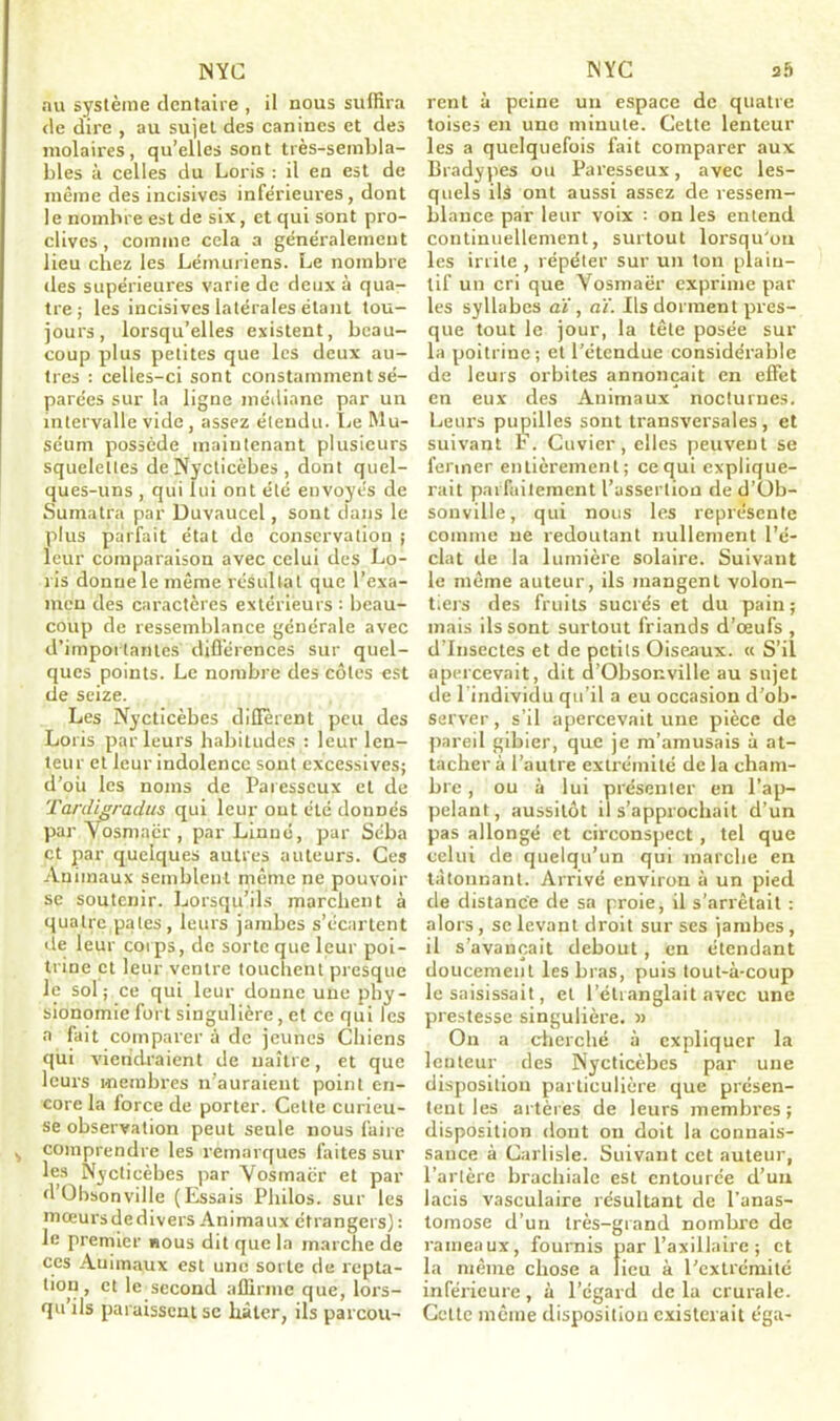 IN YC au système dentaire , il nous suffira de dire , au sujet des canines et des molaires, qu’elles sont très-sembla- bles à celles du Loris : il en est de même des incisives inferieures, dont le nombre est de six, et qui sont pro- clives , comme cela a généralement lieu chez les Lémuriens. Le nombre des supérieures varie de deux à qua- tre; les incisives latérales étant tou- jours, lorsqu’elles existent, beau- coup plus petites que les deux au- tres : celles-ci sont constamment sé- parées sur la ligne médiane par un intervalle vide, assez étendu. Le Mu- séum possède maintenant plusieurs squelettes de Nycticèbes , dont quel- ques-uns , qui lui ont été envoyés de Sumatra par Duvaucel, sont dans le plus parfait état de conservation ; leur comparaison avec celui des Lo- ris donne le même résultat que l’exa- men des caractères extérieurs : beau- coup de ressemblance générale avec d'importantes différences sur quel- ques points. Le nombre des côtes est de seize. Les Nycticèbes diffèrent peu des Loris parleurs habitudes : leur len- teur et leur indolence sont excessives; d’où les noms de Paresseux et de Tardigradus qui leur out été donnés par Vosmacr , par Linné, par Séba et par quelques autres auteurs. Ces Animaux semblent même ne pouvoir se soutenir. Lorsqu’ils marchent à quatre pâtes, leurs jambes s’écartent de leur corps, de sorte que leur poi- trine et leur ventre touchent presque le sol; ce qui leur donne une phy- sionomie fort singulière, et ce qui les a fait comparer à de jeunes Chiens qui viendraient de naître, et que leurs membres n’auraient point en- core la force de porter. Cette curieu- se observation peut seule nous faire comprendre les remarques faites sur les Nycticèbes par Vosmacr et par dObsonville (Essais Philos, sur les moeursdedivers Animaux étrangers) : le premier nous dit que la marche de ces Animaux est une sorte de repta- tion, et le second affirme que, lors- qu ils paraissent se bâter, ils parcou- NYC 2 b rent à peine un espace de quatre toises en une minute. Cette lenteur les a quelquefois fait comparer aux Bradypes ou Paresseux, avec les- quels ils ont aussi assez de ressem- blance par leur voix : on les entend continuellement, surtout lorsqu'on les irrite , répéter sur un ton plain- tif un cri que Vosmaër exprime par les syllabes aï, aï. Ils dorment pres- que tout le jour, la tête posée sur la poitrine; et l’étendue considérable de leurs orbites annonçait en effet en eux des Animaux nocturnes. Leurs pupilles sont transversales, et suivant I. Cuvier, elles peuvent se fermer entièrement; ce qui explique- rait parfaitement l’assertion de d’Ob- sonville, qui nous les représente comme ne redoutant nullement l’é- clat de la lumière solaire. Suivant le même auteur, ils mangent volon- tiers des fruits sucrés et du pain; mais ils sont surtout friands d’œufs , d’insectes et de petits Oiseaux. « S’il apercevait, dit d’Obsonville au sujet de 1 individu qu’il a eu occasion d’ob- server , s’il apercevait une pièce de pareil gibier, que je m’amusais à at- tacher à l’autre extrémité de la cham- bre , ou à lui présenter en l’ap- pelant, aussitôt il s’approchait d’un pas allongé et circonspect, tel que celui de quelqu’un qui marche en tâtonnant. Arrivé environ à un pied de distance de sa proie, il s’arrêtait : alors, se levant droit sur ses jambes, il s’avançait debout, en étendant doucement les bras, puis tout-à-coup le saisissait, et l’étranglait avec une prestesse singulière. » On a cherché à expliquer la lenteur des Nycticèbes par une disposition particulière que présen- tent les artères de leurs membres; disposition dont on doit la connais- sance à Carliste. Suivant cet auteur, l’artère brachiale est entourée d’un lacis vasculaire résultant de l’anas- tomose d’un très-grand nombre de rameaux, fournis par l’axillaire ; et la même chose a lieu à l'extrémité inférieure, à l’égard de la crurale. Celle même disposition existerait éga-