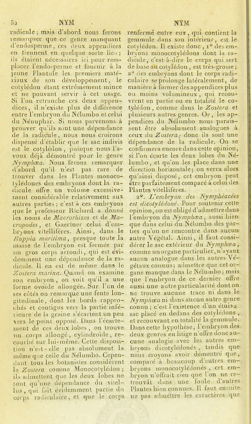 Ô2 NYM radicule ; mais d’abord nous ferons remarquer que ce genre manquant d’endosperme, ces deux appenilices en (tiennent en quelque sorte lieu ; ils étaient necessaires ici pour rem- placer i’endosperme et fournir à la jeune Plantule les premiers maté- riaux de son développement, le cotylédon étant extrêmement mince et ne pouvant servir à cet usage. Si l’on retranche ces deux appen- dices, il n’existe plus de différence entre l’embryon du Nélumbo et celui du Nénuphar. Si nous parvenons à prouver qu’ils sont une dépendance de la radicule, nous nous croirons dispensé d’établir que le sac indivis est le cotylédon , puisque nous l’a- vons déjà démontré pour le genre Nymphœa. Nous ferons remarquer d’abord qu’il n’est pas rare de trouver dans les Plantes monoco- lylédones des embryons dont la ra- dicule ofFre un volume excessive- ment considérable relativement aux autres parties ; c’est à ces embryons que le professeur Richard a donné les noms de Macrorhizes et de Ma- cropodes, et Gaertner celui d’ein- bryons vitellifères. Ainsi , dans le Ruppia maritima, presque toute la masse de l'embryon est formée par un gros corps arrondi, qui est évi- demment une dépendance de la ra- dicule. Il en est de même dans le Zus/era marina. Quand on examine son embryon , on voit qu'il a une forme ovoïde allongée. Sur l’un de ses côtés on remarque une fente lon- gitudinale, dont les bords rappro- chés et contigus vers la partie infé- rieure de la graine s’écartent un peu vers le point opposé. Dans l’écarte- ment de ces deux lobes , ou trouve un corps allongé, cylindroïde, re- courbé sur lui-même. Celte disposi- tion n’est-elle pas absolument la même que celle clu Nélumbo. Cepen- dant tous les botanistes considèrent le Zoslera comme Monocotylédon ; ils admettent que les deux lobes ne sont qu’une dépendance du vitel— lus, qui fait évidemment partie du corps radiculaire, et que le corps NYM renfermé entre eux , qui contient la gemmule dans son intérieur, est le cotylédon. Il existe donc , i° des em- bryons monocotylédons dont la ra- dicule, c’est-à-dire le corps qui sert de base au cotylédon , est très-grosse ; des embryons dont le corps radi- culaire se prolonge latéralement, de manière à former des appendices plus ou moins volumineux , qui recou- vrent en partie ou en totalité le co- tylédon , comme dans le Zostera et plusieurs autres genres. Or, les ap- pendices du Nélumbo nous parais- sent être absolument analogues à ceux du Zostera; donc ils sont une dépendance de la radicule. On se confirmera encore dans ceLte opinion, si l’on écarte les deux lobes du Né- lumbo , et qu’on les place dans une direction horizontale; on verra alors cju’ainsi disposé, cet embryon peut être parfaitement comparé à celui des Plantes vitellifères. 2°. & embryon des Nymphéacées est dicolylédonè. Pour soutenir cette opinion, on est obligé d’admetlredans l’embryon du Nymphœa , aussi bien que dans celui du Nélumbo des par- ties qu’on ne rencontre dans aucun autre Végétal. Ainsi, il faut consi- dérer le sac extérieur du Nymphœa, comme unorgaueparticulier,n’ayant aucun analogue dans les autres Vé- gétaux connus; admettre que cet or- gane manque dans le Nélumbo; mais que l’embryon de ce dernier offre aussi une autre particularité dont on ne trouve aucune trace ni dans le Nymphœa ni dans aucun autre genre connu ; c’est l’existence d un étuio* sac placé en dedans des cotylédons , et recouvrant en totalité la gemmule. Dans celte hypothèse, l’embryon des deux genres en litige n’offre donc au- cune analogie avec les autres em- bryons dicotylédonés , tandis que nous croyons avoir démontré que, comparé à beaucoup d’autres em- bryons monocotylédonés , cet em- bryon n’offrait rien que 1 on ne re- trouvât dans une foule d’autres Plantes bien connues. Il faut ensuite ne pas admettre les caractères que